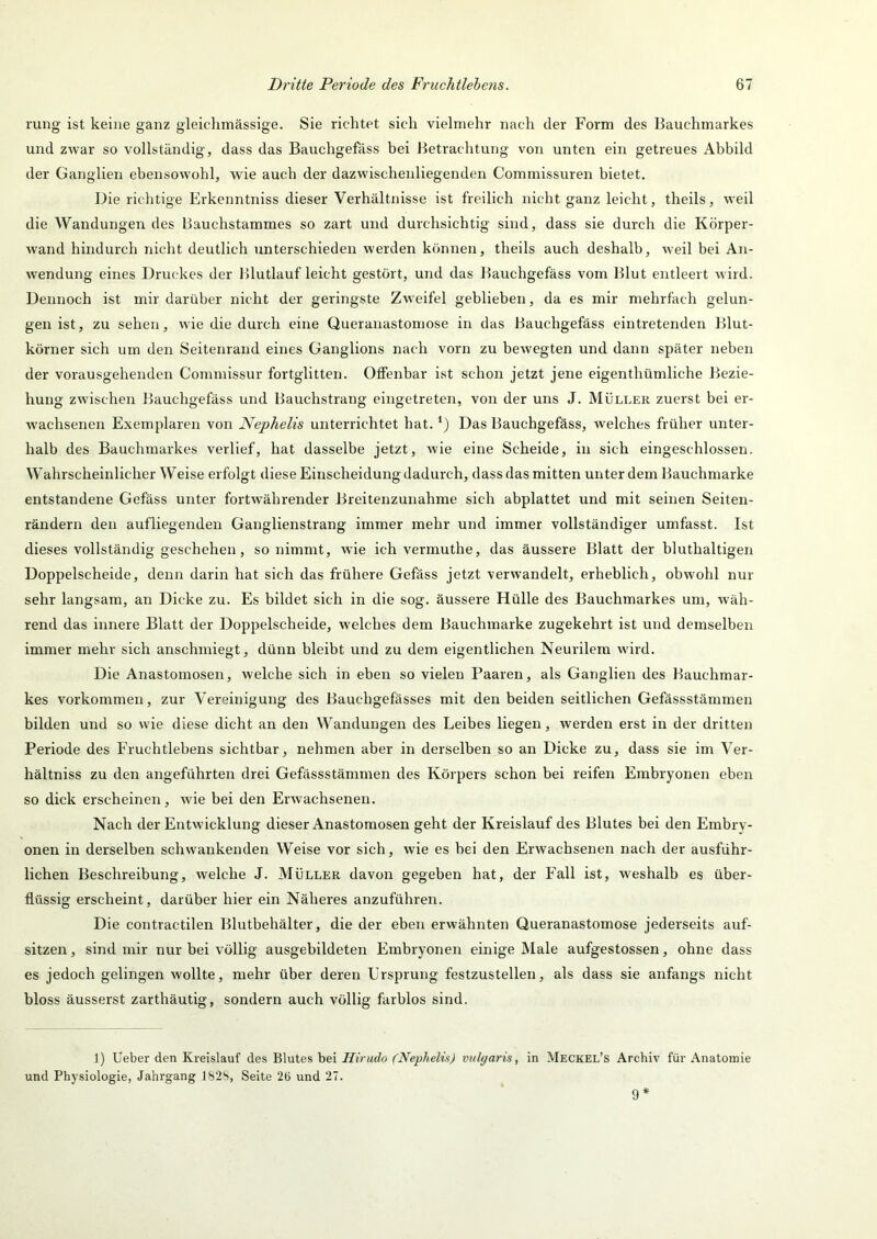 rung ist keine ganz gleiclnnässige. Sie richtet sich vielmehr nach der Form des Bauchmarkes und zwar so vollständig, dass das Bauchgefäss bei Betrachtung von unten ein getreues Abbild der Ganglien ebensowohl, wie auch der dazwischenliegenden Commissuren bietet. L)ie richtige Erkenntniss dieser Verhältnisse ist freilich nicht ganz leicht, theils, weil die Wandungen des Bauchstammes so zart und durchsichtig sind, dass sie durch die Körper- wand hindurch nicht deutlich unterschieden werden können, theils auch deshalb, weil bei An- wendung eines Druckes der Blutlauf leicht gestört, und das Bauchgefäss vom Blut entleert wird. Dennoch ist mir darüber nicht der geringste Zweifel geblieben, da es mir mehrfach gelun- gen ist, zu sehen, wie die durch eine Queranastomose in das Bauchgefäss eintretenden Blut- körner sich um den Seitenrand eines Ganglions nach vorn zu bewegten und dann später neben der vorausgehenden Commissur fortglitten. Offenbar ist schon jetzt jene eigenthümliche Bezie- hung zwischen Bauchgefäss und Bauchstrang eingetreten, von der uns J. Müllek zuerst bei er- wachsenen Exemplaren von Nephelis unterrichtet hat. Das Bauchgefäss, welches früher unter- halb des Bauchmarkes verlief, hat dasselbe jetzt, wie eine Scheide, in sich eingeschlossen. Wahrscheinlicher Weise erfolgt diese Einscheidung dadurch, dass das mitten unter dem Bauchmarke entstandene Gefäss unter fortwährender Breitenzuiiahme sich abplattet und mit seinen Seiten- rändern den aufliegenden Ganglienstrang immer mehr und immer vollständiger umfasst. Ist dieses vollständig geschehen, so nimmt, wie ich vermuthe, das äussere Blatt der bluthaltigen Doppelscheide, denn darin hat sich das frühere Gefäss jetzt verwandelt, erheblich, obwohl nur sehr langsam, an Dicke zu. Es bildet sich in die sog. äussere Hülle des Bauchmarkes um, wäh- rend das innere Blatt der Doppelscheide, w'elches dem Bauchmarke zugekehrt ist und demselben immer mehr sich anschmiegt, dünn bleibt und zu dem eigentlichen Neurilem wird. Die Anastomosen, welche sich in eben so vielen Paaren, als Ganglien des Bauchmar- kes Vorkommen, zur Vereinigung des Baucbgefässes mit den beiden seitlichen Gefässstämmen bilden und so wie diese dicht an den Wandungen des Leibes liegen, werden erst in der dritten Periode des Fruchtlebens sichtbar, nehmen aber in derselben so an Dicke zu, dass sie im Ver- hältniss zu den angeführten drei Gefässstämmen des Körpers schon bei reifen Embryonen eben so dick erscheinen, wie bei den Erwachsenen. Nach der Entwicklung dieser Anastomosen geht der Kreislauf des Blutes bei den Embry- onen in derselben schwankenden Weise vor sich, wie es bei den Erwachsenen nach der ausführ- lichen Beschreibung, welche J. Müller davon gegeben hat, der Fall ist, weshalb es über- flüssig erscheint, darüber hier ein Näheres anzuführen. Die contractilen Blutbehälter, die der eben erwähnten Queranastomose jederseits auf- sitzen, sind mir nur bei völlig ausgebildeten Embryonen einige Male aufgestossen, ohne dass es jedoch gelingen wollte, mehr über deren Ursprung festzustellen, als dass sie anfangs nicht bloss äusserst zarthäutig, sondern auch völlig farblos sind. 1) lieber den Kreislauf des Blutes bei Ilirudo (Nephelis) vulgaris, in Meckel’s Archiv für Anatomie und Physiologie, Jahrgang 182S, Seite 26 und 27. 9