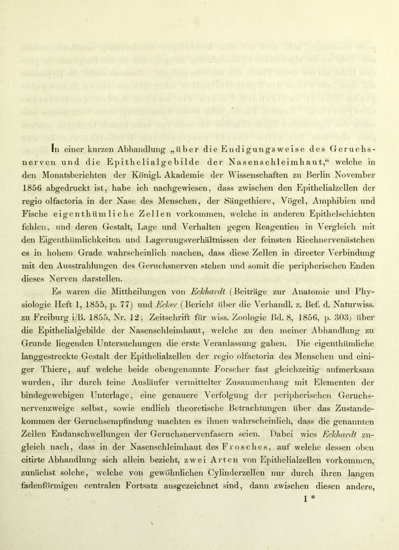 t In einer kurzen Abhandlung „über die Endigungsweise des Geruchs- nerven und die Epithelialgebilde der Nasenschleimhaut,“ welche in den Monatsberichten der Königl. Akademie der Wissenschaften zu Berlin November 1856 abgedruckt ist, habe ich nachgewiesen, dass zwischen den Epithelialzellen der regio olfactoria in der Nase des Menschen, der Säugethiere, Vögel, Amphibien und Fische eigenthüm li che Zellen Vorkommen, welche in anderen Epithelschichten fehlen, und deren Gestalt, Lage und Verhalten gegen Beagentien in Vergleich mit den Eigenthümlichkeiten und Lagerungsverhältnissen der feinsten Riechnervenästchen es in hohem Grade wahrscheinlich machen, dass diese Zellen in directer Verbindung mit den Ausstrahlungen des Geruchsnerven stehen und somit die peripherischen Enden dieses Nerven darstellen. Es waren die Mittheilungen von Eckhardt {Beiträge zur Anatomie und Phy- siologie Heft 1, 1855, p. 77) und Ecker (Bericht über die Verhandl. z. Bef. d. Natunviss. zu Freiburg i/B. 1855, Nr. 12; Zeitschrift für wiss. Zoologie Bel. 8, 1856, p. 303; über die Epithelialgebilde der Nasenschleimhaut, welche zu den meiner Abhandlung zu Grunde liegenden Untersuchungen die erste Veranlassung gaben. Die eigenthümliche langgestreckte Gestalt der Epithelialzellen der regio olfactoria des Menschen und eini- ger Thiere, auf welche beide obengenannte Forscher fast gleichzeitig aufmerksam wurden, ihr durch feine Ausläufer vermittelter Zusammenhang mit Elementen der bindegewebigen Unterlage, eine genauere Verfolgung der peripherischen Geruchs- nervenzweige selbst, sowie endlich theoretische Betrachtungen über das Zustande- kommen der Geruchsempfmdung machten es ihnen wahrscheinlich, dass die genannten Zeilen Endanschwellungen der Geruchsnervenfasern seien. Dabei wies Eckhardt zu- gleich nach, dass in der Nasenschleimhaut des Frosches, auf welche dessen oben citirte Abhandlung sich allein bezieht, zwei Arten von Epithelialzellen Vorkommen, zunächst solche, welche von gewöhnlichen Cylinderzellen nur durch ihren langen fadenförmigen centralen Fortsatz ausgezeichnet sind, dann zwischen diesen andere,