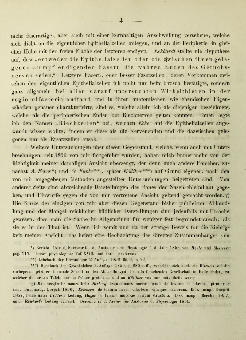 mehr faserartige, aber auch mit einer kernhaltigen Anschwellung versehene, welche sich dicht an die eigentlichen Epithelialzellen anlegen, und an der Peripherie in glei- cher Höhe mit der freien Fläche der letzteren endigen. Eckhardt stellte die Hypothese auf, dass „entweder die Epithelialzellen oder die ziwischen ihnen gele- genen stumpf endigenden Fasern die wahr ein Enden des Geruchs- nerven seien.“ Letztere Fasern, oder besser Faserzellen, deren Vorkommen zwi- schen den eigentlichen Epithelialzellen ich nicht nur beim Frosch bestätigte, sondern ganz allgemein bei allen darauf untersuchten Wir bei thieren in der regio olfactoria auf fand und in ihren anatomischen wie chemischen Eigen- schaften genauer charakterisirte, sind es, welche allein ich als diejenigen bezeichnete, welche als die peripherischen Enden der Riechnerven gelten könnten. Ihnen legte ich den Namen „Riechzellen“ bei, welchen Ecker auf die Epithelialzellen ange- wandt wissen wollte, indem er diese als die Nervenenden und die dazwischen gele- genen nur als Ersatzzellen ansah. Weitere Untersuchungen über diesen Gegenstand, welche, wenn auch mit Unter- brechungen, seit 1856 von mir fortgeführt wurden, haben mich immer mehr von der Richtigkeit meiner damaligen Ansicht überzeugt, der denn auch andere Forscher, zu- nächst A. Ecker*) und 0. Funke**), später Kölliker***) auf Grund eigener, nach den von mir angegebenen Methoden angestellter Untersuchungen beigetreten sind. Von anderer Seite sind abweichende Darstellungen des Baues der Nasenschleimhaut gege- ben, und Einwürfe gegen die von mir vertretene Ansicht geltend gemacht worden, f) Die Kürze der einzigen von mir über diesen Gegenstand bisher publicirten Abhand- lung und der Mangel reichlicher bildlicher Darstellungen sind jedenfalls mit Ursache gewesen, dass man die Sache im Allgemeinen für weniger fest begründet ansah, als sie es in der That ist. Wenn ich somit und da der strenge Beweis für die Richtig- keit meiner Ansicht, das heisst eine Beobachtung des directen Zusammenhanges von *) Bericht über il. Fortschritte d. Anatomie und Physiologie l‘. d. Jalir 1856 von Heule und Meissner pag. 117. Icones physiologicae Taf. XVIII. und deren Erklärung. **) Lehrbuch der Physiologie 2. Auflage 1858 Bd. II. p. 72. ***) Handbuch der Gewebelehre 3. Auflage 1859. p. 680 u. 11., woselbst sich auch ein Hinweis auf die vorliegende jetzt erscheinende Schrift in den Abhandlungen der naturforschenden Gesellschaft in Halle findet, zu welcher die ersten Tafeln bereits früher gestochen und an Kölliker von mir mitgetheilt waren. t) Man vergleiche namentlich: Seeberg disquisitiones microseopicae de textura membranae pituitariae nasi. Diss. inaug. Dorpati 1856, Erichsen de textura nervi olfaetorii ejusque ramorum. Biss, inaug. Dorpati 1857, beide unter liiclder’s Leitung, Hoger de tunicae mucosae narium slructura. Biss, inaug. Berolini 1857, unter Reicherl’s Leitung verfasst. Berselbe in d. Archiv für Anatomie u. Physiologie 1860.