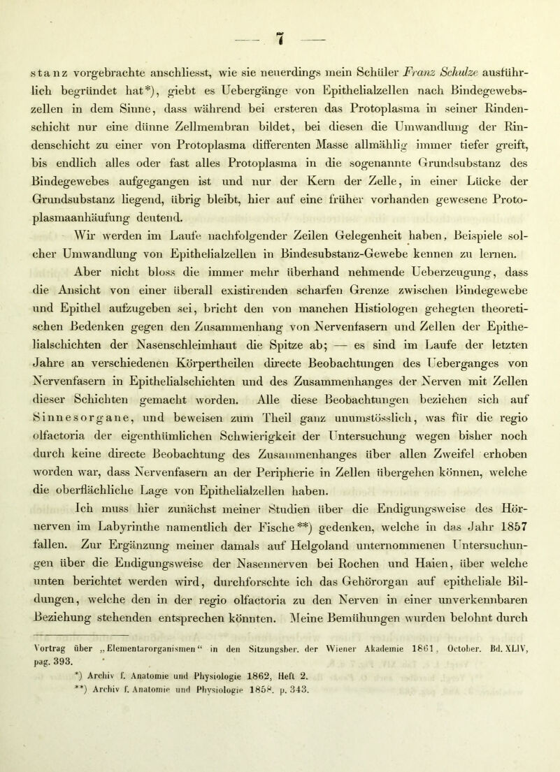 stanz vorgebrachte anschliesst, wie sie neuerdings mein Schüler Franz Schulze ausführ- lich begründet hat* *), giebt es Uebergänge von Epithelialzellen nach Bindegewebs- zellen in dem Sinne, dass während bei ersteren das Protoplasma in seiner Rinden- schicht nur eine dünne Zellmembran bildet, bei diesen die Umwandlung der Rin- denschicht zu einer von Protoplasma differenten Masse allmählig immer tiefer greift, bis endlich alles oder fast alles Protoplasma in die sogenannte Grundsubstanz des Bindegewebes aufgegangen ist und nur der Kern der Zelle, in einer Lücke der Grundsubstanz liegend, übrig bleibt, hier auf eine früher vorhanden gewesene Proto- plasmaanhäufung deutend. Wh' werden im Laufe nachfolgender Zeilen Gelegenheit haben, Beispiele sol- cher Umwandlung von Epithelialzellen in Bindesubstanz-Gewebe kennen zu lemen. Aber nicht bloss die immer mehr überhand nehmende Ueberzeugung, dass die Ansicht von einer überall existirenden scharfen Grenze zwischen Bindegewebe und Epithel aufzugeben sei, bricht den von manchen Histiologen gehegten theoreti- schen Bedenken gegen den Zusammenhang von Nervenfasern und Zellen der Epithe- lialschichten der Nasenschleimhaut die Spitze ab; —- es sind im Laufe der letzten Jahre an verschiedenen Körpertheilen directe Beobachtungen des Ueberganges von Nervenfasern in Epithelialschichten und des Zusammenhanges der Nerven mit Zellen dieser Schichten gemacht worden. Alle diese Beobachtungen beziehen sich auf Sinnesorgane, und beweisen zum Tlieil ganz unumstösslieh, was für die regio olfactoria der eigenthiimlichen Schwierigkeit der Untersuchung wegen bisher noch durch keine directe Beobachtung des Zusammenhanges über allen Zweifel erhoben worden war, dass Nervenfasern an der Peripherie in Zellen übergehen können, welche die oberflächliche Lage von Epithelialzellen haben. Ich muss hier zunächst meiner Studien über die Endigungsweise des Hör- nerven im Labyrinthe namentlich der Fische**) gedenken, welche in das Jahr 1857 fallen. Zur Ergänzung meiner damals auf Helgoland unternommenen Untersuchun- gen über die Endigungsweise der Nasennerven bei Rochen und Haien, über welche unten berichtet werden wird, durchforschte ich das Gehörorgan auf epitheliale Bil- dungen, welche den in der regio olfactoria zu den Nerven in einer unverkennbaren Beziehung stehenden entsprechen könnten. Meine Bemühungen wurden belohnt durch Vortrag über „ Elementarorganisnien “ in den Sitzungsber. der Wiener Akademie 1861. October. Bd. XLIV, pag. 393. *) Archiv f. Anatomie und Physiologie 1862, Heft 2.