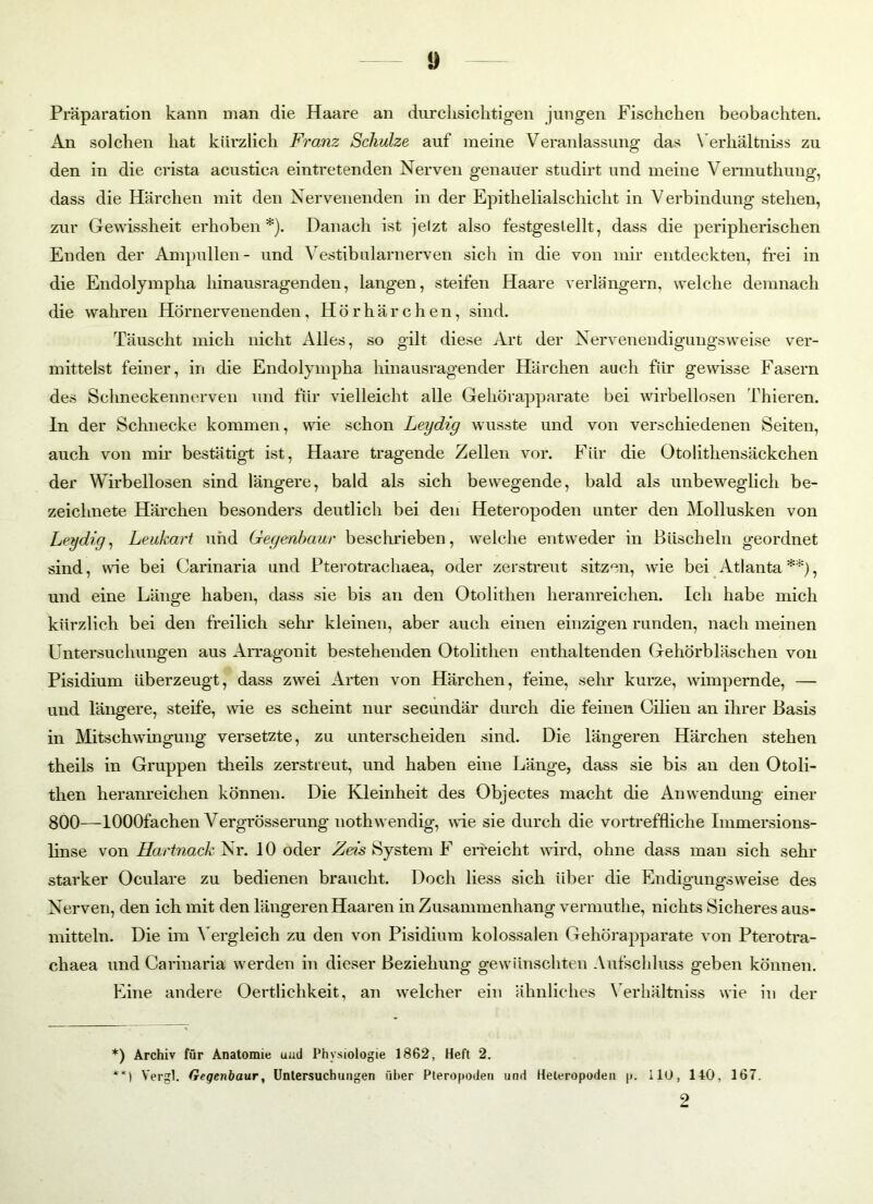 i) Präparation kann man die Haare an durchsichtigen jungen Fischchen beobachten. An solchen hat kürzlich Franz Schulze auf meine Veranlassung das Verhältnis zu den in die crista acustica eintretenden Nerven genauer studirt und meine Vermuthung, dass die Härchen mit den Nervenenden in der Epithelialschicht in Verbindung stehen, zur Gewissheit erhoben*). Danach ist jelzt also festgeslellt, dass die peripherischen Enden der Ampullen- und Vestibularnerven sich in die von mir entdeckten, frei in die Endolympha hinausragenden, langen, steifen Haare verlängern, welche demnach die wahren Hörnervenenden, H ö r h ä r c h e n, sind. Täuscht mich nicht Alles, so gilt diese Art der Nervenendigungsweise ver- mittelst feiner, in die Endolympha hinausragender Härchen auch für gewisse Fasern des Schneckennerven und für vielleicht alle Gehörapparate bei wirbellosen Thieren. In der Schnecke kommen, wie schon Leydig wusste und von verschiedenen Seiten, auch von mir bestätigt ist, Haare tragende Zellen vor. Für die Otolithensäckchen der Wirbellosen sind längere, bald als sich bewegende, bald als unbeweglich be- zeichnete Härchen besonders deutlich bei den Heteropoden unter den Mollusken von Leydig, Leulcart und Gegenhaur beschrieben, welche entweder in Büscheln geordnet sind, wie bei Carinaria und Pterotrachaea, oder zerstreut sitzen, wie bei Atlanta**), und eine Länge haben, dass sie bis an den Otolithen heranreichen. Ich habe mich kürzlich bei den freilich sehr kleinen, aber auch einen einzigen runden, nach meinen Untersuchungen aus Arragonit bestehenden Otolithen enthaltenden Gehörbläschen von Pisidium überzeugt, dass zwei Arten von Härchen, feine, sehr kurze, wimpernde, — und längere, steife, wie es scheint nur secundär durch die feinen Oilien an ihrer Basis in Mitschwingung versetzte, zu unterscheiden sind. Die längeren Härchen stehen theils in Gruppen theils zerstreut, und haben eine Länge, dass sie bis an den Otoli- then heranreichen können. Die Kleinheit des Objectes macht die Anwendung einer 800—lOOOfachen Vergrösserung nothwendig, wie sie durch die vortreffliche Immersions- linse von Hartnack Nr. 10 oder Zeis System F erreicht wird, ohne dass man sich sehr starker Oculare zu bedienen braucht. Doch Hess sich über die Endigungsweise des Nerven, den ich mit den längeren Haaren in Zusammenhang vermuthe, nichts Sicheres aus- mitteln. Die im Vergleich zu den von Pisidium kolossalen Gehörapparate von Pterotra- chaea und Carinaria werden in dieser Beziehung gewünschten Aufschluss geben können. Eine andere Oertlichkeit, an welcher ein ähnliches Verhältniss wie in der *) Archiv für Anatomie uud Physiologie 1862, Heft 2. **) Vergl. Gegenbaur, Untersuchungen über Pteropoden und Heteropoden p. 110, 140, 167. 2