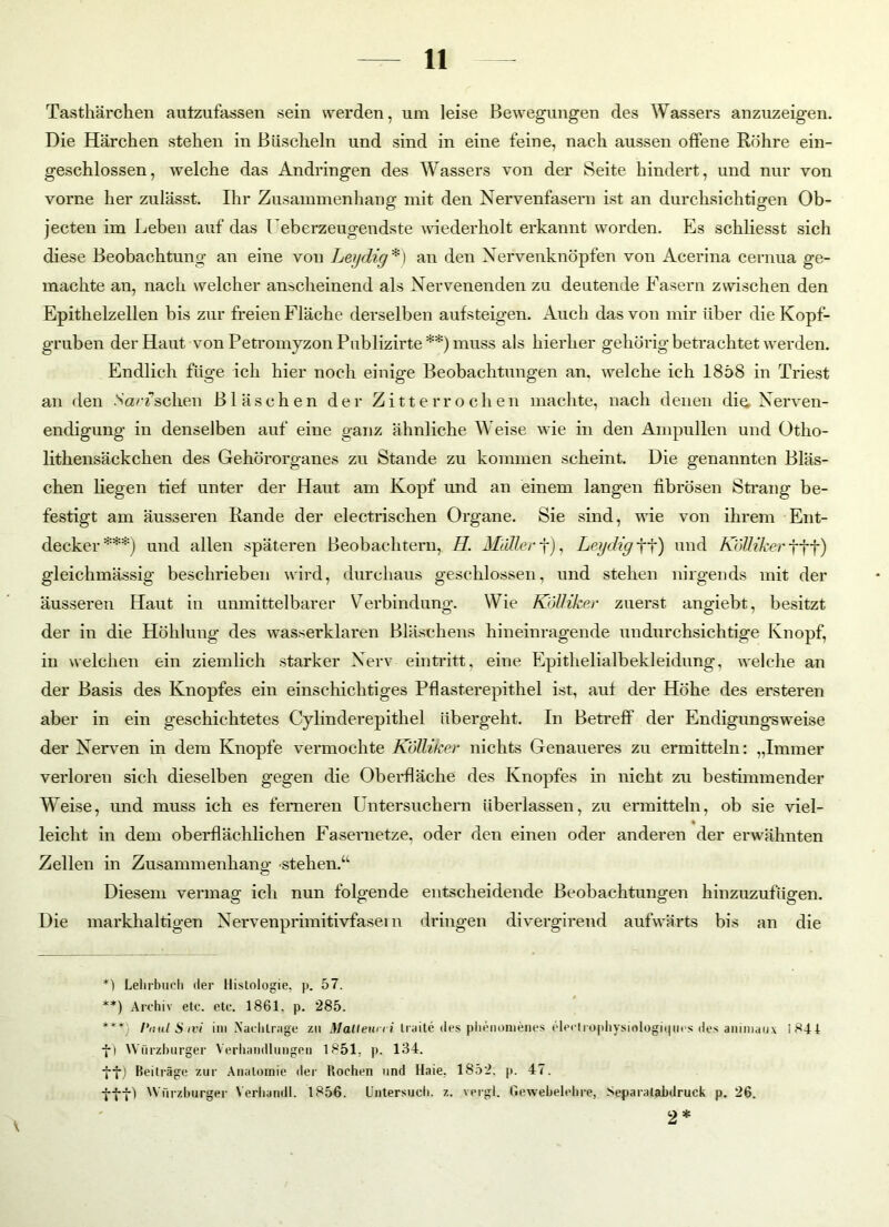 Tasthärchen antzufassen sein werden, um leise Bewegungen des Wassers anzuzeigen. Die Härchen stehen in Büscheln und sind in eine feine, nach aussen offene Röhre ein- geschlossen, welche das An dringen des Wassers von der Seite hindert, und nur von vorne her zulässt. Ihr Zusammenhang mit den Nervenfasern ist an durchsichtigen Ob- jecten im Leben auf das Ueberzeugendste wiederholt erkannt worden. Es schliesst sich diese Beobachtung an eine von Leydig *) an den Nervenknöpfen von Acerina cernua ge- machte an, nach welcher anscheinend als Nervenenden zu deutende Fasern zwischen den Epithelzellen bis zur freien Fläche derselben aufsteigen. Auch das von mir über die Kopf- gruben der Haut von Petromyzon Publizirte **) muss als hierher gehörig betrachtet werden. Endlich füge ich hier noch einige Beobachtungen an. welche ich 1858 in Triest an den Na/Tschen Bläschen der Zitterrochen machte, nach denen die. Nerven- endigung in denselben auf eine ganz ähnliche Weise wie in den Ampullen und Otho- lithensäckchen des Gehörorganes zu Stande zu kommen scheint. Die genannten Bläs- chen liegen tief unter der Haut am Kopf und an einem langen fibrösen Strang be- festigt am äusseren Rande der electrischen Organe. Sie sind, wie von ihrem Ent- decker***) und allen späteren Beobachtern, H. Müller f), Leydig ft) und Kolliker t+f) gleichmässig beschrieben wird, durchaus geschlossen, und stehen nirgends mit der äusseren Haut in unmittelbarer Verbindung. Wie Kolliker zuerst angiebt, besitzt der in die Höhlung des wasserklaren Bläschens hineinragende undurchsichtige Knopf, in welchen ein ziemlich starker Nerv eintritt, eine Epithelialbekleidung, welche an der Basis des Knopfes ein einschichtiges Pflasterepithel ist, auf der Höhe des ersteren aber in ein geschichtetes Cylinderepithel übergeht. In Betreff der Endigungsweise der Nerven in dem Knopfe vermochte Kolliker nichts Genaueres zu ermitteln: „Immer verloren sich dieselben gegen die Oberfläche des Knopfes in nicht zu bestimmender Weise, und muss ich es ferneren Untersuchern übeidassen, zu ermitteln, ob sie viel- leicht in dem oberflächlichen Fasernetze, oder den einen oder anderen der erwähnten Zellen in Zusammenhang stehen.“ Diesem vermag ich nun folgende entscheidende Beobachtungen hinzuzufugen. Die markhaltigen Nervenprimitivfasern dringen divergirend aufwärts bis an die *1 Lehrbuch der Histologie, p. 57. **) Archiv etc. etc. 1861. p. 285. ***; Paul S )vi im .Nachträge zu Maileun i traite des phenometies elerlrophysiftlogii|iirs des animaux 1841 •j-) Würzburger Verhandlungen 1851, p. 134. -j-j) Beiträge zur Anatomie der Höchen und Haie, 1852. p. 47. ttD Würzburger Verhandl. 1856. Untersuch, z. vergl. Gewebelehre, Separatabdruck p. 26.