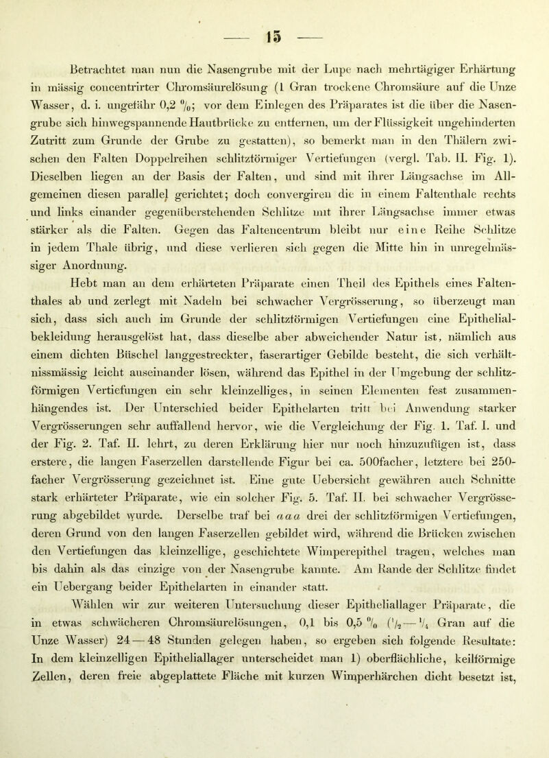 Betrachtet man nun die Nasengrube mit der Lupe nach mehrtägiger Erhärtung in mässig concentrirter Ohromsäurelösung (1 Gran trockene Chromsäure auf die Unze Wasser, d. i. ungelähr 0,2 °/0; vor dem Einlegen des Präparates ist die über die Nasen- grube sich hinwegspannende Hautbrücke zu entfernen, um der Flüssigkeit ungehinderten Zutritt zum Grunde der Grube zu gestatten), so bemerkt man in den Thälern zwi- schen den Falten Doppelreihen schlitzförmiger Vertiefungen (vergl. Tab. 11. Fig. 1). Dieselben liegen an der Basis der Falten, und sind mit ihrer Längsachse im All- gemeinen diesen parallel gerichtet; doch convergiren die in einem Faltenthale rechts und links einander gegenüberstehenden Schlitze mit ihrer Längsachse immer etwas stärker als die Falten. Gegen das Faltencentrum bleibt nur eine Reihe Schlitze in jedem Thale übrig, und diese verlieren sich gegen die Mitte hin in unregelmäs- siger Anordnung. Hebt man an dem erhärteten Präparate einen Theil des Epithels eines Falten- thales ab und zerlegt mit Nadeln bei schwacher Vergrösserung, so überzeugt man sich, dass sich auch im Grunde der schlitzförmigen Vertiefungen eine Epithelial- bekleidung herausgelöst hat, dass dieselbe aber abweichender Natur ist, nämlich aus einem dichten Büschel langgestreckter, faserartiger Gebilde besteht, die sich verhält- nissmässig leicht auseinander lösen, während das Epithel in der Umgebung der schlitz- förmigen Vertiefungen ein sehr kleinzelliges, in seinen Elementen fest zusammen- hängendes ist. Der Unterschied beider Epithelarten tritt hei Anwendung starker Vergrösserungen sehr auffallend hervor, wie die Vergleichung der Fig. 1. Taf. I. und der Fig. 2. Taf. H. lehrt, zu deren Erklärung hier nur noch hinzuzufügen ist, dass erstere, die langen Faserzellen darstellende Figur bei ca. 500facher, letztere bei 250- facher Vergrösserung gezeichnet ist. Eine gute Uebersicht gewähren auch Schnitte stark erhärteter Präparate, wie ein solcher Fig. 5. Taf. II. bei schwacher Vergrösse- rung abgebildet wurde. Derselbe traf bei aaa drei der schlitzförmigen V ertiefungen, deren Grund von den langen Faserzellen gebildet wird, während die Brücken zwischen den Vertiefungen das kleinzellige, geschichtete Wimperepithel tragen, welches man bis dahin als das einzige von der Nasengrube kannte. Am Rande der Schlitze findet ein Uebergang beider Epithelarten in einander statt. Wählen wir zur weiteren Untersuchung dieser EpitheliaHager Präparate, die in etwas schwächeren Chromsäurelösungen, 0,1 bis 0,5 /„ ('/2—V4 Gran auf die Unze Wasser) 24 — 48 Stunden gelegen haben, so ergeben sich folgende Resultate: In dem kleinzelligen Epitheliallager unterscheidet man 1) oberflächliche, keilförmige Zellen, deren freie abgeplattete Fläche mit kurzen Wimperhärchen dicht besetzt ist,