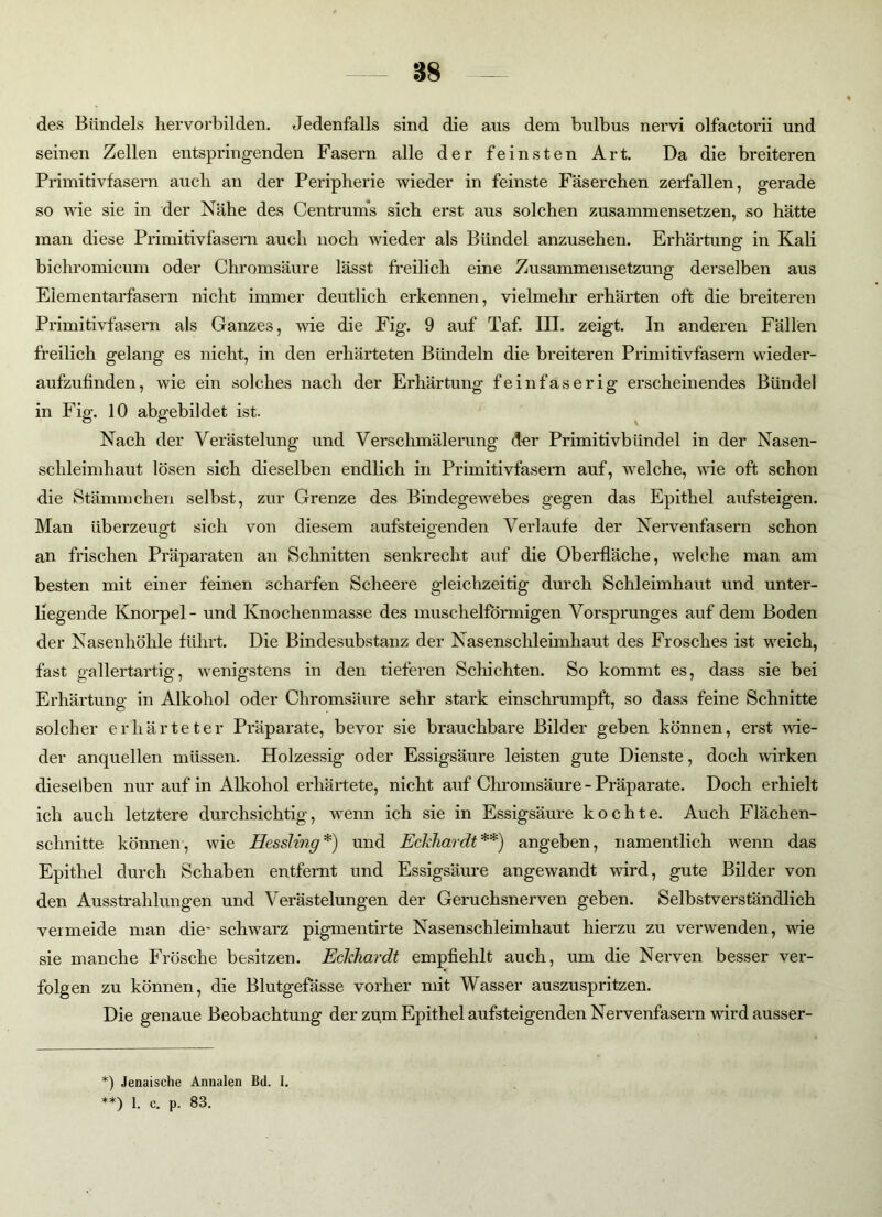 des Bündels her vorbilden. Jedenfalls sind die aus dem bulbus nervi olfactorii und seinen Zellen entspringenden Fasern alle der feinsten Art. Da die breiteren Primitivfasern auch an der Peripherie wieder in feinste Fäserchen zerfallen, gerade so wie sie in der Nähe des Centrums sich erst aus solchen zusammensetzen, so hätte man diese Primitivfasern auch noch wieder als Bündel anzusehen. Erhärtung in Kali bichromicum oder Chromsäure lässt freilich eine Zusammensetzung derselben aus Elementarfasern nicht immer deutlich erkennen, vielmehr erhärten oft die breiteren Primitivfasern als Ganzes, wie die Fig. 9 auf Taf. III. zeigt. In anderen Fällen freilich gelang es nicht, in den erhärteten Bündeln die breiteren Primitivfasern wieder- aufzufinden, wie ein solches nach der Erhärtung feinfaserig erscheinendes Bündel in Fig. 10 abgebildet ist. Nach der Verästelung und Verschmälerung der Primitivbündel in der Nasen- schleimhaut lösen sich dieselben endlich in Primitivfasern auf, welche, wie oft schon die Stämmchen selbst, zur Grenze des Bindegewebes gegen das Epithel aufsteigen. Man überzeugt sich von diesem aufsteigenden Verlaufe der Nervenfasern schon an frischen Präparaten an Schnitten senkrecht auf die Oberfläche, welche man am besten mit einer feinen scharfen Scheere gleichzeitig durch Schleimhaut und unter- liegende Knorpel - und Knochenmasse des muschelförmigen Vorsprunges auf dem Boden der Nasenhöhle führt. Die Bindesubstanz der Nasenschleimhaut des Frosches ist weich, fast gallertartig, wenigstens in den tieferen Schichten. So kommt es, dass sie bei Erhärtung in Alkohol oder Chromsäure sehr stark einschrumpft, so dass feine Schnitte solcher erhärteter Präparate, bevor sie brauchbare Bilder geben können, erst wie- der anquellen müssen. Holzessig oder Essigsäure leisten gute Dienste, doch wirken dieselben nur auf in Alkohol erhärtete, nicht auf Chromsäure - Präparate. Doch erhielt ich auch letztere durchsichtig, wenn ich sie in Essigsäure kochte. Auch Flächen- schnitte können, wie Hessling*) und Eckhardt**) angeben, namentlich wenn das Epithel durch Schaben entfernt und Essigsäure angewandt wird, gute Bilder von den Ausstrahlungen und Verästelungen der Geruchsnerven geben. Selbstverständlich vermeide man die- schwarz pigmentirte Nasenschleimhaut hierzu zu verwenden, wie sie manche Frösche besitzen. Eckhardt empfiehlt auch, um die Nerven besser ver- folgen zu können, die Blutgefässe vorher mit Wasser auszuspritzen. Die genaue Beobachtung der zum Epithel aufsteigenden Nervenfasern wird ausser- *) Jenaische Annalen Bd. I. **) 1. c. p. 83.