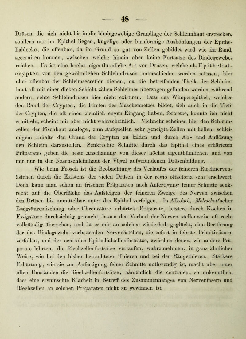 Drüsen, die sich nicht bis in die bindegewebige Grundlage der Schleimhaut erstrecken, sondern nur im Epithel liegen, kugelige oder bimförmige Aushöhlungen der Epithe- lialdecke, die offenbar, da ihr Grund so gut von Zellen gebildet wird wie ihr Rand, secerniren können, zwischen welche hinein aber keine Fortsätze des Bindegewebes reichen. Es ist eine höchst eigenthümliche Art von Drüsen, welche als Epitlielial- crypten von den gewöhnlichen Schleimdrüsen unterschieden werden müssen, hier aber offenbar der Schleimsecretion dienen, da die betreffenden Theile der Schleim- haut oft mit einer dicken Schicht zähen Schleimes überzogen gefunden werden, während andere, echte Schleimdrüsen hier nicht existiren. Dass das Wimperepithel, welches den Rand der Crypten, die Firsten des Maschennetzes bildet, sich auch in die Tiefe der Crypten, die oft einen ziemlich engen Eingang haben, fortsetze, konnte ich nicht ermitteln, scheint mir aber nicht wahrscheinlich. Vielmehr scheinen hier den Schleim- zellen der Fischhaut analoge, zum Aufquellen sehr geneigte Zellen mit hellem schlei- migem Inhalte den Grund der Crypten zu bilden und durch Ab- und Auflösung den Schleim darzustellen. Senkrechte Schnitte durch das Epithel eines erhärteten Präparates geben die beste Anschauung von dieser höchst eigenthümlichen und von mir nur in der Nasenschleimhaut der Vögel aufgefundenen Drüsenbildung. Wie beim Frosch ist die Beobachtung des Verlaufes der feineren Riechnerven- ästchen durch die Existenz der vielen Drüsen in der regio olfactoria sehr erschwert. Doch kann man schon an frischen Präparaten nach Anfertigung feiner Schnitte senk- recht auf die Oberfläche das Aufsteigen der feineren Zweige des Nerven zwischen den Drüsen bis unmittelbar unter das Epithel verfolgen. In Alkohol, Moleschotfscher Essigsäuremischung oder Chromsäure erhärtete Präparate, letztere durch Kochen in Essigsäure durchsichtig gemacht, lassen den Verlauf der Nerven stellenweise oft recht vollständig übersehen, und ist es mir an solchen wiederholt geglückt, eine Berührung der das Bindegewebe verlassenden Nervenästchen, die sofort in feinste Primitivfasern zerfallen, und der centralen Epithelialzellenfortsätze, zwischen denen, wie andere Prä- parate lehrten, die Rieclizellenfortsätze verlaufen, wahrzunehmen, in ganz ähnlicher Weise, wie bei den bisher betrachteten Thieren und bei den Säugethieren. Stärkere Erhärtung, wie sie zur Anfertigung feiner Schnitte nothwendig ist, macht aber unter allen Umständen die Riechzellenfortsätze, namentlich die centralen, so unkenntlich, dass eine erwünschte Klarheit in Betreff des Zusammenhanges von Nervenfasern und Riechzellen an solchen Präparaten nicht zu gewinnen ist.