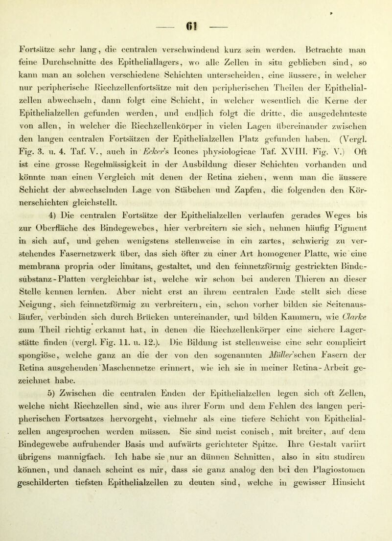 Fortsätze sehr lang, die centralen verschwindend kurz sein werden. Betrachte man feine Durchschnitte des Epitheliallagers, wo alle Zellen in situ geblieben sind, so kann man an solchen verschiedene Schichten unterscheiden, eine äussere, in welcher nur peripherische Riechzellenfortsätze mit den peripherischen Theilen der Epithelial- zellen abwechseln, dann folgt eine Schicht, in welcher wesentlich die Kerne der Epithelialzellen gefunden werden, und endlich folgt die dritte, die ausgedehnteste von allen, in welcher die Riechzellenkörper in vielen Lagen übereinander zwischen den langen centralen Fortsätzen der Epithelialzellen Platz gefunden haben. (Yergl. Fig. 3. u. 4. Taf. V., auch in Ecker's Icones phvsiologicae Taf. XVIII. Fig. V.) Oft ist eine grosse Regelmässigkeit in der Ausbildung dieser Schichten vorhanden und könnte man einen Vergleich mit denen der Retina ziehen, wenn man die äussere Schicht der abwechselnden Lage von Stäbchen und Zapfen, die folgenden den Kör- nerschichten gleichstellt. 4) Die centralen Fortsätze der Epithelialzellen verlaufen gerades Weges bis zur Oberfläche des Bindegewebes, hier verbreitern sie sich, nehmen häufig Pigment in sich auf, und gehen wenigstens stellenweise in ein zartes, schwierig zu ver- stehendes Fasernetzwerk über, das sich öfter zu einer Art homogener Platte, wie eine membrana propria oder limitans, gestaltet, und den feinnetzförmig gestrickten Binde- süb stanz - Platten vergleichbar ist, welche wir schon bei anderen Thieren an dieser Stelle kennen lernten. Aber nicht erst an ihrem centralen Ende stellt sich diese Neigung, sich feinnetzförmig zu verbreitern, ein, schon vorher bilden sie Seitenaus- läufer, verbinden sich durch Brücken untereinander, und bilden Kammern, wie Clarke zum Theil richtig erkannt hat, in denen die Riechzellenkörper eine sichere Lager- stätte finden (vergl. Fig. 11. u. 12.). Die Bildung ist stellenweise eine sehr complicirt spongiöse, welche ganz an die der von den sogenannten Müller sehen Fasern der Retina ausgehenden'Maschennetze erinnert, wie ich sie in meiner Retina-Arbeit ge- zeichnet habe. 5) Zwischen die centralen Enden der Epithelialzellen legen sich oft Zellen, welche nicht Riechzellen sind, wie aus ihrer Form und dem Fehlen des langen peri- pherischen Fortsatzes hervorgeht, vielmehr als eine tiefere Schicht von Epithelial- zellen angesprochen werden müssen. Sie sind meist conisch, mit breiter, auf dem Bindegewebe aufruhender Basis und aufwärts gerichteter Spitze. Ihre Gestalt variirt übrigens mannigfach. Ich habe sie nur an dünnen Schnitten, also in situ studiren können, und danach scheint es mir, dass sie ganz analog den bei den Plagiostomen geschilderten tiefsten Epithelialzeilen zu deuten sind, welche in gewisser Hinsicht