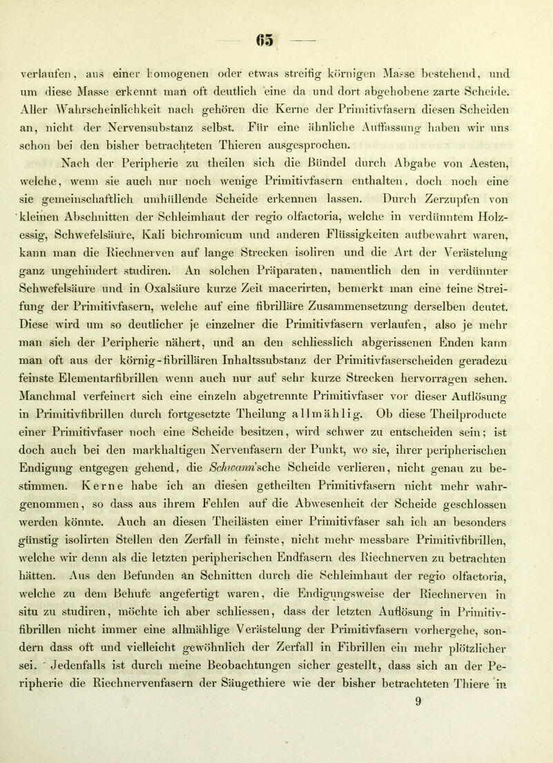 (15 verlaufen, aus einer homogenen oder etwas streifig körnigen Masse bestehend, und um diese Masse erkennt man oft deutlich eine da und dort abgehobene zarte Scheide. Aller Wahrscheinlichkeit nach gehören die Kerne der Primitivfasern diesen Scheiden an, nicht der Nervensubstanz selbst. Für eine ähnliche Auffassung haben wir uns schon bei den bisher betrachteten Thieren ausgesprochen. Nach der Peripherie zu theilen sich die Bündel durch Abgabe von Aesten, welche, wenn sie auch nur noch wenige Primitivfasern enthalten, doch noch eine sie gemeinschaftlich umhüllende Scheide erkennen lassen. Durch Zerzupfen von kleinen Abschnitten der Schleimhaut der regio olfactoria, welche in verdünntem Holz- essig, Schwefelsäure, Kali bichromicum und anderen Flüssigkeiten aufbewahrt waren, kann man die Riechnerven auf lange Strecken isoliren und die Art der Verästelung ganz ungehindert studiren. An solchen Präparaten, namentlich den in verdünnter Schwefelsäure und in Oxalsäure kurze Zeit macerirten, bemerkt man eine feine Strei- fung der Primitivfasern, welche auf eine fibrilläre Zusammensetzung derselben deutet. Diese wird um so deutlicher je einzelner die Primitivfasern verlaufen, also je mehr man sich der Peripherie nähert, und an den schliesslich abgerissenen Enden kann man oft aus der körnig - fibrillären Inhaltssubstanz der Primitivfaserscheiden geradezu feinste Elementarfibrillen wenn auch nur auf sehr kurze Strecken hervorragen sehen. Manchmal verfeinert sich eine einzeln abgetrennte Primitivfaser vor dieser Auflösung in Primitivfibrillen durch fortgesetzte Theilung a 11 m ä h 1 i g. Ob diese Theilproducte einer Primitivfaser noch eine Scheide besitzen, wird schwer zu entscheiden sein; ist doch auch bei den markhaltigen Nervenfasern der Punkt, wo sie, ihrer peripherischen Endigung entgegen gehend, die Schwannsehe Scheide verlieren, nicht genau zu be- stimmen. Kerne habe ich an diesen getheilten Primitivfasern nicht mehr wahr- genommen, so dass aus ihrem Fehlen auf die Abwesenheit der Scheide geschlossen werden könnte. Auch an diesen Theilästen einer Primitivfaser sah ich an besonders günstig isolirten Stellen den Zerfall in feinste, nicht mehr- messbare Primitivfibrillen, welche wir denn als die letzten peripherischen Endfasern des Riechnerven zu betrachten hätten. Aus den Befunden än Schnitten durch die Schleimhaut der regio olfactoria, welche zu dem Behufe angefertigt waren, die Endigungsweise der Riechnerven in situ zu studiren, möchte ich aber schliessen, dass der letzten Auflösung in Primitiv- fibrillen nicht immer eine allmählige Verästelung der Primitivfasern vorhergehe, son- dern dass oft und vielleicht gewöhnlich der Zerfall in Fibrillen ein mehr plötzlicher sei. ' Jedenfalls ist durch meine Beobachtungen sicher gestellt, dass sich an der Pe- ripherie die Riechnervenfasern der Säugethiere wie der bisher betrachteten Thiere in