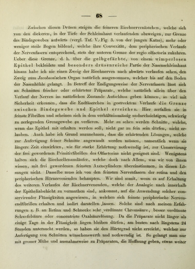 (58 Zwischen diesen Drüsen steigen die feineren Riechnervenästchen, welche sich von den dickeren, in der Tiefe der Schleimhaut verlaufenden abzweigen, zur Grenze des Bindegewebes aufwärts (vergl. Taf. V.*Fig. 3. von der jungen Katze), mehr oder weniger steile Bogen bildend, welche ihre Convexität, dem peripherischen Verlaufe der Nervenfasern entsprechend, stets der unteren Grenze der regio olfactoria zukehren. Ueber diese Grenze, d. h. über die gelbgefärbte, von einem wimperlösen Epithel bekleidete und besonders drüsenreiche Partie der Nasenschleimhaut hinaus habe ich nie einen Zweig der Riechnerven nach abwärts verlaufen sehen, den Zweig zum Jacobson'sehen Organ natürlich ausgenommen, welcher bis auf den Boden der Nasenhöhle gelangt. In Betreif der Endigungsweise der Nervenfasern lässt sich an Schnitten frischer oder erhärteter Präparate, welche natürlich allein über den Verlauf der Nerven im natürlichen Zustande Aufschluss geben können, so viel mit Sicherheit erkennen, dass die Endfäserchen in gestrecktem Verlaufe die Grenze zwischen Bindegewebe und Epithel erreichen. Hier zerfallen sie in feinste Fibrillen und scheinen sich in dem verhältnissmässig undurchsichtigen, schwierig zu zerlegenden Grenzgewebe zu verlieren. Mehr zu sehen werden Schnitte, welche, wenn das Epithel mit erhalten werden soll, nicht gar zu fein sein dürfen, nicht er- lauben. Auch habe ich Grund anzunehmen, dass die erhärtenden Lösungen, welche zur Anfertigung feiner Schnitte angewandt werden müssen, namentlich wenn sie längere Zeit ein wirkten, wie für starke Erhärtung noth wendig ist, zur Conservirung der frei gewordenen Primitivfibrillen des Olfactorius nicht geeignet sind. Wenigstens halten sich die Riechzellenausläufer, welche doch nach Allem, was wir von ihnen wissen, mit frei gewordenen feinsten Axencylindern übereinstimmen, in diesen Lö- sungen nicht. Dasselbe muss ich von den feinsten Nervenfasern der retina und den peripherischen Hörnervehenden behaupten. Wir sind somit, wenn es auf Erhaltung des weiteren Verlaufes der Riechnervenenden, welche der Analogie nach innerhalb der Epithelialschicht zu vermuthen sind, ankommt, auf die Anwendung solcher con- servirender Flüssigkeiten angewiesen, in welchen sich feinste pex-ipherische Nerveix- endfibrillen erhalten und isolirt darstellen .lassen. Solche sind nach meinen Erfah- rungen z. B. an Retina und Schnecke sehr verdünnte Chromsäure, besser verdünnte Schwefelsäure oder concentih-te Oxalsäurelösung. Da die Pi'äpai*ate nicht länger als einige Tage in der Flüssigkeit liegen bleiben dürfen, am besten nach längstens 24 Stunden untersucht werden, so haben sie den Härtegrad nicht ei’reicht, welcher zur Anfertigung von Schnitten wünschenswerth und noth wendig ist. So gelangt man nur mit grosser Mühe und ausnahmsweise zu Präparaten, die Hoffnung geben, etwas weiter