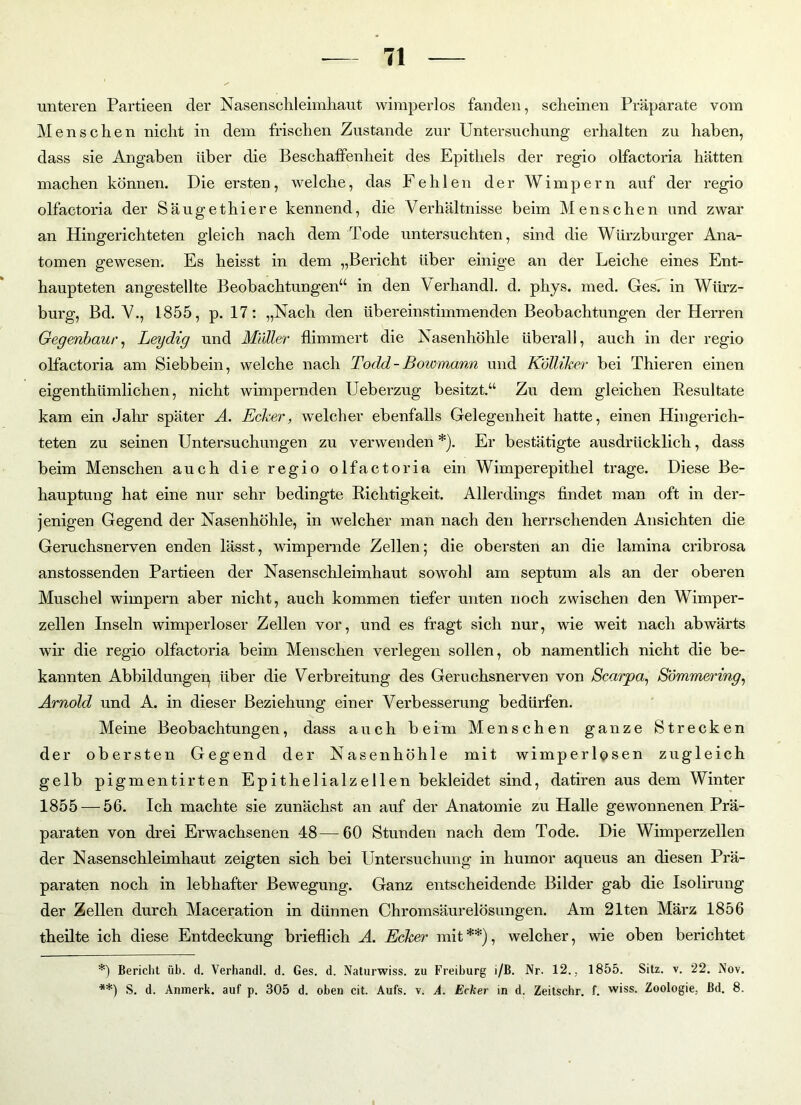 unteren Partieen der Nasenschleimhaut wimperlos fanden, scheinen Präparate vom Menschen nicht in dem frischen Zustande zur Untersuchung erhalten zu haben, dass sie Angaben über die Beschaffenheit des Epithels der regio olfactoria hätten machen können. Die ersten, welche, das Fehlen der Wimpern auf der regio olfactoria der Säugethiere kennend, die Verhältnisse beim Menschen und zwar an Hingerichteten gleich nach dem rPode untersuchten, sind die Würzburger Ana- tomen gewesen. Es heisst in dem „Bericht über einige an der Leiche eines Ent- haupteten angestellte Beobachtungen“ in den Verhandl. d. phys. med. Ges. in Würz- burg, Bd. V., 1855, p. 17: „Nach den übereinstimmenden Beobachtungen der Herren Gegenbaur, Leydig und Müller flimmert die Nasenhöhle überall, auch in der regio olfactoria am Siebbein, welche nach Todd-Bowmann und Kölliker bei Thieren einen eigentümlichen, nicht wimpernden Ueberzug besitzt.“ Zu dem gleichen Resultate kam ein Jahr später A. Ecker, welcher ebenfalls Gelegenheit hatte, einen Hingerich- teten zu seinen Untersuchungen zu verwenden *). Er bestätigte ausdrücklich, dass beim Menschen auch die regio olfactoria ein Wimperepithel trage. Diese Be- hauptung hat eine nur sehr bedingte Richtigkeit. Allerdings findet man oft in der- jenigen Gegend der Nasenhöhle, in welcher man nach den herrschenden Ansichten die Geruchsnerven enden lässt, wimpernde Zellen; die obersten an die lamina cribrosa anstossenden Partieen der Nasenschleimhaut sowohl am septum als an der oberen Muschel wimpern aber nicht, auch kommen tiefer unten noch zwischen den Wimper- zellen Inseln wimperloser Zellen vor, und es fragt sich nur, wie weit nach abwärts wir die regio olfactoria beim Menschen verlegen sollen, ob namentlich nicht die be- kannten Abbildungen über die Verbreitung des Geruchsnerven von Scarpa, Sömmering, Arnold und A. in dieser Beziehung einer Verbesserung bedürfen. Meine Beobachtungen, dass auch beim Menschen ganze Strecken der obersten Gegend der Nasenhöhle mit wimperlosen zugleich gelb pigmentirten Epithelialzellen bekleidet sind, datiren aus dem Winter 1855 — 56. Ich machte sie zunächst an auf der Anatomie zu Halle gewonnenen Prä- paraten von drei Erwachsenen 48—60 Stunden nach dem Tode. Die Wimperzellen der Nasenschleimhaut zeigten sich bei Untersuchung in humor aqueus an diesen Prä- paraten noch in lebhafter Bewegung. Ganz entscheidende Bilder gab die Isolirung der Zellen durch Maceration in dünnen Chromsäurelösungen. Am 21ten März 1856 theilte ich diese Entdeckung brieflich A. Ecker mit **), welcher, wie oben berichtet *) Bericht üb. d. Verhandl. d. Ges. d. Naturwiss. zu Freihurg i/B. Nr. 12., 1855. Sitz. v. 22. Nov. **) S. d. Anmerk, auf p. 305 d. oben cit. Aufs. v. A. Ecker in d. Zeitschr. f. wiss. Zoologie, ßd. 8.