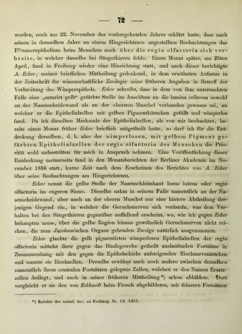 worden, noch am 22. November des vorhergehenden Jahres erklärt hatte, dass nach seinen in demselben Jahre an einem Hingerichteten angestellten Beobachtungen das Fh'mmerepithelium beim Menschen auch über die regio olfactoria sich ver- breite, in welcher dasselbe bei Säugethieren fehle. Einen Monat später, am 25ten April, fand in Freiburg wieder eine Hinrichtung statt, und nach dieser berichtigte A. Ecker, meiner brieflichen Mittheilung gedenkend, in dem erwähnten Aufsatze in der Zeitschrift für wissenschaftliche Zoologie seine früheren Angaben in Betreff der Verbreitung des Wimperepithels. Ecker schreibt, dass in dem von ihm untersuchten Falle eine „saturirt gelb“ gefärbte Stelle im Anschluss an die lamina cribrosa sowohl an der Nasenscheidewand als an der obersten Muschel vorhanden gewesen sei, an welcher er die Epithelialzellen mit gelben Pigmentkörnchen gefüllt und wimperlos fand. Da ich dieselben Merkmale der Epithelialzellen, als von mir beobachtet, be- reits einen Monat früher Ecker brieflich mitgetheilt hatte, so darf ich für die Ent- deckung derselben, d. h. also der wimperlosen, mit gelbem Pigment ge- färbten Epithelialzellen der r erg io olfactoria des Menschen die Prio- rität wohl unbestritten für mich in Anspruch nehmen. Eine Veröffentlichung dieser Entdeckung meinerseits fand in den Monatsberichten der Berliner Akademie im No- O vember 1856 statt, kurze Zeit nach dem Erscheinen des Berichtes von A. Ecker über seine Beobachtungen am Hingerichteten. Ecker nennt die gelbe Stelle der Nasenschleimhaut locus luteus oder regio olfactoria im engeren Sinne. Dieselbe nahm in seinem Falle namentlich an der Na- senscheidewand, aber auch an der oberen Muschel nur eine hintere Abtheilung der- jenigen Gegend ein, in welcher die Geruchsnerven sich verästeln, was dem Ver- halten bei den Säugethieren gegenüber auffallend erscheint, wo, wie ich gegen Ecker behaupten muss, über die gelbe Region hinaus gewöhnlich Geruchsnerven nicht rei- chen, die zum Jacobson'sehen Organe gehenden Zweige natürlich ausgenommen. Ecker glaubte die gelb pigmentirten wimperlosen Epithelialzellen der regio olfactoria mittelst ihrer gegen das Bindegewebe getheilt auslaufenden Fortsätze in Zusammenhang mit den gegen die Epithelschicht aufsteigenden Riechnervenästchen und nannte sie Riechzellen. Derselbe erwähnt auch noch andere zwischen denselben namentlich ihren centralen Fortsätzen gelegene Zellen, welchen er den Namen Ersatz- zellen beilegt, und auch in seiner früheren Mittheilung*) schon abbildete. Dort vergleicht er sie den von Eckhardt beim Frosch abgebildeten, mit feineren Fortsätzen *) Berichte der naturf. Ges. zu Freiburg. Xr. 12. 1855.