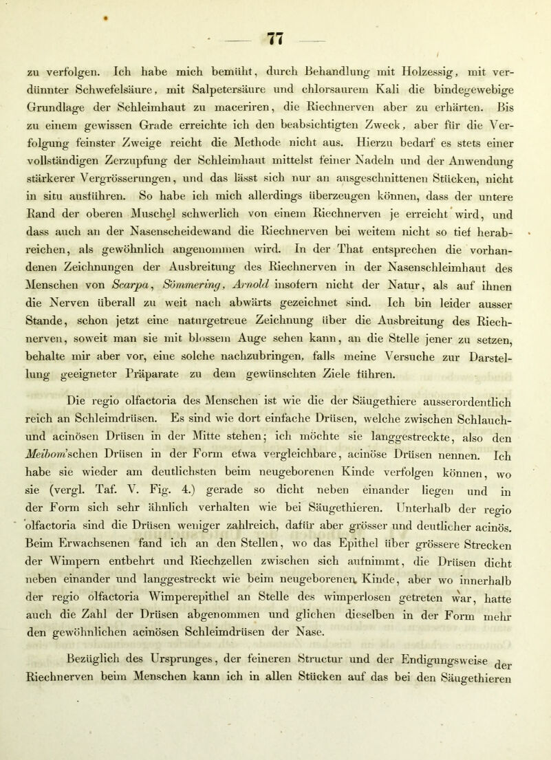 zu verfolgen. Icli habe mich bemüht, durch Behandlung mit Holzessig, mit ver- dünnter Schwefelsäure, mit Salpetersäure und chlorsaurem Kali die bindegewebige Grundlage der Schleimhaut zu maceriren, die Riechnerven aber zu erhärten. Bis zu einem gewissen Grade erreichte ich den beabsichtigten Zweck, aber für die Ver- folgung feinster Zweige reicht die Methode nicht aus. Hierzu bedarf es stets einer vollständigen Zerzupfung der Schleimhaut mittelst feiner Nadeln und der Anwendung stärkerer Vergrösserungen, und das lässt sich nur an ausgeschnittenen Stücken, nicht in situ ausführen. So habe ich mich allerdings überzeugen können, dass der untere Rand der oberen Muschel schwerlich von einem Riechnerven je erreicht wird, und dass auch an der Nasenscheidewand die Riechnerven bei weitem nicht so tief herab- reichen, als gewöhnlich angenommen wird. In der That entsprechen die vorhan- denen Zeichnungen der Ausbreitung des Riechnerven in der Nasenschleimhaut des Menschen von Scarpa, Sömmering, Arnold insofern nicht der Natur, als auf ihnen die Nerven überall zu weit nach abwärts gezeichnet sind. Ich bin leider ausser Stande, schon jetzt eine naturgetreue Zeichnung über die Ausbreitung des Riech- nerven, soweit man sie mit blossem Auge sehen kann, an die Stelle jener zu setzen, behalte mir aber vor, eine solche nachzubringen, falls meine Versuche zur Darstel- lung geeigneter Präparate zu dem gewünschten Ziele führen. Die regio olfactoria des Menschen ist wie die der Säugethiere ausserordentlich reich an Schleimdrüsen. Es sind wie dort einfache Drüsen, welche zwischen Schlauch- und acinösen Drüsen in der Mitte stehen 5 ich möchte sie langgestreckte, also den Meibom’schen Drüsen in der Form etwa vergleichbare, acinöse Drüsen nennen. Ich habe sie wieder am deutlichsten beim neugeborenen Kinde verfolgen können, wo sie (vergl. Taf. V. Fig. 4.) gerade so dicht neben einander liegen und in der Form sich sehr ähnlich verhalten wie bei Säugethieren. Unterhalb der regio olfactoria sind die Drüsen weniger zahlreich, dafür aber grösser und deutlicher acinös. Beim Erwachsenen fand ich an den Stellen, wo das Epithel über grössere Strecken der Wimpern entbehrt und Riechzellen zwischen sich aufnimmt, die Drüsen dicht neben einander und langgestreckt wie beim neugeborenen Kinde, aber wo innerhalb der regio olfactoria Wimperepithel an Stelle des wimperlosen getreten war, hatte auch die Zahl der Drüsen abgenommen und glichen dieselben in der Form mehr den gewöhnlichen acinösen Schleimdrüsen der Nase. Bezüglich des Ursprunges, der feineren Structur und der Endigungsweise (|er Riechnerven beim Menschen kann ich in allen Stücken auf das bei den Säugethieren