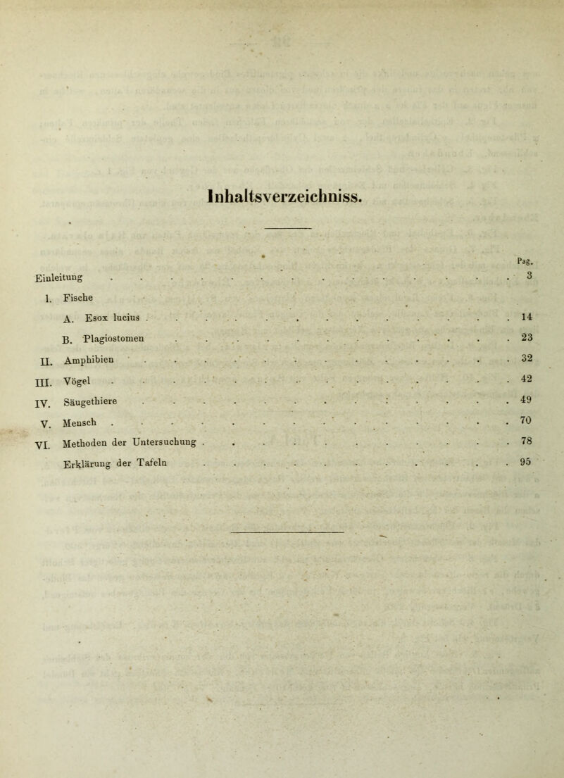 Inhaltsverzeichnis» Einleitung 1. Fische A. Esox lucius . B. Plagiostomen II. Amphibien III. Vögel IV. Säugethiere V. Mensch . VI. Methoden der Untersuchung . Erklärung der Tafeln Pag. 3 14 23 32 42 49 70 78 95