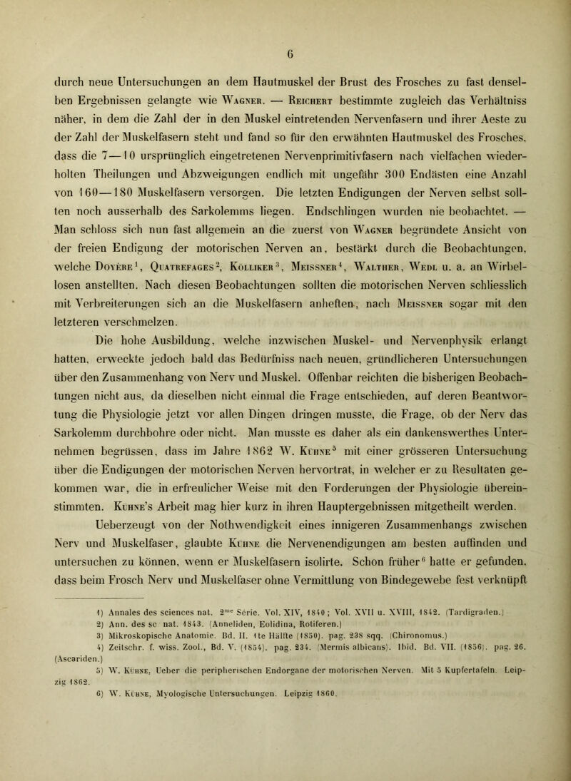 durch neue Untersuchungen an dem Hautmuskel der Brust des Frosches zu fast densel- ben Ergebnissen gelangte wie Wagner. — Reichert bestimmte zugleich das Verhältniss näher, in dem die Zahl der in den Muskel eintretenden Nervenfasern und ihrer Aeste zu der Zahl der Muskelfasern steht und fand so für den erwähnten Hautmuskel des Frosches, dass die 7—10 ursprünglich eingetretenen Nervenprimitivfasern nach vielfachen wieder- holten Theilungen und Abzweigungen endlich mit ungefähr 300 Endästen eine Anzahl von 160—180 Muskelfasern versorgen. Die letzten Endigungen der Nerven selbst soll- ten noch ausserhalb des Sarkolemms liegen. Endschlingen wurden nie beobachtet. — Man schloss sich nun fast allgemein an die zuerst von Wagner begründete Ansicht von der freien Endigung der motorischen Nerven an, bestärkt durch die Beobachtungen, welche Doyere1, Quatrefages2, Kölliker3, Meissner4, Walther, Wedl u. a. an Wirbel- losen anstellten. Nach diesen Beobachtungen sollten die motorischen Nerven schliesslich mit Verbreiterungen sich an die Muskelfasern an heften , nach Meissner sogar mit den letzteren verschmelzen. Die hohe Ausbildung, welche inzwischen Muskel- und Nervenphysik erlangt hatten, erweckte jedoch bald das Bedürfniss nach neuen, gründlicheren Untersuchungen über den Zusammenhang von Nerv und Muskel. Offenbar reichten die bisherigen Beobach- tungen nicht aus, da dieselben nicht einmal die Frage entschieden, auf deren Beantwor- tung die Physiologie jetzt vor allen Dingen dringen musste, die Frage, ob der Nerv das Sarkolemm durchbohre oder nicht. Man musste es daher als ein dankenswertes Unter- nehmen begrüssen, dass im Jahre 1862 W. Kühne5 mit einer grösseren Untersuchung über die Endigungen der motorischen Nerven hervortrat, in welcher er zu Resultaten ge- kommen war, die in erfreulicher Weise mit den Forderungen der Physiologie überein- stimmten. Kühne’s Arbeit mag hier kurz in ihren Hauptergebnissen mitgetheilt werden. Ueberzeugt von der Notwendigkeit eines innigeren Zusammenhangs zwischen Nerv und Muskelfaser, glaubte Kühne die Nervenendigungen am besten auffinden und untersuchen zu können, wenn er Muskelfasern isolirte. Schon früher6 hatte er gefunden, dass beim Frosch Nerv und Muskelfaser ohne Vermittlung von Bindegewebe fest verknüpft 1) Annales des Sciences nat. 2‘e Serie. Vol. XIV, 1 840 ; Vol. XVII u. XVIII, 1S42. (Tardigraden.) 2) Ann. des sc nat. 1843. (Anneliden, Eolidina, Rotiferen.) 3) Mikroskopische Anatomie. Bd. II. Ite Hälfte (1850). pag. 238 sqq. (Chironomus.) 4) Zeitschr. f. wiss. Zool., Bd. V. (1S54). pag. 234. (Mermis albicans), lhid. Bd. VII. (1S56). pag. 26. (Ascariden.) 5) \V. Kühne, lieber die peripherischen Endorgane der motorischen Nerven. Mit 3 Kupfertafeln. Leip- zig 1862. 6) W. Kühne, Myologische Untersuchungen. Leipzig 1860.