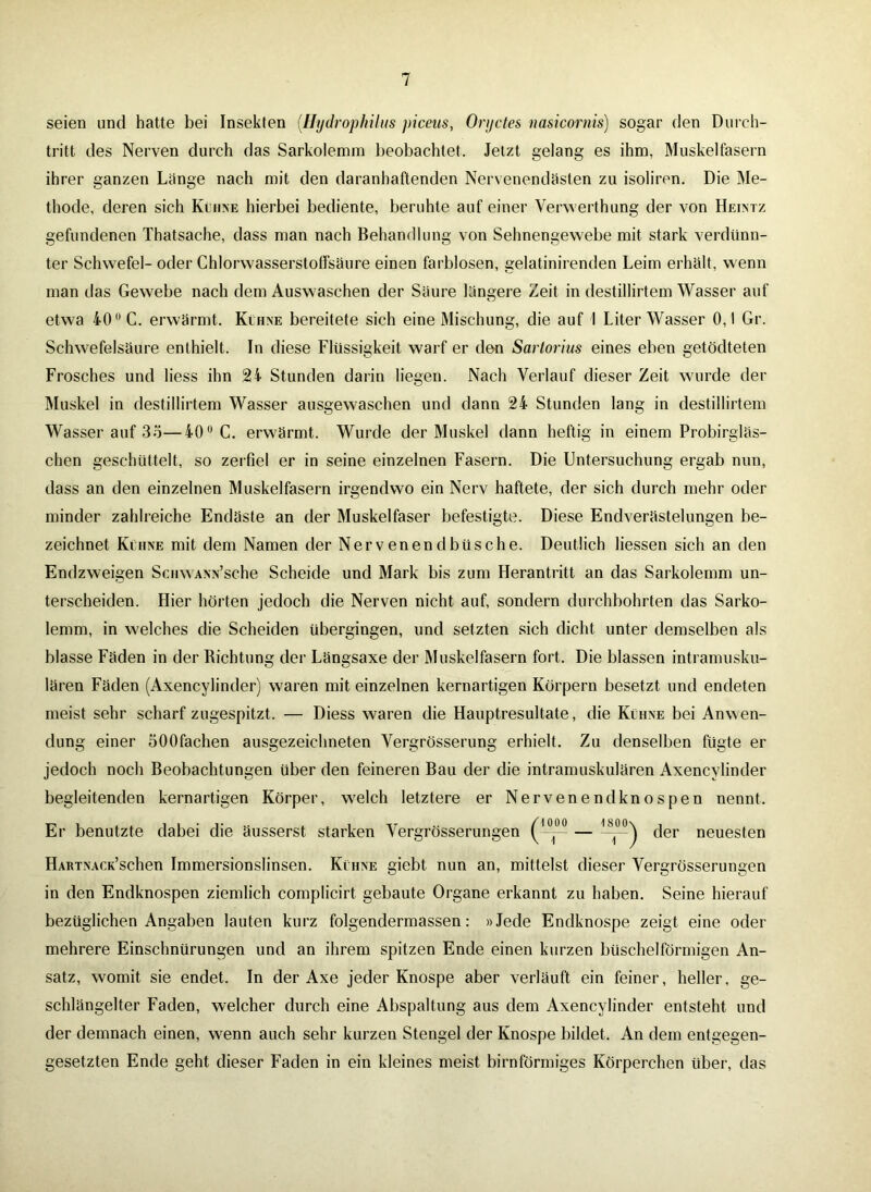 seien und hatte bei Insekten (.Hydrophilus piceus, Onjctes nasicornis) sogar den Durch- tritt des Nerven durch das Sarkolemin beobachtet. Jetzt gelang es ihm, Muskelfasern ihrer ganzen Lange nach mit den daranhaftenden Nervenendästen zu isoliren. Die Me- thode, deren sich Kühne hierbei bediente, beruhte auf einer Verwerthung der von Heintz gefundenen Thatsache, dass man nach Behandlung von Sehnengewebe mit stark verdünn- ter Schwefel- oder ChlorwasserstotFsäure einen farblosen, gelatinirenden Leim erhält, wenn man das Gewebe nach dem Auswaschen der Säure längere Zeit in destillirtem Wasser auf etwa 40° C. erwärmt. Kühne bereitete sich eine Mischung, die auf 1 Liter Wasser 0,1 Gr. Schwefelsäure enthielt. In diese Flüssigkeit warf er den Sartorius eines eben getödteten Frosches und liess ihn 24 Stunden darin liegen. Nach Verlauf dieser Zeit wurde der Muskel in destillirtem Wasser ausgewaschen und dann 24 Stunden lang in destillirtem Wasser auf 33—40u C. erwärmt. Wurde der Muskel dann heftig in einem Probirgläs- chen geschüttelt, so zerfiel er in seine einzelnen Fasern. Die Untersuchung ergab nun, dass an den einzelnen Muskelfasern irgendwo ein Nerv haftete, der sich durch mehr oder minder zahlreiche Endäste an der Muskelfaser befestigte. Diese Endverästelungen be- zeichnet Kühne mit dem Namen der Nervenendbüsche. Deutlich Hessen sich an den Endzweigen ScuwANN’sche Scheide und Mark bis zum Herantritt an das Sarkolemm un- terscheiden. Hier hörten jedoch die Nerven nicht auf, sondern durchbohrten das Sarko- lemm, in welches die Scheiden übergingen, und setzten sich dicht unter demselben als blasse Fäden in der Richtung der Längsaxe der Muskelfasern fort. Die blassen intramusku- lären Fäden (Axencylinder) waren mit einzelnen kernartigen Körpern besetzt und endeten meist sehr scharf zugespitzt. — Diess waren die Hauptresultate, die Kühne bei Anwen- dung einer 500fachen ausgezeichneten Vergrösserung erhielt. Zu denselben fügte er jedoch noch Beobachtungen über den feineren Bau der die intramuskulären Axencylinder begleitenden kernartigen Körper, welch letztere er Nervenend knospen nennt. Er benutzte dabei die äusserst. starken Vergrösserungen (1ü(oü — KS1°0^ der neuesten HARiNACK’schen Immersionslinsen. Kühne giebt nun an, mittelst dieser Vergrösserungen in den Endknospen ziemlich complicirt gebaute Organe erkannt zu haben. Seine hierauf bezüglichen Angaben lauten kurz folgendermassen: »Jede Endknospe zeigt eine oder mehrere Einschnürungen und an ihrem spitzen Ende einen kurzen büschelförmigen An- satz, womit sie endet. In der Axe jeder Knospe aber verläuft ein feiner, heller, ge- schlängelter Faden, welcher durch eine Abspaltung aus dem Axencylinder entsteht und der demnach einen, wenn auch sehr kurzen Stengel der Knospe bildet. An dem entgegen- gesetzten Ende geht dieser Faden in ein kleines meist bimförmiges Körperchen über, das