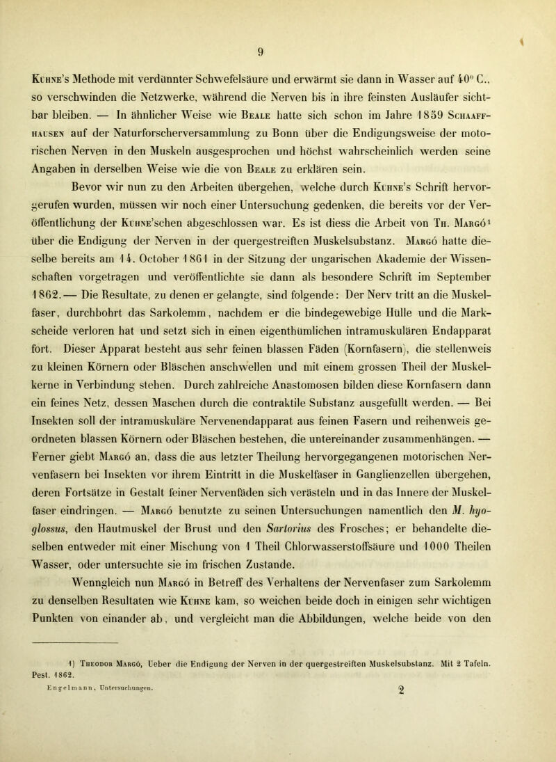 Klhne’s Methode mit verdünnter Schwefelsäure und erwärmt sie dann in Wasser auf 40 C., so verschwinden die Netzwerke, während die Nerven bis in ihre feinsten Ausläufer sicht- bar bleiben. — In ähnlicher Weise wie Beale hatte sich schon im Jahre 1859 Schaaff- hausen auf der Naturforscherversammlung zu Bonn über die Endigungsweise der moto- rischen Nerven in den Muskeln ausgesprochen und höchst wahrscheinlich werden seine Angaben in derselben Weise wie die von Beale zu erklären sein. Bevor wir nun zu den Arbeiten übergehen, welche durch Klhne’s Schrift hervor- gerufen wurden, müssen wir noch einer Untersuchung gedenken, die bereits vor der Ver- öffentlichung der KüHNE’schen abgeschlossen war. Es ist diess die Arbeit von Th. Makgö1 über die Endigung der Nerven in der quergestreiften Muskelsubstanz. Margö hatte die- selbe bereits am I 4. October I 861 in der Sitzung der ungarischen Akademie der Wissen- schaften vorgetragen und veröffentlichte sie dann als besondere Schrift im September 1 862.— Die Resultate, zu denen er gelangte, sind folgende: Der Nerv tritt an die Muskel- faser, durchbohrt das Sarkolemm, nachdem er die bindegewebige Hülle und die Mark- scheide verloren hat und setzt sich in einen eigenthümlichen intramuskulären Endapparat fort. Dieser Apparat besteht aus sehr feinen blassen Fäden (Kornfasern), die stellenweis zu kleinen Körnern oder Bläschen anschwellen und mit einem grossen Theil der Muskel- kerne in Verbindung stehen. Durch zahlreiche Anastomosen bilden diese Kornfasern dann ein feines Netz, dessen Maschen durch die contraktile Substanz ausgefüllt werden. — Bei Insekten soll der intramuskuläre Nervenendapparat aus feinen Fasern und reihenweis ge- ordneten blassen Körnern oder Bläschen bestehen, die untereinander Zusammenhängen. — Ferner giebt Margö an. dass die aus letzter Theilung hervorgegangenen motorischen Ner- venfasern bei Insekten vor ihrem Eintritt in die Muskelfaser in Ganglienzellen übergehen, deren Fortsätze in Gestalt feiner Nervenfäden sich verästeln und in das Innere der Muskel- faser eindringen. — Margö benutzte zu seinen Untersuchungen namentlich den M. hyo- glossus, den Hautmuskel der Brust und den Sartorius des Frosches; er behandelte die- selben entweder mit einer Mischung von I Theil Chlorwasserstoffsäure und 1000 Theilen Wasser, oder untersuchte sie im frischen Zustande. Wenngleich nun Margö in Betreff des Verhaltens der Nervenfaser zum Sarkolemm zu denselben Resultaten wie Kühne kam, so weichen beide doch in einigen sehr wichtigen Punkten von einander ab, und vergleicht man die Abbildungen, welche beide von den 1) Theodor Margö, Ueber die Endigung der Nerven in der quergestreiften Muskelsubstanz. Mit 2 Tafeln. Pest. \862. Engel mann, Untersuchungen. 2