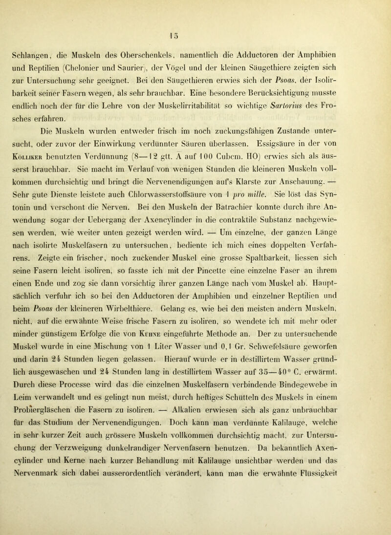 Schlangen, die Muskeln des Oberschenkels, namentlich die Adductoren der Amphibien und Reptilien (Chelonier und Saurier), der Vögel und der kleinen Säugethiere zeigten sich zur Untersuchung sehr geeignet. Bei den Säugethieren erwies sich der Psoas, der Isolir- barkeit seiner Fasern wegen, als sehr brauchbar. Eine besondere Berücksichtigung musste endlich noch der für die Lehre von der Muskelirritabilität so wichtige Sarlorius des Fro- sches erfahren. Die Muskeln wurden entweder frisch im noch zuckungsfähigen Zustande unter- sucht, oder zuvor der Einwirkung verdünnter Sauren überlassen. Essigsäure in der von Kölliker benutzten Verdünnung (8—12 gtt. A auf 100 Cubcm. HO) erwies sich als äus- serst brauchbar. Sie macht im Verlauf von wenigen Stunden die kleineren Muskeln voll- kommen durchsichtig und bringt die Nervenendigungen aufs Klarste zur Anschauung. — Sehr gute Dienste leistete auch Chlorwasserstoffsäure von I pro mille. Sie löst das Syn- tonin und verschont die Nerven. Bei den Muskeln der Batrachier konnte durch ihre An- wendung sogar der Uebergang der Axencylinder in die contraktile Substanz nachgewie- sen werden, wie weiter unten gezeigt werden wird. — Um einzelne, der ganzen Länge nach isolirte Muskelfasern zu untersuchen, bediente ich mich eines doppelten Verfah- rens. Zeigte ein frischer, noch zuckender Muskel eine grosse Spaltbarkeit, Hessen sich seine Fasern leicht isoliren, so fasste ich mit der Pincette eine einzelne Faser an ihrem einen Ende und zog sie dann vorsichtig ihrer ganzen Länge nach vom Muskel ab. Haupt- sächlich verfuhr ich so bei den Adductoren der Amphibien und einzelner Reptilien und beim Psoas der kleineren Wirbelthiere. Gelang es, wie bei den meisten andern Muskeln, nicht, auf die erwähnte Weise frische Fasern zu isoliren, so wendete ich mit mehr oder minder günstigem Erfolge die von Kühne eingeführte Methode an. Der zu untersuchende Muskel wurde in eine Mischung von 1 Liter Wasser und 0,1 Gr. Schwefelsäure geworfen und darin 24 Stunden liegen gelassen. Hierauf wurde er in destillirtem Wasser gründ- lich ausgewaschen und 24 Stunden lang in destillirtem Wasser auf 35—40° C. erwärmt. Durch diese Processe wird das die einzelnen Muskelfasern verbindende Bindegewebe in Leim verwandelt und es gelingt nun meist, durch heftiges Schütteln des Muskels in einem Probiergläschen die Fasern zu isoliren. — Alkalien erwiesen sich als ganz unbrauchbar für das Studium der Nervenendigungen. Doch kann man verdünnte Kalilauge, welche in sehr kurzer Zeit auch grössere Muskeln vollkommen durchsichtig macht, zur Untersu- chung der Verzweigung dunkelrandiger Nervenfasern benutzen. Da bekanntlich Axen- cylinder und Kerne nach kurzer Behandlung mit Kalilauge unsichtbar werden und das Nervenmark sich dabei ausserordentlich verändert, kann man die erwähnte Flüssigkeit