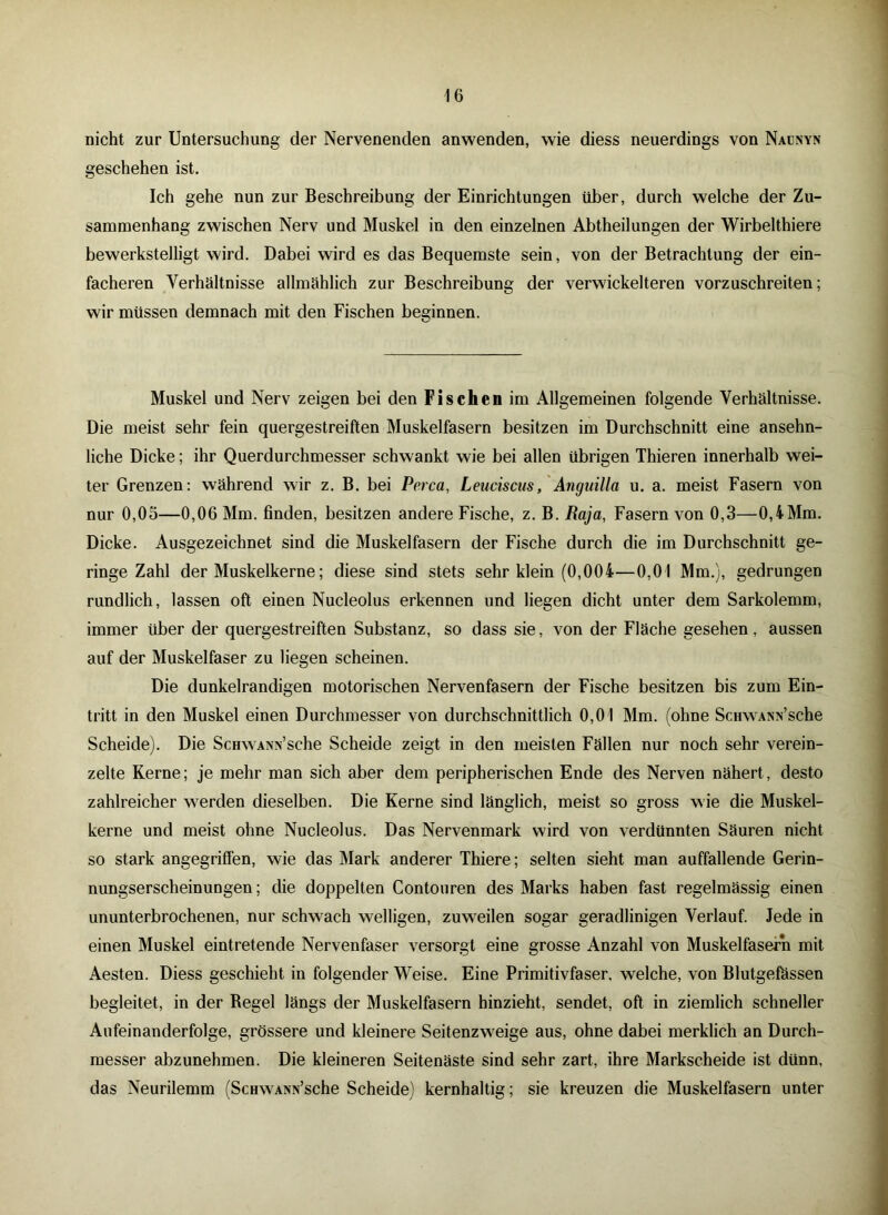 nicht zur Untersuchung der Nervenenden anwenden, wie diess neuerdings von Naunyn geschehen ist. Ich gehe nun zur Beschreibung der Einrichtungen über, durch welche der Zu- sammenhang zwischen Nerv und Muskel in den einzelnen Abtheilungen der Wirbelthiere bewerkstelligt wird. Dabei wird es das Bequemste sein, von der Betrachtung der ein- facheren Verhältnisse allmählich zur Beschreibung der verwickelteren vorzuschreiten; wir müssen demnach mit den Fischen beginnen. Muskel und Nerv zeigen bei den Fischen im Allgemeinen folgende Verhältnisse. Die meist sehr fein quergestreiften Muskelfasern besitzen im Durchschnitt eine ansehn- liche Dicke; ihr Querdurchmesser schwankt wie bei allen übrigen Thieren innerhalb wei- ter Grenzen: während wir z. B. bei Perca, Leuciscus, Anguilla u. a. meist Fasern von nur 0,05—0,06 Mm. finden, besitzen andere Fische, z. B. Raja, Fasern von 0,3—0,4Mm. Dicke. Ausgezeichnet sind die Muskelfasern der Fische durch die im Durchschnitt ge- ringe Zahl der Muskelkerne; diese sind stets sehr klein (0,004—0,01 Mm.), gedrungen rundlich, lassen oft einen Nucleolus erkennen und liegen dicht unter dem Sarkolemm, immer über der quergestreiften Substanz, so dass sie, von der Fläche gesehen, aussen auf der Muskelfaser zu liegen scheinen. Die dunkelrandigen motorischen Nervenfasern der Fische besitzen bis zum Ein- tritt in den Muskel einen Durchmesser von durchschnittlich 0,01 Mm. (ohne ScHWANN’sche Scheide). Die ScHWANN’sche Scheide zeigt in den meisten Fällen nur noch sehr verein- zelte Kerne; je mehr man sich aber dem peripherischen Ende des Nerven nähert, desto zahlreicher werden dieselben. Die Kerne sind länglich, meist so gross wie die Muskel- kerne und meist ohne Nucleolus. Das Nervenmark wird von verdünnten Säuren nicht so stark angegriffen, wie das Mark anderer Thiere; selten sieht man auffallende Gerin- nungserscheinungen ; die doppelten Contouren des Marks haben fast regelmässig einen ununterbrochenen, nur schwach welligen, zuweilen sogar geradlinigen Verlauf. Jede in einen Muskel eintretende Nervenfaser versorgt eine grosse Anzahl von Muskelfasern mit Aesten. Diess geschieht in folgender Weise. Eine Primitivfaser, welche, von Blutgefässen begleitet, in der Regel längs der Muskelfasern hinzieht, sendet, oft in ziemlich schneller Aufeinanderfolge, grössere und kleinere Seitenzweige aus, ohne dabei merklich an Durch- messer abzunehmen. Die kleineren Seitenäste sind sehr zart, ihre Markscheide ist dünn, das Neurilemm (ScHWANN’sche Scheide) kernhaltig; sie kreuzen die Muskelfasern unter