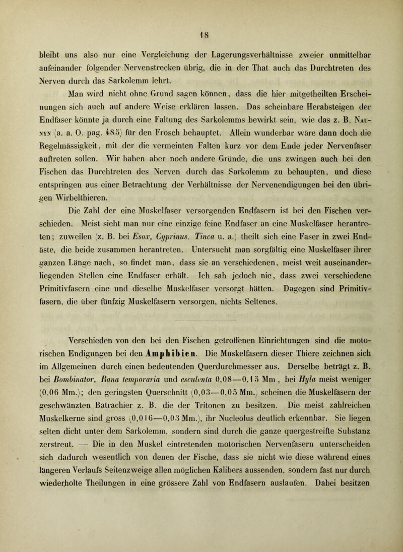 bleibt uns also nur eine Vergleichung der Lagerungsverbältnisse zweier unmittelbar aufeinander folgender Nervenstrecken übrig, die in der That auch das Durchtreten des Nerven durch das Sarkolemm lehrt. Man wird nicht ohne Grund sagen können, dass die hier mitgetheilten Erschei- nungen sich auch auf andere Weise erklären lassen. Das scheinbare Herabsteigen der Endfaser könnte ja durch eine Faltung des Sarkolemms bewirkt sein, wie das z. B. Nau- nyn (a. a. 0. pag. 485) für den Frosch behauptet. Allein wunderbar wäre dann doch die Regelmässigkeit, mit der die vermeinten Falten kurz vor dem Ende jeder Nervenfaser auftreten sollen. Wir haben aber noch andere Gründe, die uns zwingen auch bei den Fischen das Durchtreten des Nerven durch das Sarkolemm zu behaupten, und diese entspringen aus einer Betrachtung der Verhältnisse der Nervenendigungen bei den übri- gen Wirbelthieren. Die Zahl der eine Muskelfaser versorgenden Endfasern ist bei den Fischen ver- schieden. Meist sieht man nur eine einzige feine Endfaser an eine Muskelfaser herantre- ten; zuweilen (z. B. bei Esox, Cyprinus, Tinea u. a.) theilt sich eine Faser in zwei End- äste, die beide zusammen herantreten. Untersucht man sorgfältig eine Muskelfaser ihrer ganzen Länge nach, so findet man, dass sie an verschiedenen, meist weit auseinander- liegenden Stellen eine Endfaser erhält. Ich sah jedoch nie, dass zwei verschiedene Primitivfasern eine und dieselbe Muskelfaser versorgt hätten. Dagegen sind Primitiv- fasern, die über fünfzig Muskelfasern versorgen, nichts Seltenes. Verschieden von den bei den Fischen getrotfenen Einrichtungen sind die moto- rischen Endigungen bei den Amphibien. Die Muskelfasern dieser Thiere zeichnen sich im Allgemeinen durch einen bedeutenden Querdurchmesser aus. Derselbe beträgt z. B. bei Bombinator, Rana temporaria und esculenla 0,08—0,15 Mm , bei Hyla meist weniger (0,06 Mm.); den geringsten Querschnitt (0,03—0,05 Mm.j scheinen die Muskelfasern der geschwänzten Balrachier z. B. die der Tritonen zu besitzen. Die meist zahlreichen Muskelkerne sind gross ^0,016—0,03 Mm.), ihr Nucleolus deutlich erkennbar. Sie liegen selten dicht unter dem Sarkolemm, sondern sind durch die ganze quergestreifte Substanz zerstreut. — Die in den Muskel eintretenden motorischen Nervenfasern unterscheiden sich dadurch wesentlich von denen der Fische, dass sie nicht wie diese während eines längeren Verlaufs Seitenzweige allen möglichen Kalibers aussenden, sondern fast nur durch wiederholte Theilungen in eine grössere Zahl von Endfasern auslaufen. Dabei besitzen