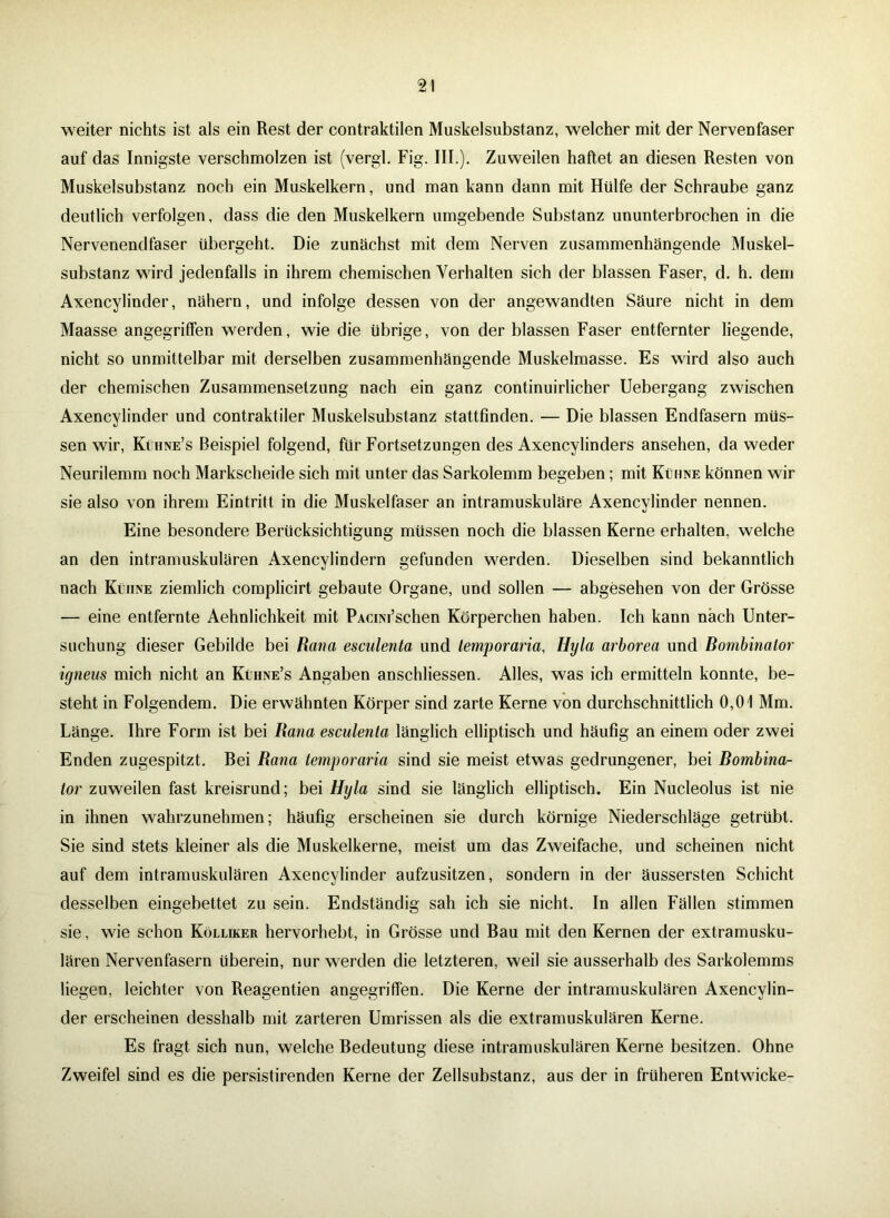 weiter nichts ist als ein Rest der contraktilen Muskelsubstanz, welcher mit der Nervenfaser auf das Innigste verschmolzen ist (vergl. Fig. III.). Zuweilen haftet an diesen Resten von Muskelsubstanz noch ein Muskelkern, und man kann dann mit Hülfe der Schraube ganz deutlich verfolgen, dass die den Muskelkern umgebende Substanz ununterbrochen in die Nervenendfaser übergeht. Die zunächst mit dem Nerven zusammenhängende Muskel- substanz wird jedenfalls in ihrem chemischen Verhalten sich der blassen Faser, d. h. dem Axencylinder, nähern, und infolge dessen von der angewandten Säure nicht in dem Maasse angegriffen werden, wie die übrige, von der blassen Faser entfernter liegende, nicht so unmittelbar mit derselben zusammenhängende Muskelmasse. Es wird also auch der chemischen Zusammensetzung nach ein ganz continuirlicher Uebergang zwischen Axencylinder und contraktiler Muskelsubstanz stattfinden. — Die blassen Endfasern müs- sen wir, Kt hne’s Beispiel folgend, für Fortsetzungen des Axencylinders ansehen, da weder Neurilemm noch Markscheide sich mit unter das Sarkolemm begeben; mit Kühne können wir sie also von ihrem Eintritt in die Muskelfaser an intramuskuläre Axencylinder nennen. Eine besondere Berücksichtigung müssen noch die blassen Kerne erhalten, welche an den intramuskulären Axencylindern gefunden werden. Dieselben sind bekanntlich nach Kühne ziemlich complicirt gebaute Organe, und sollen — abgesehen von der Grösse — eine entfernte Aehnlichkeit mit PAciNi’schen Körperchen haben. Ich kann nach Unter- suchung dieser Gebilde bei Rana esculenta und lemporaria, Hyla arborea und Bombinalor igneus mich nicht an Kühne’s Angaben anschliessen. Alles, was ich ermitteln konnte, be- steht in Folgendem. Die erwähnten Körper sind zarte Kerne von durchschnittlich 0,01 Mm. Länge. Ihre Form ist bei Rana esculenta länglich elliptisch und häufig an einem oder zwei Enden zugespitzt. Bei Rana lemporaria sind sie meist etwas gedrungener, bei Rombina- tor zuweilen fast kreisrund; bei Hyla sind sie länglich elliptisch. Ein Nucleolus ist nie in ihnen wahrzunehmen; häufig erscheinen sie durch körnige Niederschläge getrübt. Sie sind stets kleiner als die Muskelkerne, meist um das Zweifache, und scheinen nicht auf dem intramuskulären Axencylinder aufzusitzen, sondern in der äussersten Schicht desselben eingebettet zu sein. Endständig sah ich sie nicht. In allen Fällen stimmen sie, wie schon Kölliker hervorhebt, in Grösse und Bau mit den Kernen der extramusku- lären Nervenfasern überein, nur werden die letzteren, weil sie ausserhalb des Sarkolemms liegen, leichter von Reagentien angegriffen. Die Kerne der intramuskulären Axencylin- der erscheinen desshalb mit zarteren Umrissen als die extramuskulären Kerne. Es fragt sich nun, welche Bedeutung diese intramuskulären Kerne besitzen. Ohne Zweifel sind es die persistirenden Kerne der Zellsubstanz, aus der in früheren Entwiche-