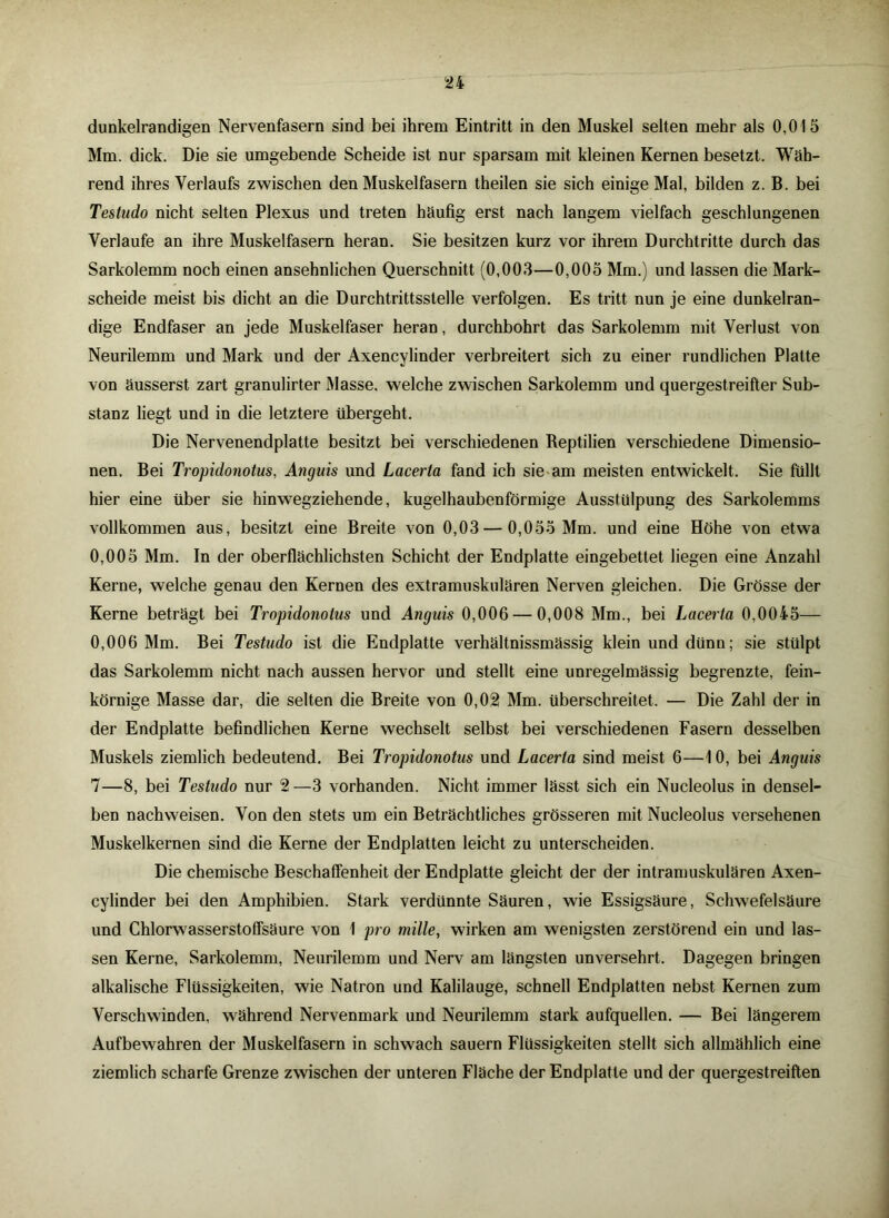 dunkelrandigen Nervenfasern sind bei ihrem Eintritt in den Muskel selten mehr als 0,015 Mm. dick. Die sie umgebende Scheide ist nur sparsam mit kleinen Kernen besetzt. Wäh- rend ihres Verlaufs zwischen den Muskelfasern theilen sie sich einige Mal, bilden z. B. bei Testudo nicht selten Plexus und treten häufig erst nach langem vielfach geschlungenen Verlaufe an ihre Muskelfasern heran. Sie besitzen kurz vor ihrem Durchtritte durch das Sarkolemm noch einen ansehnlichen Querschnitt (0,003—0,005 Mm.) und lassen die Mark- scheide meist bis dicht an die Durchtrittsstelle verfolgen. Es tritt nun je eine dunkelran- dige Endfaser an jede Muskelfaser heran, durchbohrt das Sarkolemm mit Verlust von Neurilemm und Mark und der Axencylinder verbreitert sich zu einer rundlichen Platte von äusserst zart granulirter Masse, welche zwischen Sarkolemm und quergestreifter Sub- stanz liegt und in die letztere übergeht. Die Nervenendplatte besitzt bei verschiedenen Reptilien verschiedene Dimensio- nen. Bei Tropidonotus, Anguis und Lacerta fand ich sie am meisten entwickelt. Sie füllt hier eine über sie hinwegziehende, kugelhaubenförmige Ausstülpung des Sarkolemms vollkommen aus, besitzt eine Breite von 0,03 — 0,055 Mm. und eine Höhe von etwa 0,005 Mm. In der oberflächlichsten Schicht der Endplatte eingebettet liegen eine Anzahl Kerne, welche genau den Kernen des extramuskulären Nerven gleichen. Die Grösse der Kerne beträgt bei Tropidonotus und Anguis 0,006 — 0,008 Mm., bei Lacerta 0,0045— 0,006 Mm. Bei Testudo ist die Endplatte verhältnissmässig klein und dünn; sie stülpt das Sarkolemm nicht nach aussen hervor und stellt eine unregelmässig begrenzte, fein- körnige Masse dar, die selten die Breite von 0,02 Mm. überschreitet. — Die Zahl der in der Endplatte befindlichen Kerne wechselt selbst bei verschiedenen Fasern desselben Muskels ziemlich bedeutend. Bei Tropido?iotus und Lacerta sind meist 6—1 0, bei Anguis 7—8, bei Testudo nur 2—3 vorhanden. Nicht immer lässt sich ein Nucleolus in densel- ben nachweisen. Von den stets um ein Beträchtliches grösseren mit Nucleolus versehenen Muskelkernen sind die Kerne der Endplatten leicht zu unterscheiden. Die chemische Beschaffenheit der Endplatte gleicht der der intramuskulären Axen- cylinder bei den Amphibien. Stark verdünnte Säuren, wie Essigsäure, Schwefelsäure und Chlorwasserstoffsäure von 1 pro mille, wirken am wenigsten zerstörend ein und las- sen Kerne, Sarkolemm, Neurilemm und Nerv am längsten unversehrt. Dagegen bringen alkalische Flüssigkeiten, wie Natron und Kalilauge, schnell Endplatten nebst Kernen zum Verschwinden, während Nervenmark und Neurilemm stark aufquellen. — Bei längerem Aufbewahren der Muskelfasern in schwach säuern Flüssigkeiten stellt sich allmählich eine ziemlich scharfe Grenze zwischen der unteren Fläche der Endplatte und der quergestreiften