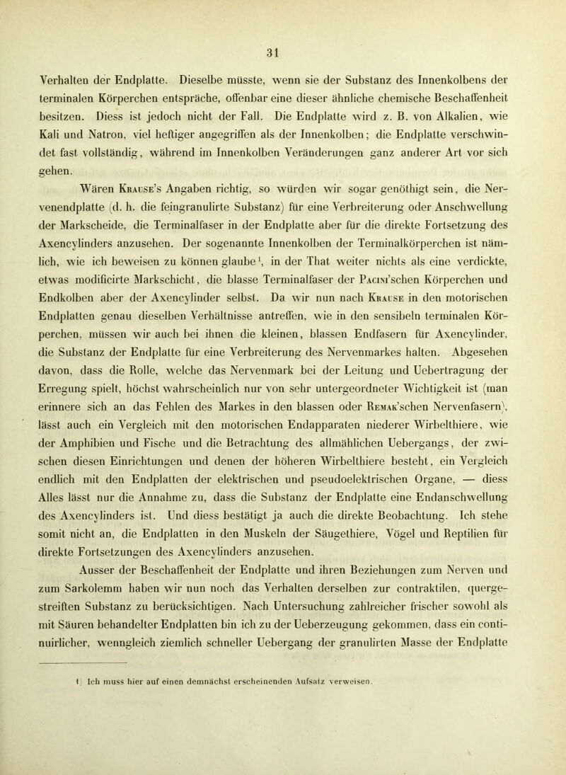 Verhalten der Endplatte. Dieselbe müsste, wenn sie der Substanz des Innenkolbens der terminalen Körperchen entspräche, offenbar eine dieser ähnliche chemische Beschaffenheit besitzen. Diess ist jedoch nicht der Fall. Die Endplatte wird z. B. von Alkalien, wie Kali und Natron, viel heftiger angegriffen als der Innenkolben; die Endplatte verschwin- det fast vollständig, während im Innenkolben Veränderungen ganz anderer Art vor sich gehen. Wären Krause’s Angaben richtig, so würden wir sogar genöthigt sein, die Ner- venendplatte (d. h. die feingranulirte Substanz) für eine Verbreiterung oder Anschwellung der Markscheide, die Terminalfaser in der Endplatte aber für die direkte Fortsetzung des Axencylinders anzusehen. Der sogenannte Innenkolben der Terminalkörperchen ist näm- lich, wie ich beweisen zu können glaube ’, in der That weiter nichts als eine verdickte, etwas modificirte Markschicht , die blasse Terminalfaser der PACiM’schen Körperchen und Endkolben aber der Axencylinder selbst. Da wir nun nach Krause in den motorischen Endplatten genau dieselben Verhältnisse antreffen, wie in den sensibeln terminalen Kör- perchen, müssen wir auch bei ihnen die kleinen, blassen Endfasern für Axencylinder, die Substanz der Endplatte für eine Verbreiterung des Nervenmarkes halten. Abgesehen davon, dass die Rolle, welche das Nervenmark bei der Leitung und Uebertragung der Erregung spielt, höchst wahrscheinlich nur von sehr untergeordneter Wichtigkeit ist (man erinnere sich an das Fehlen des Markes in den blassen oder REMAK’schen Nervenfasern), lässt auch ein Vergleich mit den motorischen Endapparaten niederer Wirbelthiere, wie der Amphibien und Fische und die Betrachtung des allmählichen Uebergangs, der zwi- schen diesen Einrichtungen und denen der höheren Wirbelthiere besteht , ein Vei gleich endlich mit den Endplatten der elektrischen und pseudoelektrischen Organe, — diess Alles lässt nur die Annahme zu, dass die Substanz der Endplatte eine Endanschwellung des Axencylinders ist. Und diess bestätigt ja auch die direkte Beobachtung. Ich stehe somit nicht an, die Endplatten in den Muskeln der Säugethiere, Vögel und Reptilien für direkte Fortsetzungen des Axencylinders anzusehen. Ausser der Beschaffenheit der Endplatte und ihren Beziehungen zum Nerven und zum Sarkolemm haben wir nun noch das Verhalten derselben zur contraktilen, querge- streiften Substanz zu berücksichtigen. Nach Untersuchung zahlreicher frischer sowohl als mit Säuren behandelter Endplatten bin ich zu der Ueberzeugung gekommen, dass ein conti- nuirlicher, wenngleich ziemlich schneller Uebergang der granulirten Masse der Endplatte 1 Ich muss hier auf einen demnächst erscheinenden Aufsatz verweisen.