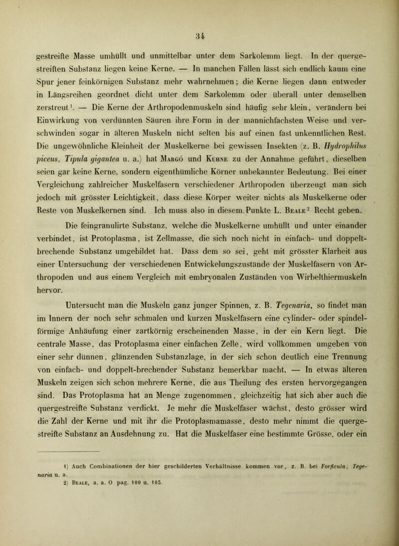 gestreifte Masse umhüllt und unmittelbar unter dem Sarkolemm liegt. In der querge- streiften Substanz liegen keine Kerne. — In manchen Fällen lässt sich endlich kaum eine Spur jener feinkörnigen Substanz mehr wahrnehmen; die Kerne liegen dann entweder in Längsreihen geordnet dicht unter dem Sarkolemm oder überall unter demselben zerstreut1. — Die Kerne der Arthropodenmuskeln sind häufig sehr klein, verändern bei Einwirkung von verdünnten Säuren ihre Form in der mannichfachsten Weise und ver- schwunden sogar in älteren Muskeln nicht selten bis auf einen fast unkenntlichen Rest. Die ungewöhnliche Kleinheit der Muskelkerne bei gewissen Insekten (z. B. Hydrophilus piceus, Tipula giganlea u. a.) hat Margö und Kühae zu der Annahme geführt , dieselben seien gar keine Kerne, sondern eigenthümliche Körner unbekannter Bedeutung. Bei einer Vergleichung zahlreicher Muskelfasern verschiedener Arthropoden überzeugt man sich jedoch mit grösster Leichtigkeit, dass diese Körper weiter nichts als Muskelkerne oder Reste von Muskelkernen sind. Ich muss also in diesem Punkte L. Beale2 Recht geben. Die feingranulirte Substanz, welche die Muskelkerne umhüllt und unter einander verbindet, ist Protoplasma, ist Zellmasse, die sich noch nicht in einfach- und doppelt- brechende Substanz umgebildet hat. Dass dem so sei, geht mit grösster Klarheit aus einer Untersuchung der verschiedenen Entwickelungszustände der Muskelfasern von Ar- thropoden und aus einem Vergleich mit embryonalen Zuständen von Wirbelthiermuskeln hervor. Untersucht man die Muskeln ganz junger Spinnen, z. B. Tegcnaria, so findet man im Innern der noch sehr schmalen und kurzen Muskelfasern eine cylinder- oder spindel- förmige Anhäufung einer zartkörnig erscheinenden Masse, in der ein Kern liegt. Die centrale Masse, das Protoplasma einer einfachen Zelle, wird vollkommen umgeben von einer sehr dünnen, glänzenden Substanzlage, in der sich schon deutlich eine Trennung von einfach- und doppelt-brechender Substanz bemerkbar macht. — In etw'as älteren Muskeln zeigen sich schon mehrere Kerne, die aus Theilung des ersten hervorgegangen sind. Das Protoplasma hat an Menge zugenommen, gleichzeitig hat sich aber auch die quergestreifte Substanz verdickt. Je mehr die Muskelfaser wächst , desto grösser wird die Zahl der Kerne und mit ihr die Protoplasmamasse, desto mehr nimmt die querge- streifte Substanz an Ausdehnung zu. Hat die Muskelfaser eine bestimmte Grösse, oder ein 1) Auch Combinationen der hier geschilderten Verhältnisse kommen vor, z. B. bei Forficula, Tege- naria u. a. 2) Beale, a. a. 0 pag. 100 u. 105.