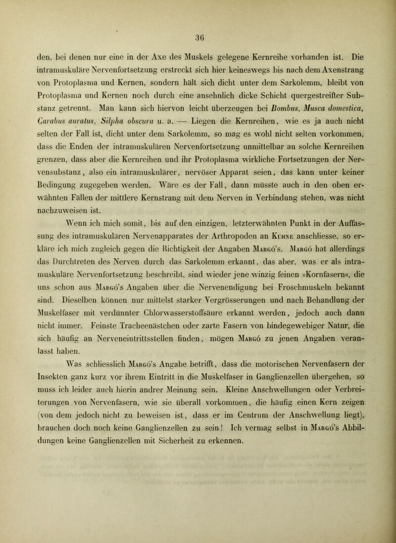 den, bei denen nur eine in der Axe des Muskels gelegene Kernreihe vorhanden ist. Die intramuskuläre Nervenfortsetzung erstreckt sich hier keineswegs bis nach dem Axenstrang von Protoplasma und Kernen, sondern hält sich dicht unter dem Sarkolemm, bleibt von Protoplasma und Kernen noch durch eine ansehnlich dicke Schicht quergestreifter Sub- stanz getrennt. Man kann sich hiervon leicht überzeugen bei Bombus, Musca domestica, Carabus auratus, Silpha obscura u. a. — Liegen die Kernreihen, wie es ja auch nicht selten der Fall ist, dicht unter dem Sarkolemm, so mag es wohl nicht selten Vorkommen, dass die Enden der intramuskulären Nervenfortsetzung unmittelbar an solche Kernreihen grenzen, dass aber die Kernreihen und ihr Protoplasma wirkliche Fortsetzungen der Ner- vensubstanz, also ein intramuskulärer, nervöser Apparat seien, das kann unter keiner Bedingung zugegeben werden. Wäre es der Fall, dann müsste auch in den oben er- wähnten Fällen der mittlere Kernstrang mit dem Nerven in Verbindung stehen, was nicht nachzuweisen ist. Wenn ich mich somit, bis auf den einzigen, letzterwähnten Punkt in der Auffas- sung des intramuskulären Nervenapparates der Arthropoden an Kühne anschliesse, so er- kläre ich mich zugleich gegen die Richtigkeit der Angaben Margö’s. Margö hat allerdings das Durchtreten des Nerven durch das Sarkolemm erkannt , das aber, was er als intra- muskuläre Nervenfortsetzung beschreibt, sind wieder jene winzig feinen »Kornfasern«, die uns schon aus Margö’s Angaben über die Nervenendigung bei Froschmuskeln bekannt sind. Dieselben könuen nur mittelst starker Vergrösserungen und nach Behandlung der Muskelfaser mit verdünnter Chlorwasserstoffsäure erkannt werden, jedoch auch dann nicht immer. Feinste Tracheenästchen oder zarte Fasern von bindegewebiger Natur, die sich häufig an Nerveneintrittsstellen finden, mögen Margö zu jenen Angaben veran- lasst haben. Was schliesslich Margö’s Angabe betrifft, dass die motorischen Nervenfasern der Insekten ganz kurz vor ihrem Eintritt in die Muskelfaser in Ganglienzellen übergehen, so muss ich leider auch hierin andrer Meinung sein. Kleine Anschwellungen oder Verbrei- terungen von Nervenfasern, wie sie überall Vorkommen, die häufig einen Kern zeigen (von dem jedoch nicht zu beweisen ist, dass er im Centrum der Anschwellung liegt), brauchen doch noch keine Ganglienzellen zu sein! Ich vermag selbst in Margö’s Abbil- dungen keine Ganglienzellen mit Sicherheit zu erkennen.