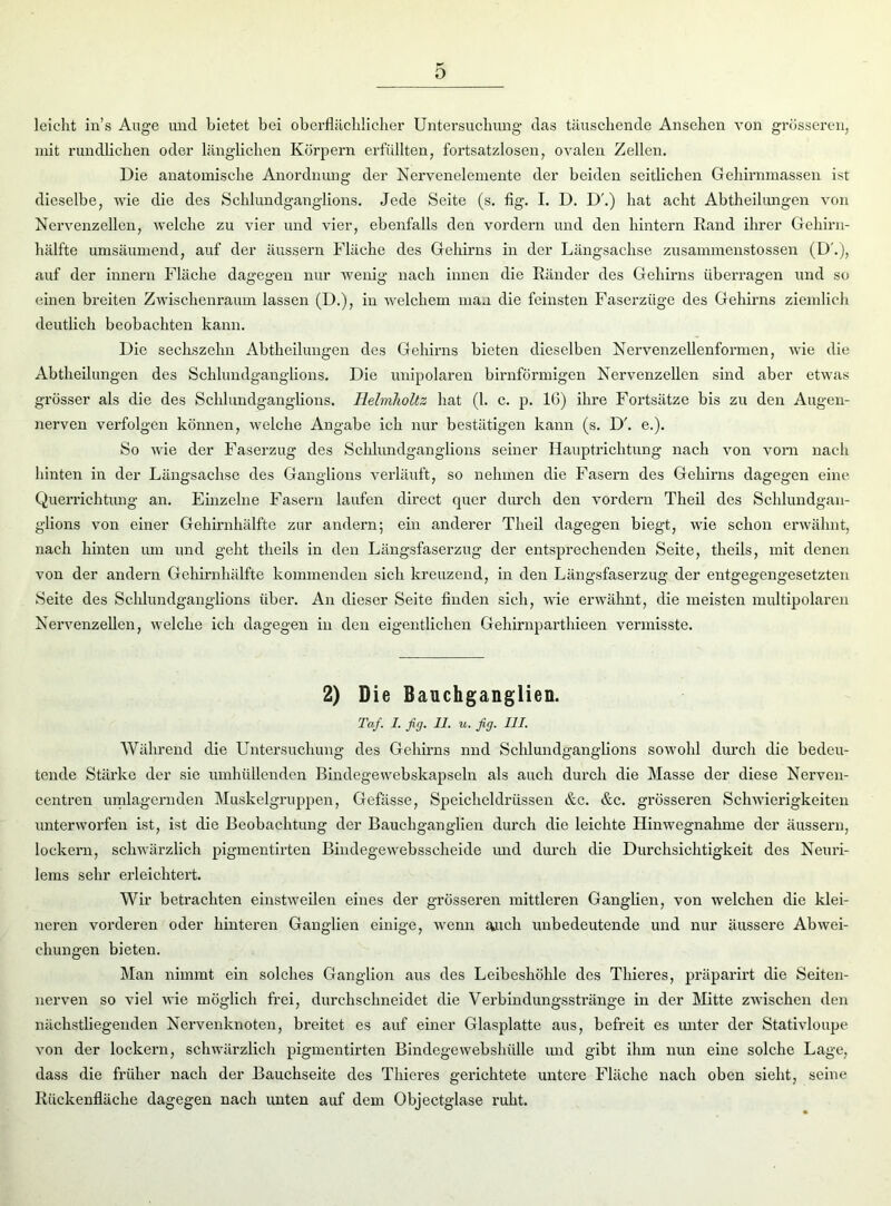 leicht in’s Auge und bietet bei oberflächlicher Untersuchung das täuschende Ansehen von grösseren, mit rundlichen oder länglichen Körpern erfüllten, fortsatzlosen, ovalen Zellen. Die anatomische Anordnung der Nervenelemente der beiden seitlichen Gehirnmassen ist dieselbe, wie die des Schlundganglions. Jede Seite (s. fig. I. D. D'.) hat acht Abtheilungen von Nervenzellen, welche zu vier und vier, ebenfalls den vordem und den hintern Rand ihrer Gehirn- hälfte umsäumend, auf der äussern Fläche des Gehirns in der Längsachse zusannnenstossen (D\), auf der innern Fläche dagegen nur wenig nach innen die Ränder des Gehirns überragen und so einen breiten Zwischenraum lassen (D.), in welchem man die feinsten Faserzüge des Gehirns ziemlich deutlich beobachten kann. Die sechszehn Abtheilungen des Gehirns bieten dieselben Nervenzellenformen, wie die Abtheilungen des Schlundganglions. Die unipolaren bimförmigen Nervenzellen sind aber etwas grösser als die des Schhmdganglions. Helmholtz hat (1. c. p. 10) ihre Fortsätze bis zu den Augen- nerven verfolgen können, welche Angabe ich nur bestätigen kann (s. D'. e.). So wie der Faserzug des Schhmdganglions seiner Hauptrichtung nach von vorn nach hinten in der Längsachse des Ganglions verläuft, so nehmen die Fasern des Gehirns dagegen eine Querrichtung an. Einzelne Fasern laufen direct quer durch den vordem Theil des Schlundgan- glions von einer Gehirnhälfte zur andern; ein anderer Theil dagegen biegt, wie schon erwähnt, nach hinten um und geht theils in den Längsfaserzug der entsprechenden Seite, theils, mit denen von der andern Gehirnhälfte kommenden sich kreuzend, in den Längsfaserzug der entgegengesetzten Seite des Schlundganglions über. An dieser Seite finden sich, wie erwähnt, die meisten multipolaren Nervenzellen, welche ich dagegen in den eigentlichen Gehirnparthieen vermisste. 2) Die Bauchganglien. Taf. I. fig. 11. u. fig. III. Während die Untersuchung des Gehirns nnd Schlundganglions sowohl durch die bedeu- tende Stärke der sie umhüllenden Bindegewebskapscln als auch durch die Masse der diese Nerven- centren umlagernden Muskelgruppen, Gefässe, Speicheldrüssen &c. &c. grösseren Schwierigkeiten unterworfen ist, ist die Beobachtung der Bauchganglien durch die leichte Hinwegnahme der äussern, lockern, schwärzlich pigmentirten Bindegewebsscheide und durch die Durchsichtigkeit des Neuri- lems sehr erleichtert. Wir betrachten einstweilen eines der grösseren mittleren Ganglien, von welchen die klei- neren vorderen oder hinteren Ganglien einige, wenn auch unbedeutende und nur äussere Abwei- chungen bieten. Man nimmt ein solches Ganglion aus des Leibeshöhle des Thieres, präparirt die Seiten- nerven so viel wie möglich frei, durchschneidet die Verbindungsstränge in der Mitte zwischen den nächstliegenden Nervenknoten, breitet es auf einer Glasplatte aus, befreit es unter der Stativloupe von der lockern, schwärzlich pigmentirten Bindegewebshülle und gibt ihm nun eine solche Lage, dass die früher nach der Bauchseite des Thieres gerichtete untere Fläche nach oben sieht, seine Rückenfläche dagegen nach unten auf dem Objectglase ruht.