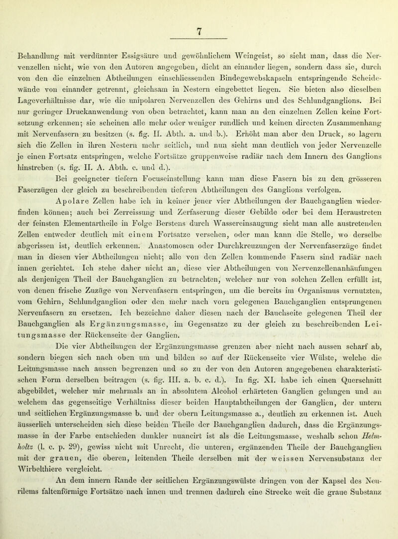 Behandlung mit verdünnter Essigsäure und gewöhnlichem Weingeist, so sieht man, dass die Ner- venzellen nicht, wTie von den Autoren angegeben, dicht an einander liegen, sondern dass sie, durch von den die einzelnen Abtheilungen einschliessenden Bindegewebskapseln entspringende Scheide- wände von einander getrennt, gleichsam in Nestern eingebettet liegen. Sie bieten also dieselben Lageverhältnisse dar, wie die unipolaren Nervenzellen des Gehirns und des Schlundganglions. Bei nur geringer Druckanwendung von oben betrachtet, kann man an den einzelnen Zellen keine Fort- setzung erkennen; sie scheinen alle mehr oder weniger rundlich und keinen directen Zusammenhang mit Nervenfasern zu besitzen (s. fig. II. Abth. a. und b.). Erhöht man aber den Druck, so lagern sich die Zellen in ihren Nestern mehr seitlich, und nun sieht man deutlich von jeder Nervenzelle je einen Fortsatz entspringen, welche Fortsätze gruppenweise radiär nach dem Innern des Ganglions hinstreben (s. hg. II. A. Abth. c. und d.). Bei geeigneter tiefem Focuseinstellung kann man diese Fasern bis zu den grösseren Faserzügen der gleich zu beschreibenden tieferen Abtheilungen des Ganglions verfolgen. Apolare Zellen habe ich in keiner jener vier Abtheilungen der Bauchganglien wieder- hnden können; auch bei Zerreissung und Zerfaserung dieser Gebilde oder bei dem Heraustreten der feinsten Elementartheile in Folge Berstens durch Wassereinsaugung sieht man alle austretenden Zellen entweder deutlich mit einem Fortsatze versehen, oder man kann die Stelle, wo derselbe abgerissen ist, deutlich erkennen. Anastomosen oder Durchkreuzungen der Nervenfaserzüge findet man in diesen vier Abtheilungen nicht; alle von den Zellen kommende Fasern sind radiär nach innen gerichtet. Ich stehe daher nicht an, diese vier Abtheilungen von Nervenzellenanhäufungen als denjenigen Theil der Bauchganglien zu betrachten, welcher nur von solchen Zellen erfüllt ist, von denen frische Zuzüge von Nervenfasern entspringen, um die bereits im Organismus vernutzten, vom Gehirn, Schlundganglion oder den mehr nach vorn gelegenen Bauchganglien entsprungenen Nervenfasern zu ersetzen. Ich bezeichne daher diesen nach der Bauchseite gelegenen Theil der Bauchganglien als Ergänzungsmasse, im Gegensätze zu der gleich zu beschreibenden Lei- tungsmasse der Rückenseite der Ganglien. Die vier Abtheilungen der Ergänzungsmasse grenzen aber nicht nach aussen scharf ab, sondern biegen sich nach oben um und bilden so auf der Rückenseite vier Wülste, -welche die Leitungsmasse nach aussen begrenzen und so zu der von den Autoren angegebenen charakteristi- schen Form derselben beitragen (s. fig. III. a. b. c. d.). In fig. XL habe ich einen Querschnitt abgebildet, -welcher mir mehrmals an in absolutem Alcohol erhärteten Ganglien gelungen und an welchem das gegenseitige Verhältnis dieser beiden Hauptabtheilungen der Ganglien, der untern und seitlichen Ergänzungsmasse b. und der obern Leitungsmasse a., deutlich zu erkennen ist. Auch äusserlich unterscheiden sich diese beiden Tlieile der Bauchganglien dadurch, dass die Ergänzungs- masse in der Farbe entschieden dunkler nuancirt ist als die Leitungsmasse, weshalb schon Hebn- lioltz (1. c. p. 29), gewiss nicht mit Unrecht, die unteren, ergänzenden Tlieile der Bauchganglien mit der grauen, die oberen, leitenden Theile derselben mit der weissen Nervensubstanz der Wirbelthiere vergleicht. An dem innern Rande der seitlichen Ergänzungswülste dringen von der Kapsel des Neu- rilems faltenförmige Fortsätze nach innen und trennen dadurch eine Strecke weit die graue Substanz