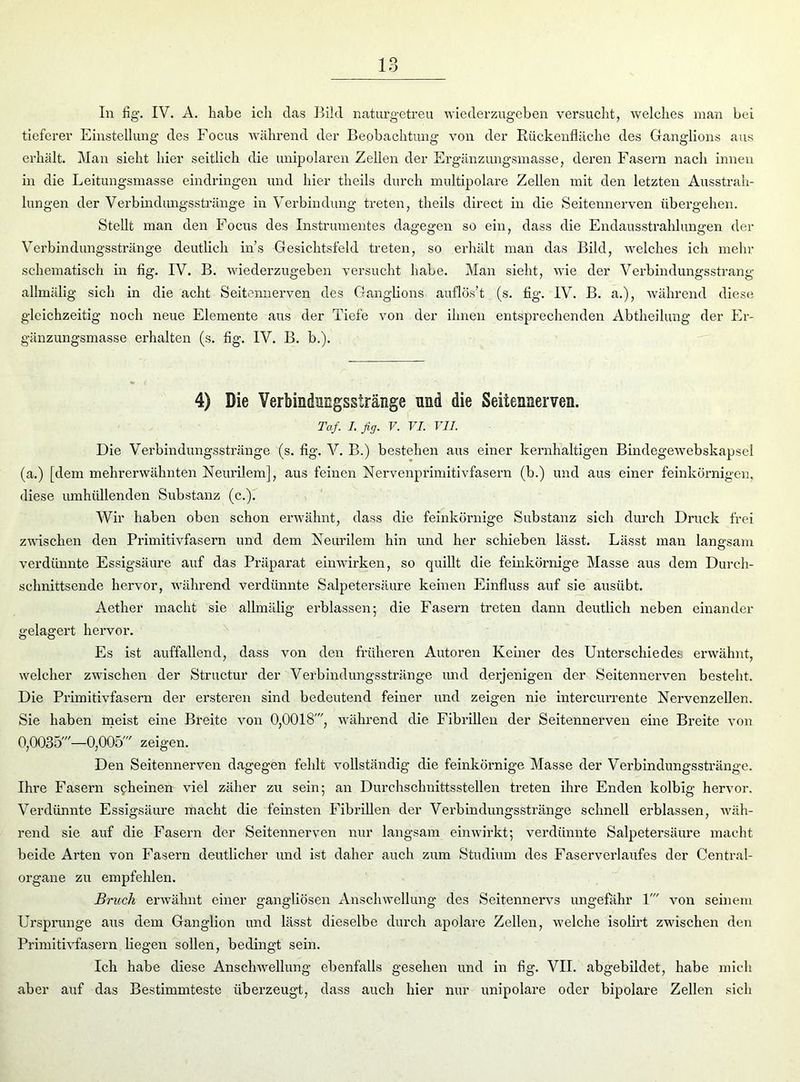 In fig. IV. A. habe ich das Bild naturgetreu wiederzugeben versucht, welches man bei tieferer Einstellung des Focus während der Beobachtung von der Rückenfläche des Ganglions aus erhält. Man sieht hier seitlich die unipolaren Zellen der Ergänzungsmasse, deren Fasern nach innen in die Leitungsmasse eindringen und hier tlieils durch multipolare Zellen mit den letzten Ausstrah- lungen der Verbindungsstränge in Verbindung treten, tlieils direct in die Seitennerven übergehen. Stellt man den Focus des Instrumentes dagegen so ein, dass die Endausstrahlungen der Verbindungsstränge deutlich ins Gesichtsfeld treten, so erhält man das Bild, welches ich mehr schematisch in fig. IV. B. wiederzugeben versucht habe. Man sieht, wie der Verbindungsstrang allmälig sich in die acht Seitennerven des Ganglions auflös’t (s. fig. IV. B. a.), während diese gleichzeitig noch neue Elemente aus der Tiefe von der ihnen entsprechenden Abtheilung der Er- gänzungsmasse erhalten (s. fig. IV. B. b.). 4) Die Verbindnngsstränge und die Seitemerven. Taf. I. fig. V. VI. TU. Die Verbindungsstränge (s. fig. V. B.) bestehen aus einer kernhaltigen Bindegewebskapsel (a.) [dem mehrerwähnten Neurilem], aus feinen Nervenprimitivfasern (b.) und aus einer feinkörnigen, diese umhüllenden Substanz (c.). Wir haben oben schon erwähnt, dass die feinkörnige Substanz sich durch Druck frei zwischen den Primitivfasern und dem Neurilem hin und her schieben lässt. Lässt man langsam verdünnte Essigsäure auf das Präparat einwirken, so quillt die feinkörnige Masse aus dem Durch- schnittsende hervor, während verdünnte Salpetersäure keinen Einfluss auf sie ausübt. Aether macht sie allmälig erblassen; die Fasern treten dann deutlich neben einander gelagert hervor. Es ist auffallend, dass von den früheren Autoren Keiner des Unterschiedes erwähnt, welcher zwischen der Structur der Verbindungsstränge und derjenigen der Seitennerven besteht. Die Primitivfasern der ersteren sind bedeutend feiner und zeigen nie intercurrente Nervenzellen. Sie haben meist eine Breite von 0,0018', während die Fibrillen der Seitennerven eine Breite von 0,0035'—0,005' zeigen. Den Seitennerven dagegen fehlt vollständig die feinkörnige Masse der Verbindungsstränge. Ihre Fasern scheinen viel zäher zu sein; an Durchschnittsstellen treten ihre Enden kolbig hervor. Verdünnte Essigsäure macht die feinsten Fibrillen der Verbindungsstränge schnell erblassen, wäh- rend sie auf die Fasern der Seitennerven nur langsam einwirkt; verdünnte Salpetersäure macht beide Arten von Fasern deutlicher und ist daher auch zum Studium des Faserverlaufes der Central- organe zu empfehlen. Bruch erwähnt einer gangliösen Anschwellung des Seitennervs ungefähr 1' von seinem Ursprünge aus dem Ganglion und lässt dieselbe durch apolare Zellen, welche isolirt zwischen den Primitivfasern liegen sollen, bedingt sein. Ich habe diese Anschwellung ebenfalls gesehen und in fig. VII. abgebildet, habe mich aber auf das Bestimmteste überzeugt, dass auch hier nur unipolare oder bipolare Zellen sich