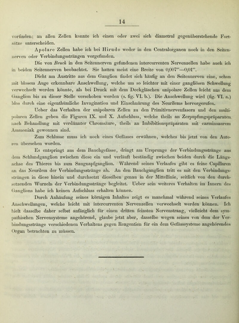 vorfinden; an allen Zellen konnte ich einen oder zwei sich diametral gegenüberstehende Fort- sätze unterscheiden. Apolare Zellen habe ich bei Hirudo weder in den Centralorganen noch in den Seiten- nerven oder Verbindungssträngen vorgefunden. Die von Bruch in den Seitennerven gefundenen intercurrenten Nervenzellen habe auch ich in beiden Seitennerven beobachtet. Sie hatten meist eine Breite von 0,007'—0,01'. Dicht am Austritte aus dem Ganglion findet sich häufig an den Seitennerven eine, schon mit blosem Auge erkennbare Anschwellung, welche um so leichter mit einer gangliösen Schwellung verwechselt werden könnte, als bei Druck mit dem Deckgläschen unipolare Zellen leicht aus dem Ganglion bis zu dieser Stelle verschoben werden (s. fig. VI. b.). Die Anschwellung wird (fig. VI. a.) blos durch eine eigenthümliche Invagination und Einschnürung des Neurilems hervorgerufen. Ueber das Verhalten der unipolaren Zellen zu den Primitivnervenfasern und den multi- polaren Zellen geben die Figuren IX. und X. Aufschluss, welche theils an Zerpupfungspräparaten nach Behandlung mit verdünnter Chromsäure, theils an Imbibitionspräparaten mit carminsaurem Ammoniak gewonnen sind. Zum Schlüsse muss ich noch eines Gefässes erwähnen, welches bis jetzt von den Auto- ren übersehen worden. Es entspringt aus dem Bauchgefässe, dringt am Ursprünge der Verbindungsstränge aus dem Schlundganglion zwischen diese ein und verläuft beständig zwischen beiden durch die Längs- achse des Thieres bis zum Saugnapfganglion. Während seines Verlaufes gibt es feine Capillaren an das Neurilem der Verbindungsstränge ab. An den Bauchganglien tritt es mit den Verbindungs- strängen in diese hinein und durchsetzt dieselben genau in der Mittellinie, seitlich von den durch- setzenden Wurzeln der Verbindungsstränge begleitet. Ueber sein weiteres Verhalten im Innern des Ganglions habe ich keinen Aufschluss erhalten können. Durch Anhäufung seines körnigen Inhaltes zeigt es manchmal während seines Verlaufes Anschwellungen, welche leicht mit intercurrenten Nei’venzellen verwechselt werden können. Ich hielt dasselbe daher selbst anfänglich für einen dritten feinsten Nervenstrang, vielleicht dem sym- pathischen Nervensysteme angehörend, glaube jetzt aber, dasselbe wegen seines von dem der Ver- bindungsstränge verschiedenen Verhaltens gegen Reagentien für ein dem Gefässsysteme angehörendes Organ betrachten zu müssen. i.