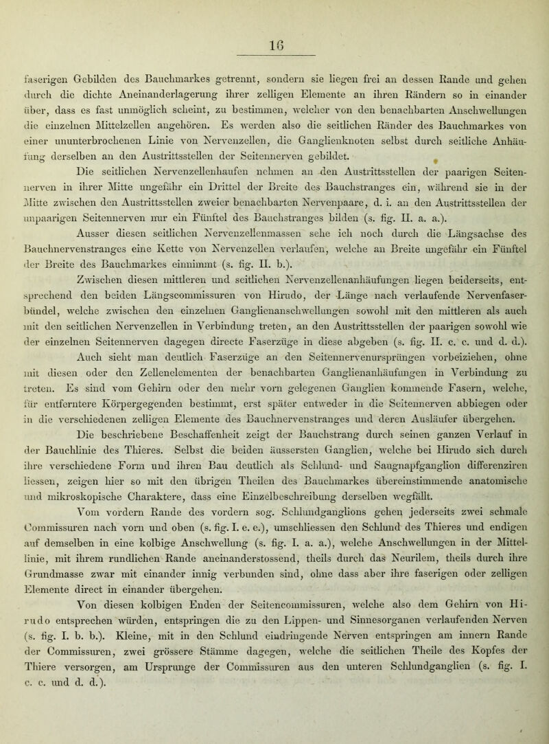faserigen Gebilden des Bauchmarkes getrennt, sondern sie liegen frei an dessen Bande und geben durch die dichte Aneinanderlagerung ihrer zelligen Elemente an ihren Bändern so in einander über, dass es fast unmöglich scheint, zu bestimmen, welcher von den benachbarten Anschwellungen die einzelnen Mittelzellen angehören. Es werden also die seitlichen Bänder des Bauchmarkes von einer ununterbrochenen Linie von Nervenzellen, die Ganglienknoten selbst durch seitliche Anhäu- fung derselben an den Austrittssteilen der Seitennerven gebildet. Die seitlichen Nervenzellenhaufen nehmen an den Austrittsstellen der paarigen Seiten- nerven in ihrer Mitte ungefähr ein Drittel der Breite des Bauchstranges ein, während sie in der Mitte zwischen den Austrittsstellen zweier benachbarten Nervenpaare, d. i. an den Austrittsstellen der unpaarigen Seitennerven nur ein Fünftel des Bauchstranges bilden (s. hg. II. a. a.). Ausser diesen seitlichen Nervenzellenmassen sehe ich noch durch die Längsachse des Bauchnervenstranges eine Kette von Nervenzellen verlaufen, welche an Breite ungefähr ein Fünftel der Breite des Bauchmarkes einnimmt (s. hg. II. b.). Zwischen diesen mittleren und seitlichen Nervenzellenanhäufungen liegen beiderseits, ent- sprechend den beiden Längscommissuren von Hirudo, der Länge nach verlaufende Nervenfaser- bündel, welche zwischen den einzelnen Ganglienanschwellungen sowohl mit den mittleren als auch mit den seitlichen Nervenzellen in Verbindung treten, an den Austrittsstellen der paarigen sowohl wie der einzelnen Seitennerven dagegen directe Faserzüge in diese abgeben (s. hg. II. c. c. und d. d.). Auch sieht man deutlich Faserzüge an den Seitennervenurspriingen vorbeiziehen, ohne mit diesen oder den Zellenelementen der benachbarten Ganglienanhäufungen in Verbindung zu treten. Es sind vom Gehirn oder den mehr vorn gelegenen Ganglien kommende Fasern, welche, für entferntere Körpergegenden bestimmt, erst später entweder in die Seitennerven abbiegen oder in die verschiedenen zelligen Elemente des Bauchnervenstranges und deren Ausläufer übergehen. Die beschriebene Beschaffenheit zeigt der Bauchstrang durch seinen ganzen Verlauf in der Bauchlinie des Tliieres. Selbst die beiden äussersten Ganglien, welche bei Hirudo sich durch ihre verschiedene Form und ihren Bau deutlich als Schlund- und Saugnapfganghon differenziren liessen, zeigen hier so mit den übrigen Theilen des Bauchmarkes übereinstimmende anatomische und mikroskopische Charaktere, dass eine Einzelbeschreibung derselben wegfällt. Vom vordem Bande des vordem sog. Schlundganglions gehen jederseits zwei schmale Oommissuren nach vorn und oben (s. fig. I. e. e.), umschliessen den Schlund des Thieres und endigen auf demselben in eine kolbige Anschwellung (s. fig. I. a. a.), welche Anschwellungen in der Mittel- linie, mit ihrem rundlichen Bande aneinanderstossend, theils durch das Neurilem, tlieils durch ihre Grundmasse zwar mit einander innig verbunden sind, ohne dass aber ihre faserigen oder zelligen Elemente direct in einander übergehen. Von diesen kolbigen Enden der Seitencommissuren, welche also dem Gehirn von Hi- rudo entsprechen würden, entspringen die zu den Lippen- und Sinnesorganen verlaufenden Nerven (s. fig. I. b. b.). Kleine, mit in den Schlund eiudringende Nerven entspringen am innern Bande der Commissuren, zwei grössere Stämme dagegen, welche die seitlichen Theile des Kopfes der Thiere versorgen, am Ursprünge der Commissuren aus den unteren Schlundganglien (s. fig. I. c. c. und d. d.).