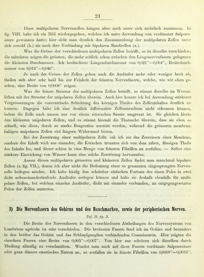 Diese multipolaren Nervenzellen hängen aber auch unter sich mehrfach zusammen, ln hg. VIII. habe ich ein Bild wiedergegeben, -welches ich unter Anwendung von verdünnter Salpeter- säure gewonnen hatte; hier sieht man deutlich den Zusammenhang der multipolaren Zellen unter sich sowohl (b.) als auch ihre Verbindung mit bipolaren Randzellen (a.). Was die Grösse der verschiedenen multipolaren Zellen betrifft, so ist dieselbe verschieden: die mittelsten zeigen die grössten, die mehr seitlich schon zwischen den Längsnervenfasern gelegenen die kleinsten Durchmesser. Ich beobachtete Längendurchmesser von 0,021—0,064', Breitedurch- messer von 0,014'—0,046'. Je nach der Grösse der Zellen gehen auch die Ausläufer mehr oder weniger breit ab, theilen sich aber sehr bald bis zur Feinheit der feinsten Nervenfasern, welche, wie wir oben ge- sehen, eine Breite von 0,0008' zeigen. Was die feinste Structur der multipolaren Zellen betrifft, so stimmt dieselbe im Wesent- lichen mit der Structur der unipolaren Zellen überein. Auch hier konnte ich bei Anwendung stärkerer Vergrösserungen die concentrische Schichtung des körnigen Theiles des Zelleninhaltes deutlich er- kennen. Dagegen habe ich eine deutlich differenzirte Zellenmembran nicht erkennen können, indem die Zelle nach aussen nur von einem schwachen Saume umgrenzt ist. Sie gleichen hierin den kleineren unipolaren Zellen, und es stimmt hiermit die Thatsache überein, dass sie eben so schnell, wie diese, durch zu starke Reagentien zerstört werden, während die grösseren membran- haltigen unipolaren Zellen viel längern Widerstand bieten. Bei der Zerstörung einer multipolaren Zelle sah ich nie das Zerreissen einer Membran, sondern der Inhalt wich aus einander, die Körnchen trennten sich von dem zähen, flüssigen Tlieile des Inhalts los, und dieser schien in eine Menge von feinsten Fibrillen zu zerfallen. — Selbst eine stärkere Einwirkung von Wasser kann eine solche Zerstörung hervorrufen. Ausser diesen multipolaren grösseren und kleineren Zellen findet man manchmal bipolare Zellen (s. fig. VII.), denen ich aber nicht die Bedeutung einer so genannten eingesprengten Nerven- zelle beilegen möchte. Ich habe häufig den scheinbar einfachen Fortsatz des einen Poles in zwei dicht nebeneinanderlaufende Ausläufer zerlegen können und halte sie deshalb ebenfalls für multi- polare Zellen, bei welchen einzelne Ausläufer, dicht mit einander verbunden, an entgegengesetzten Polen der Zellen austreten. 3) Die Nervenfasern des Gehirns nnd des Bauchmarkes, sowie der peripherischen Nerven. Taf 11. fig. X. Die Breite der Nervenfasern in den verschiedenen Abtheilungen des Nervensystems von Lumbricus agricola ist sehr verschieden. Die breitesten Fasern fand ich im Gehirn und besonders in den beiden das Gehirn und das Schlundganglion verbindenden Commissiu’en. Hier zeigten die einzelnen Fasern eine Breite von 0,005'—0,007'. Von hier aus scheinen sich dieselben durch Theilung allmälig zu verschmälern. Wendet man auch auf diese Fasern verdünnte Salpetersäure oder ganz dünnes caustisches Natron an, so zerfallen sie in feinste Fibrillen von 0,0008'—0,0016'.
