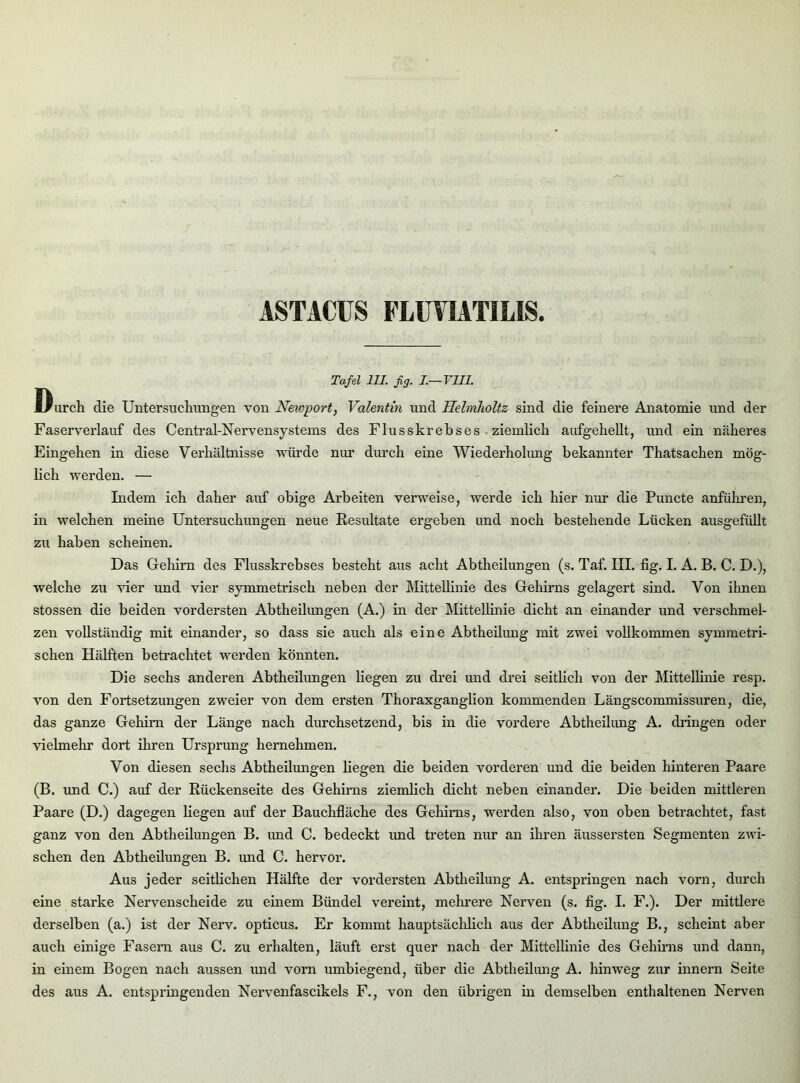 ASTACUS FLUVIATILIS Tafel 111. ßg. l.—VIIL Durch die Untersuchungen von Newport, Valentin und Helmholtz sind die feinere Anatomie und der Faserverlauf des Central-Nervensystems des Flusskrebses ziemlich aufgehellt, und ein näheres Eingehen in diese Verhältnisse würde nur durch eine Wiederholung bekannter Thatsachen mög- lich werden. —• Indem ich daher auf obige Arbeiten verweise, werde ich hier nur die Puncte anführen, in welchen meine Untersuchungen neue Resultate ergeben und noch bestehende Lücken ausgefüllt zu haben scheinen. Das Gehirn des Flusskrebses besteht aus acht Abtheilungen (s. Taf. III. fig. I. A. B. C. D.), welche zu vier und vier symmetrisch neben der Mittellinie des Gehirns gelagert sind. Von ihnen stossen die beiden vordersten Abtheilungen (A.) in der Mittellinie dicht an einander und verschmel- zen vollständig mit einander, so dass sie auch als eine Abtheilung mit zwei vollkommen symmetri- schen Hälften betrachtet werden könnten. Die sechs anderen Abtheilungen liegen zu drei und drei seitlich von der Mittellinie resp. von den Fortsetzungen zweier von dem ersten Thoraxganglion kommenden Längscommissuren, die, das ganze Gehirn der Länge nach durchsetzend, bis in die vordere Abtheilung A. dringen oder vielmehr dort ihren Ursprung hernehmen. Von diesen sechs Abtheilungen liegen die beiden vorderen und die beiden hinteren Paare (B. und C.) auf der Rückenseite des Gehirns ziemlich dicht neben einander. Die beiden mittleren Paare (D.) dagegen liegen auf der Bauchfläche des Gehirns, werden also, von oben betrachtet, fast ganz von den Abtheilungen B. imd C. bedeckt und treten nur an ihren äussersten Segmenten zwi- schen den Abtheilungen B. und C. hervor. Aus jeder seitlichen Hälfte der vordersten Abtheilung A. entspringen nach vorn, durch eine starke Nervenscheide zu einem Bündel vereint, mehrere Nerven (s. fig. I. F.). Der mittlere derselben (a.) ist der Nerv, opticus. Er kommt hauptsächlich aus der Abtheilung B., scheint aber auch einige Fasern aus C. zu erhalten, läuft erst quer nach der Mittellinie des Gehirns und dann, in einem Bogen nach aussen und vorn umbiegend, über die Abtheilung A. hinweg zur innern Seite des aus A. entspringenden Nervenfascikels F., von den übrigen in demselben enthaltenen Nerven
