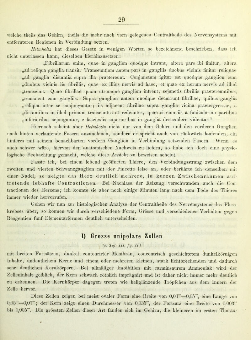 welche theils das Gehirn, theils die mehr nach voim gelegenen Centraltheilc des Nervensystems mit entfernteren Kegionen in Verbindung setzen. Helmholtz hat dieses Gesetz in wenigen Worten so bezeichnend beschrieben, dass ich nicht unterlassen kann, dieselben hierhinzusetzen: „Fibrillarum enim, quae in ganglion quodque intrant, altera pars ibi finitur, altera „ad reliqua ganglia transit. Transeuntiiun autem pars in gangliis duobus vicinis finitur reliquae „ad ganglia distantia supra illa praetereunt. Conjunctum igitur est quodque ganglion cum „duobus vicinis iis fibrillis, quae ex illius nervis ad haec, et quae ex horum nervis ad illud „transeunt. Quae fibrillae quum utrumque ganglion intrent, sejunctis fibrillis praetereuntibus, „remanent cum gangliis. Supra ganglion autem quodque decurrunt fibrillae, quibus ganglia „reliqua inter se conjunguntur; iis adjacent fibrillae supra ganglia vicina praetergressae, a „distantibus in illud primum transeuntes et redeuntes, quae si cum iis a fuuiculorum partibus „inferioribus sejunguntur, e fasciculis superioribus in ganglia descendere videntur.“ Hiernach scheint aber Helmholtz nicht nur von dem Gehirn und den vorderen Ganglien nach hinten verlaufende Fasern anzunehmen, sondern er spricht auch von rückwärts laufenden, ein hinteres mit seinem benachbarten vordem Ganglion in Verbindung setzenden Fasern. Wenn es auch schwer wäre, hiervon den anatomischen Nachweis zu liefern, so habe ich doch eine physio- logische Beobachtung gemacht, welche diese Ansicht zu beweisen scheint. Fasste ich, bei einem lebend geöffneten Tliiere, den Verbindungsstrang zwischen dem zweiten und vierten Schwanzganglion mit der Pincette leise an, oder berührte ich denselben mit einer Nadel, so zeigte das Herz deutlich mehrere, in kurzen Zwischenräumen auf- tretende lebhafte Contractionen. Bei Nachlass der Reizung verschwanden a\ich die Con- tractionen des Herzens; ich konnte sie aber noch einige Minuten lang nach dem Tode des Thieres immer wieder hervorrufen. Gehen wir nun zur histologischen Analyse der Centraltheile des Nervensystems des Fluss- krebses über, so können wir durch verschiedene Form, Grösse und verschiedenes Verhalten gegen Reagentien fünf Elementarformen deutlich unterscheiden. 1) Grosse unipolare Zellen (s. Taf. III. fig. II.) mit breiten Fortsätzen, dunkel contourirter Membran, concentriseh geschichtetem dunkelkörnigen Inhalte, undeutlichem Kerne und einem oder mehreren kleinen, stark lichtbrechenden und dadurch sehr deutlichen Kernkörpern. Bei allmäliger Imbibition mit carminsaurem Ammoniak wird der Zellcninhalt gelblich, der Kern schwach röthlieh imprägnirt und ist daher nicht immer mehr deutlich zu erkennen. Die Kernkörper dagegen treten wie hellglänzende Tröpfchen aus dem Innern der Zelle hervor. Diese Zellen zeigen bei meist ovaler Form eine Breite von 0,03'—0,05', eine Länge von 0,05'—0,07'; der Kern zeigt einen Durchmesser von 0,035', der Fortsatz eine Breite von 0,003' bis 0,005'. Die grössten Zellen dieser Art fanden sich im Gehirn, die kleineren im ersten Thorax-