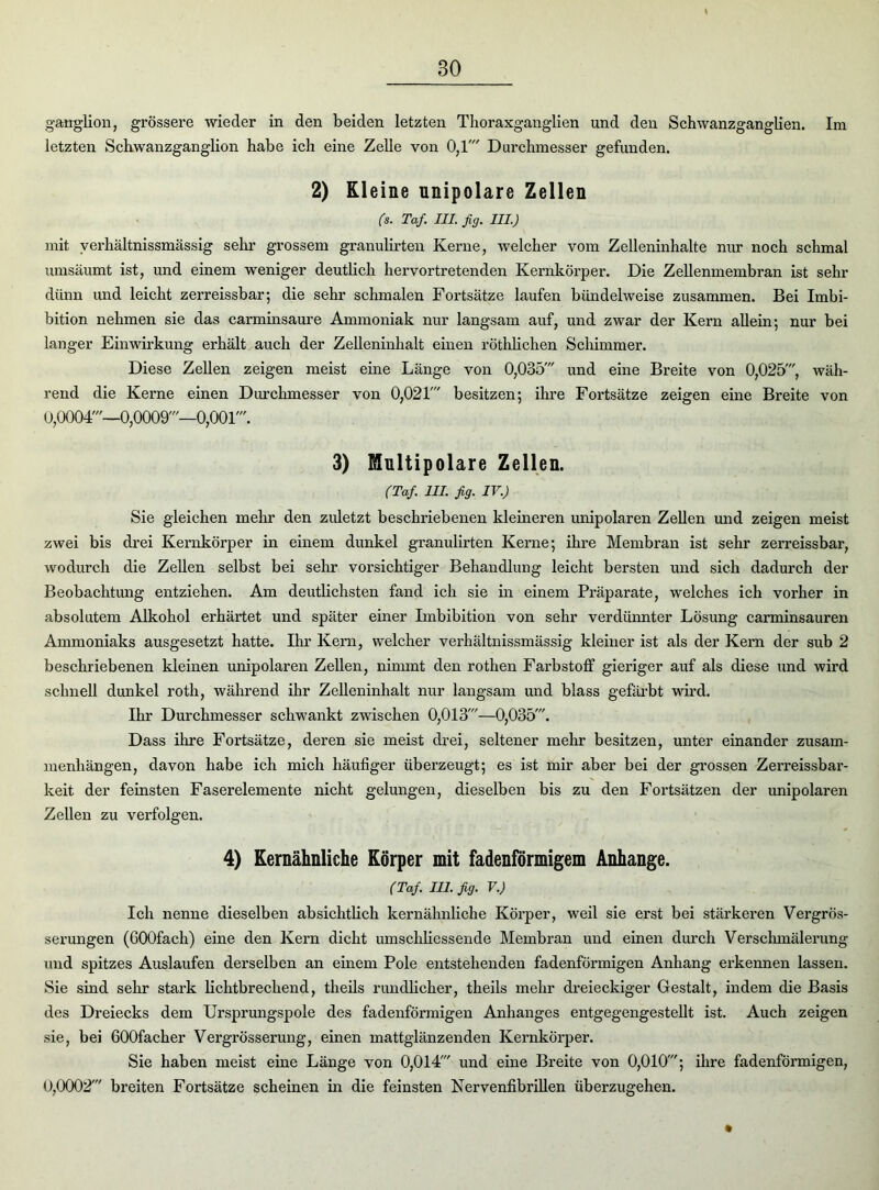 ganglion, grössere wieder in den beiden letzten Thoraxganglien und den Schwanzganglien. Im letzten Schwanzganglion habe ich eine Zelle von 0,1' Durchmesser gefunden. 2) Kleine unipolare Zellen (s. Taf III. fig. III.) mit verhältnissmässig sehr grossem granulirten Kerne, welcher vom Zelleninhalte nur noch schmal umsäumt ist, und einem weniger deutlich hervortretenden Kernkörper. Die Zellenmembran ist sehr dünn und leicht zerreissbar; die sehr schmalen Fortsätze laufen bündelweise zusammen. Bei Imbi- bition nehmen sie das carminsaure Ammoniak nur langsam auf, und zwar der Kern allein; nur bei langer Einwirkung erhält auch der Zelleninhalt einen röthlichen Schimmer. Diese Zellen zeigen meist eine Länge von 0,035' und eine Breite von 0,025', wäh- rend die Kerne einen Durchmesser von 0,021' besitzen; ihre Fortsätze zeigen eine Breite von 0,0004'—0,0009'—0,001'. 3) Multipolare Zellen. (Taf. III. fig. IV.) Sie gleichen mehr den zuletzt beschriebenen kleineren unipolaren Zellen und zeigen meist zwei bis drei Kernkörper in einem dunkel granulirten Kerne; ihre Membran ist sehr zerreissbar, wodurch die Zellen selbst bei sehr vorsichtiger Behandlung leicht bersten und sich dadurch der Beobachtung entziehen. Am deutlichsten fand ich sie in einem Präparate, welches ich vorher in absolutem Alkohol erhärtet und später einer Imbibition von sehr verdünnter Lösung carminsauren Ammoniaks ausgesetzt hatte. Ihr Kern, welcher verhältnissmässig kleiner ist als der Kern der sub 2 beschriebenen kleinen unipolaren Zellen, nimmt den rothen Farbstoff gieriger auf als diese und wird schnell dunkel roth, während ihr Zelleninhalt nur langsam und blass gefärbt wird. Ihr Durchmesser schwankt zwischen 0,013'—0,035'. Dass ihre Fortsätze, deren sie meist drei, seltener mehr besitzen, unter einander Zusam- menhängen, davon habe ich mich häufiger überzeugt; es ist mir aber bei der grossen Zerreissbar- keit der feinsten Faserelemente nicht gelungen, dieselben bis zu den Fortsätzen der unipolaren Zellen zu verfolgen. 4) Kernähnliche Körper mit fadenförmigem Anhänge. (Taf III. fig. V.) Ich nenne dieselben absichtlich kernähnliche Körper, weil sie erst bei stärkeren Vergrös- serungen (GOOfaeh) eine den Kern dicht umscliliessende Membran und einen durch Verschmälerung und spitzes Auslaufen derselben an einem Pole entstehenden fadenförmigen Anhang erkennen lassen. Sie sind sehr stark lichtbrechend, theils rundlicher, theils mehr dreieckiger Gestalt, indem die Basis des Dreiecks dem Ursprungspole des fadenförmigen Anhanges entgegengestellt ist. Auch zeigen sie, bei GOOfacher Vergrösserung, einen mattglänzenden Kernkörper. Sie haben meist eine Länge von 0,014' und eine Breite von 0,010'; ihre fadenförmigen, 0,0002' breiten Fortsätze scheinen in die feinsten Nervenfibrillen überzugehen.