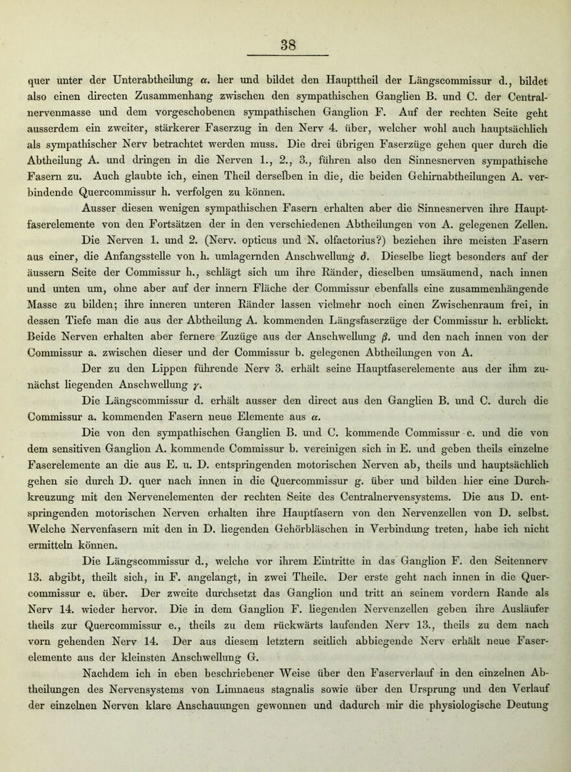 quer unter der Unterabtheilung a. her und bildet den Haupttheil der Längscommissur d., bildet also einen directen Zusammenhang zwischen den sympathischen Ganglien B. und C. der Centrai- nervenmasse und dem vorgeschobenen sympathischen Ganglion F. Auf der rechten Seite geht ausserdem ein zweiter, stärkerer Faserzug in den Nerv 4. über, welcher wohl auch hauptsächlich als sympathischer Nerv betrachtet werden muss. Die drei übrigen Faserzüge gehen quer durch die Abtheilung A. und dringen in die Nerven 1., 2., 3., führen also den Sinnesnerven sympathische Fasern zu. Auch glaubte ich, einen Theil derselben in die, die beiden Gehirnabtheilungen A. ver- bindende Quercommissur h. verfolgen zu können. Ausser diesen wenigen sympathischen Fasern erhalten aber die Sinnesnerven ihre Haupt- faserelemente von den Fortsätzen der in den verschiedenen Abtheilungen von A. gelegenen Zellen. Die Nerven 1. und 2. (Nerv, opticus und N. olfactorius?) beziehen ihre meisten Fasern aus einer, die Anfangsstelle von h. umlagernden Anschwellung ä. Dieselbe liegt besonders auf der äussern Seite der Commissur h., schlägt sich um ihre Ränder, dieselben umsäumend, nach innen und unten um, ohne aber auf der innern Fläche der Commissur ebenfalls eine zusammenhängende Masse zu bilden; ihre inneren unteren Ränder lassen vielmehr noch einen Zwischenraum frei, in dessen Tiefe man die aus der Abtheilung A. kommenden Längsfaserzüge der Commissur h. erblickt. Beide Nerven erhalten aber fernere Zuzüge aus der Anschwellung ß. und den nach innen von der Commissur a. zwischen dieser und der Commissur b. gelegenen Abtheilungen von A. Der zu den Lippen führende Nerv 3. erhält seine Hauptfaserelemente aus der ihm zu- nächst liegenden Anschwellung y. Die Längscommissur d. erhält ausser den direct aus den Ganglien B. und C. durch die Commissur a. kommenden Fasern neue Elemente aus a. Die von den sympathischen Ganglien B. und C. kommende Commissur c. und die von dem sensitiven Ganglion A. kommende Commissur b. vereinigen sich in E. und geben theils einzelne Faserelemente an die aus E. u. D. entspringenden motorischen Nerven ab, theils und hauptsächlich gehen sie durch D. quer nach innen in die Quercommissur g. über und bilden hier eine Durch- kreuzung mit den Nervenelementen der rechten Seite des Centralnervensystems. Die aus D. ent- springenden motorischen Nerven erhalten ihre Hauptfasern von den Nervenzellen von D. selbst. Welche Nervenfasern mit den in D. hegenden Gehörbläschen in Verbindung treten, habe ich nicht ermitteln können. Die Längscommissur d., welche vor ihrem Eintritte in das Ganglion F. den Seitennerv 13. abgibt, theilt sich, in F. angelangt, in zwei Theile. Der erste geht nach innen in die Quer- commissur e. über. Der zweite durchsetzt das Ganglion und tritt an seinem vordem Rande als Nerv 14. wieder hervor. Die in dem Ganglion F. hegenden Nervenzellen geben ihre Ausläufer theils zur Quercommissur e., theüs zu dem rückwärts laufenden Nerv 13., theils zu dem nach vorn gehenden Nerv 14. Der aus diesem letztem seitlich abbiegende Nerv erhält neue Faser- elemente aus der kleinsten Anschwellung G. Nachdem ich in eben beschriebener Weise über den Faserverlauf in den einzelnen Ab- theilungen des Nervensystems von Limnaeus stagnahs sowie über den Ursprung und den Verlauf der einzelnen Nerven klare Anschauungen gewonnen und dadurch mir die physiologische Deutung