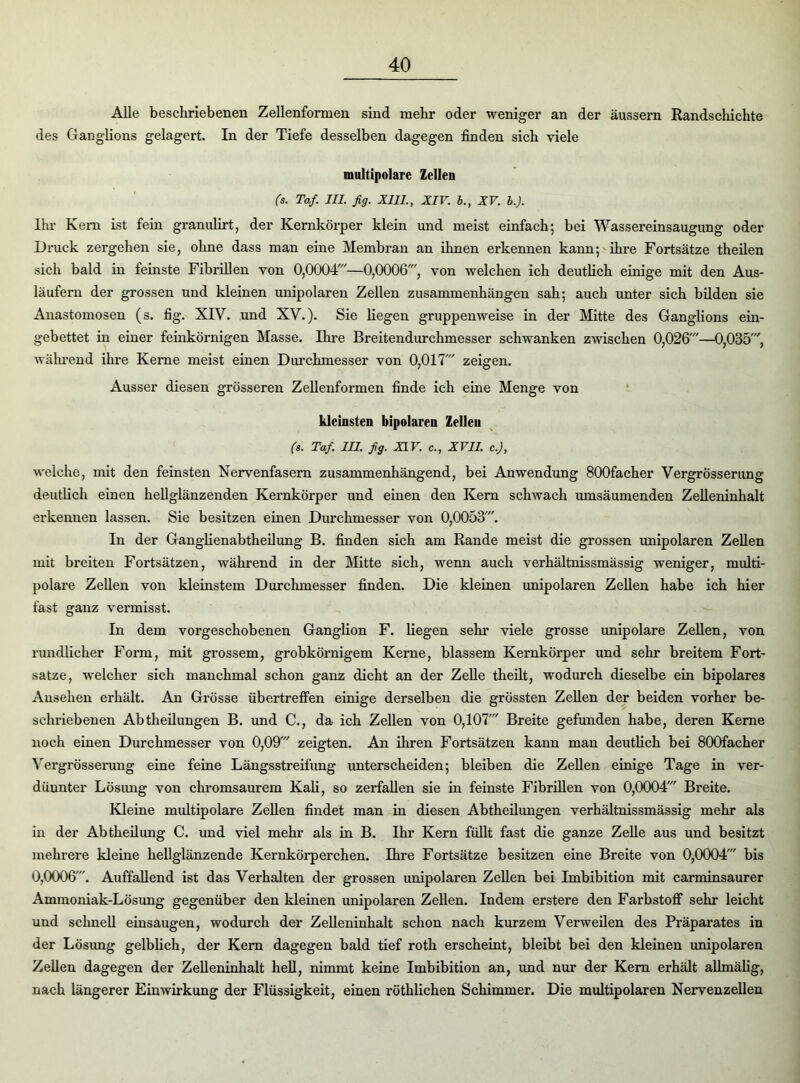 Alle beschriebenen Zellenformen sind mehr oder weniger an der äussern Randschichte des Ganglions gelagert. In der Tiefe desselben dagegen finden sich viele multipolare Zellen (s. Taf. III. fig. XIII., XIV. b., XV. b.). Ihr Kein ist fein granulirt, der Kemkörper klein und meist einfach; bei Wassereinsaugung oder Druck zergehen sie, ohne dass man eine Membran an ihnen erkennen kann; ihre Fortsätze theilen sich bald in feinste Fibrillen von 0,0004'—0,0006', von welchen ich deutlich einige mit den Aus- läufern der grossen und kleinen unipolaren Zellen Zusammenhängen sah; auch unter sich bilden sie Anastomosen (s. fig. XIV. und XV.). Sie liegen gruppenweise in der Mitte des Ganglions ein- gebettet in einer feinkörnigen Masse. Ihre Breitendurchmesser schwanken zwischen 0,026'—0,035', während ihre Kerne meist einen Durchmesser von 0,017' zeigen. Ausser diesen grösseren Zellenformen finde ich eine Menge von kleinsten bipolaren Zellen (s. Taf. III. fig. HF. c., XVII. c.J, welche, mit den feinsten Nervenfasern zusammenhängend, bei Anwendung 800facher VergrÖsserimg deutlich einen hellglänzenden Kernkörper und einen den Kern schwach umsäumenden Zelleninhalt erkennen lassen. Sie besitzen einen Durchmesser von 0,0053'. In der Ganglienabtheilung B. finden sich am Rande meist die grossen unipolaren Zellen mit breiten Fortsätzen, während in der Mitte sich, wenn auch verhältnissmässig weniger, multi- polare Zellen von kleinstem Durchmesser finden. Die kleinen unipolaren Zellen habe ich hier fast ganz vermisst. In dem vorgeschobenen Ganglion F. liegen sehr viele grosse unipolare Zellen, von rundlicher Form, mit grossem, grobkörnigem Kerne, blassem Kernkörper und sehr breitem Fort- satze, welcher sich manchmal schon ganz dicht an der Zelle theilt, wodurch dieselbe ein bipolares Ansehen erhält. An Grösse übertreffen einige derselben die grössten Zellen der beiden vorher be- schriebenen Abtheilungen B. und C., da ich Zellen von 0,107' Breite gefunden habe, deren Kerne noch einen Durchmesser von 0,09' zeigten. An ihren Fortsätzen kann man deutlich bei 800facher Vergrösserung eine feine Längsstreifung unterscheiden; bleiben die Zellen einige Tage in ver- dünnter Lösung von chromsaurem Kali, so zerfallen sie in feinste Fibrillen von 0,0004' Breite. Kleine multipolare Zellen findet man in diesen Abtheilungen verhältnissmässig mehr als in der Abtheilung C. und viel mehr als in B. Ihr Kern füllt fast die ganze Zelle aus und besitzt mehrere kleine hellglänzende Kernkörperchen. Ihre Fortsätze besitzen eine Breite von 0,0004' bis 0,0006'. Auffallend ist das Verhalten der grossen unipolaren Zellen bei Imbibition mit carminsaurer Ammoniak-Lösung gegenüber den kleinen unipolaren Zellen. Indem erstere den Farbstoff sehr leicht und schnell einsaugen, wodurch der Zelleninhalt schon nach kurzem Verweilen des Präparates in der Lösung gelblich, der Kern dagegen bald tief roth erscheint, bleibt bei den kleinen unipolaren Zellen dagegen der Zelleninhalt hell, nimmt keine Imbibition an, und nur der Kern erhält allmälig, nach längerer Einwirkung der Flüssigkeit, einen röthlichen Schimmer. Die multipolaren Nervenzellen