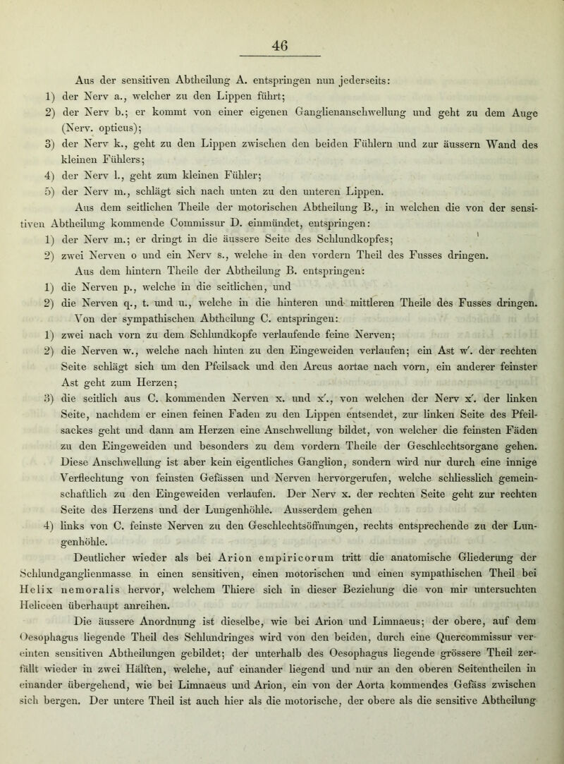 Aus der sensitiven Abtheilung A. entspringen nun jederseits: 1) der Nerv a., welcher zu den Lippen führt; 2) der Nerv b.; er kommt von einer eigenen Ganglienanschwellung und geht zu dem Auge (Nerv, opticus); 3) der Nerv k., geht zu den Lippen zwischen den beiden Fühlern und zur äussern Wand des kleinen Fühlers; 4) der Nerv 1., geht zum kleinen Fühler; ö) der Nerv in., schlägt sich nach unten zu den unteren Lippen. Aus dem seitlichen Theile der motorischen Abtheilung B., in welchen die von der sensi- tiven Abtheilung kommende Commissur D. einmündet, entspringen: 1) der Nerv in.; er dringt in die äussere Seite des Schlundkopfes; 2) zwei Nerven o und ein Nerv s., welche in den vordem Theil des Fusses dringen. Aus dem hintern Theile der Abtheilung B. entspringen: 1) die Nerven p., welche in die seitlichen, und 2) die Nerven cp, t. und u., welche in die hinteren und- mittleren Theile des Fusses dringen. Von der sympathischen Abtheilung C. entspringen: 1) zwei nach vorn zu dem Schlundkopfe verlaufende ferne Nerven; 2) die Nerven w., welche nach hinten zu den Eingeweiden verlaufen; ein Ast w'. der rechten Seite schlägt sich um den Pfeilsack und den Arcus aortae nach vorn, ein anderer feinster Ast geht zum Herzen; 3) die seitlich aus C. kommenden Nerven x. und x'., von welchen der Nerv x'. der linken Seite, nachdem er einen feinen Faden zu den Lippen entsendet, zur linken Seite des Pfeil- sackes geht und dann am Herzen eine Anschwellung bildet, von welcher die feinsten Fäden zu den Eingeweiden und besonders zu dem vordem Theile der Geschlechtsorgane gehen. Diese Anschwellung ist aber kein eigentliches Ganglion, sondern wird nur durch eine innige Verflechtung von feinsten Gefässen und Nerven hervorgerufen, welche schliesslich gemein- schaftlich zu den Eingeweiden verlaufen. Der Nerv x. der rechten Seite geht zur rechten Seite des Herzens und der Lungenhöhle. Ausserdem gehen 4) links von C. feinste Nerven zu den Gescklecktsöfihungen, rechts entsprechende zu der Lun- genhöhle. Deutlicher wieder als bei Arion empiricorum tritt die anatomische Gliederung der Schlundganglienmasse in einen sensitiven, einen motorischen und einen sympathischen Theil bei Helix nemoralis hervor, welchem Thiere sich in dieser Beziehung die von mir untersuchten Heliceen überhaupt anreihen. Die äussere Anordnung ist dieselbe, wie bei Arion und Limnaeus; der obere, auf dem Oesophagus liegende Theil des Schlundringes wird von den beiden, durch eine Quercommissur ver- einten sensitiven Abtheilungen gebildet; der unterhalb des Oesophagus liegende grössere Theil zer- fällt wieder in zwei Hälften, welche, auf einander liegend und nur an den oberen Seitentheilen in einander übergehend, wie bei Limnaeus und Arion, ein von der Aorta kommendes Gefass zwischen sich bergen. Der untere Theil ist auch hier als die motorische, der obere als die sensitive Abtheilung
