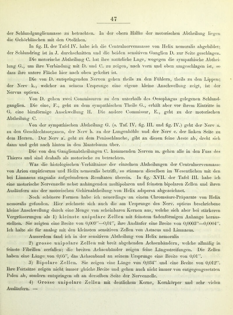 der Selilundganglienmas.se zu betrachten. In der obern Hälfte der motorischen Abtheilung liegen die Gehörbläschen mit den Otolitlien. In fig. II. der Tafel IV. habe ich die Centralnervenmasse von Helix nemoralis abgebildet; der Schlundring ist in J. durchschnitten und die beiden sensitiven Ganglien D. zur Seite geschlagen. Die motorische Abtheilung C. hat ihre natürliche Lage, wogegen die sympathische Abthei- lung G., um ihre Verbindung mit D. und G. zu zeigen, nach vorn und oben umgeschlagen ist, so dass ihre untere Fläche hier nach oben gekehrt ist. Die von D. entspringenden Nerven gehen theils zu den Fühlern, theils zu den Lippen; der Nerv k., welcher an seinem Ursprünge eine eigene kleine Anschwellung zeigt, ist der Nervus opticus. Von D. gehen zwei C'onnnissuren zu den unterhalb des Oesophagus gelegenen Schlund- ganglien. Die eine, F., geht zu dem sympathischen Theile G., erhält aber vor ihrem Eintritte in G. eine bimförmige Anschwellung H. Die andere Commissur, E., geht zu der motorischen Abtheilung C. Von der sympathischen Abtheilung G. (s. Taf. IV. fig. III. und fig. IV.) geht der Nerv a. zu den Geschlechtsorganen, der Nerv b. zu der Lungenhöhle und der Nerv c. der linken Seite zu dem Herzen. Der Nerv a\ geht zu dem Penisschlauche, gibt an diesen feine Aeste ab, dreht sich dann und geht nach hinten in den Mantelsaum über. Die von den Ganglienabtheilungen C. kommenden Nerven m. gehen alle in den Fuss des Thieres und sind deshalb als motorische zu betrachten. Was die histologischen Verhältnisse der einzelnen Abtheilungen der Centralnervenmasse von Arion empiricorum und Helix nemoralis betrifft, so stimmen dieselben im Wesentlichen mit den bei Limnaeus stagnalis aufgeiündenen Resultaten überein. In fig. XVH. der Tafel III. habe ich eine motorische Nervenzelle nebst anhängenden multipolaren und feinsten bipolaren Zellen und ihren Ausläufern aus der motorischen Gehirnabtheilung von Helix adspersa abgezeichnet. Noch schönere Formen habe ich neuerdings an einem Chromsäure-Präparate von Helix nemoralis gefunden, liier zeichnete sich auch die am Ursprünge des Nerv, opticus beschriebene kleine Anschwellung durch eine Menge von scheinbaren Kernen aus, welche sich aber bei stärkeren Vergrösserungen als 1) kleinste unipolare Zellen mit feinstem fadenförmigen Anhänge heraus- stellten. Sie zeigten eine Breite von 0,009'—0,0F, ihre Ausläufer eine Breite von 0,0003'—0,0004'. Ich halte sie für analog mit den kleinsten sensitiven Zellen von Astacus und Limnaeus. Ausserdem fand ich in der sensitiven Abtheilung von Helix nemoralis 2) grosse unipolare Zellen mit breit abgehenden Achsenbändern, welche allmälig in feinste Fibrillen zerfallen; die breiten Achsenbänder zeigen feine Längsstreifungen. Die Zellen haben eine Länge von 0,05', das Achsenband an seinem Ursprünge eine Breite von 0,01'. 3) Bipolare Zellen. Sie zeigen eine Länge von 0,034' und eine Breite von 0,012'. Ihre Fortsätze zeigen nicht immer gleiche Breite und gehen auch nicht immer von entgegengesetzten Polen ab, sondern entspringen oft an derselben Seite der Nervenzelle. 4) Grosse unipolare Zellen mit deutlichem Kerne, Kernkörper und sehr vielen Ausläufern. —