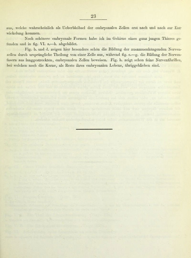 aus, welche wahrscheinlich als Ueberbleibsel der embryonalen Zellen erst nach und nach zur Ent- wickelung kommen. Koch schönere embryonale Formen habe ich im Gehirne eines ganz jungen Thieres ge- funden und in fig. VT. a.—h. abgebildet. Fig. b. und d. zeigen hier besonders schön die Bildung der zusammenhängenden Nerven- zellen durch ursprüngliche Theilung von einer Zelle aus, während fig. e.—g. die Bildung der Nerven- fasern aus langgestreckten, embryonalen Zellen beweisen. Fig. h. zeigt schon feine Nervenfibrillen, bei welchen noch die Kerne, als Reste ihres embryonalen Lebens, übriggeblieben sind.