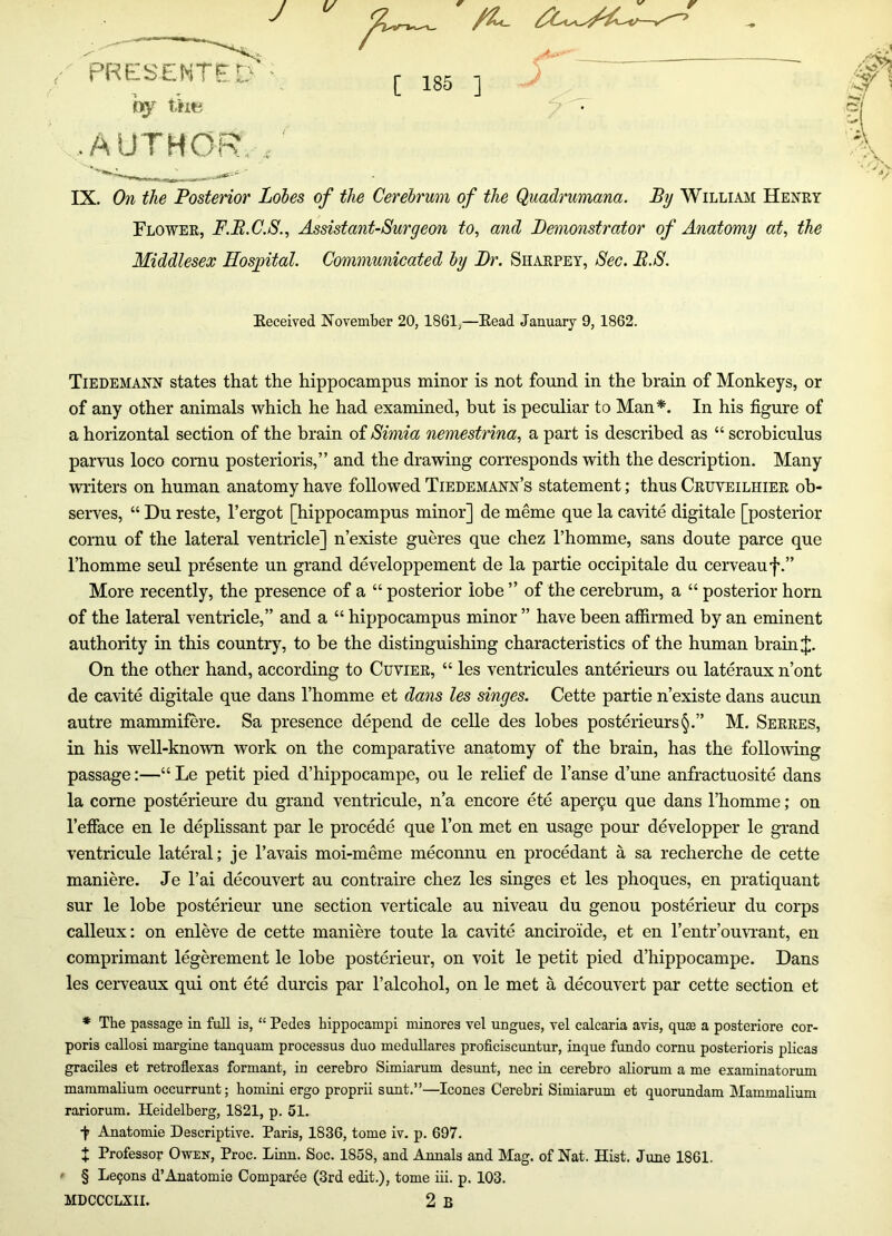 1/ J PRESENTED ny the ' ■ [ 185 ] • AUTHOR. ,' IX. On the Posterior Lobes of the Cerebrum of the (fuadrumana. By Willimi Henky Flo WEE, F.B.C.S., Assistant-Surgeon to, and Demonstrator of Anatomy at, the Middlesex Hospital. Communicated by Dr. Shaepey, Sec. B.S. Keceived November 20,1861,—Bead January 9, 1862. Tiedemann states that the hippocampus minor is not found in the brain of Monkeys, or of any other animals which he had examined, but is peculiar to Man*. In his figure of a horizontal section of the brain of Simia nemestrina, a part is described as “ scrobiculus parvus loco cornu posterioris,” and the drawing corresponds with the description. Many writers on human anatomy have followed Tiedemann’s statement; thus Ceuveilhiee ob- serves, “ Du reste, I’ergot [hippocampus minor] de meme que la cavite digitale [posterior cornu of the lateral ventricle] n’existe gueres que chez I’homme, sans doute parce que I’homme seul presente un grand developpement de la partie occipitale du cerveauf.” More recently, the presence of a “ posterior lobe ” of the cerebrum, a “ posterior horn of the lateral ventricle,” and a “ hippocampus minor ” have been afiirmed by an eminent authority in this country, to be the distinguishing characteristics of the human brain J. On the other hand, according to Cuviee, “ les ventricules anterieurs ou lateraux n’ont de cavite digitale que dans I’homme et dans les singes. Cette partie n’existe dans aucun autre mammifere. Sa presence depend de celle des lobes posterieurs§.” M. Seeees, in his well-known work on the comparative anatomy of the brain, has the following passage:—“ Le petit pied d’hippocampe, ou le relief de I’anse d’une anfractuosite dans la come posterieure du grand ventricule, n’a encore ete apergu que dans I’homme; on I’efiace en le deplissant par le precede que Ton met en usage pour developper le grand ventricule lateral; je I’avais moi-meme meconnu en procedant a sa recherche de cette maniere. Je I’ai decouvert au contraire chez les singes et les phoques, en pratiquant sur le lobe posterieur une section verticale au niveau du genou posterieur du corps calleux; on enleve de cette maniere toute la cavite anciroide, et en I’entr’cmTant, en comprimant legerement le lobe posterieur, on voit le petit pied d’hippocampe. Dans les cerveaux qui ont ete durcis par I’alcohol, on le met a decouvert par cette section et * The passage in full is, “ Pedes hippocampi minores vel ungues, vel calcaria avis, quae a posteriore cor- poris callosi margine tanquam processus duo meduUares proficiscnntur, inque fundo cornu posterioris pKcas graciles et retroflexas formant, ia cerebro Simiarum desunt, nec in cerebro aliorum a me examinatorum mammalium occurrunt; homini ergo proprii sunt.”—leones Cerebri Simiarum et quorundam Mammalium rariorum. Heidelberg, 1821, p. 51. ■)' Anatomie Descriptive. Paris, 1836, tome iv. p. 697. X Professor Owen, Proc. Linn. Soc. 1858, and Annals and Mag. of Nat. Hist. June 1861. ' § Le9ons d’Anatomie Comparee (3rd edit.), tome iii. p. 103. MDCCCLXII. 2 B