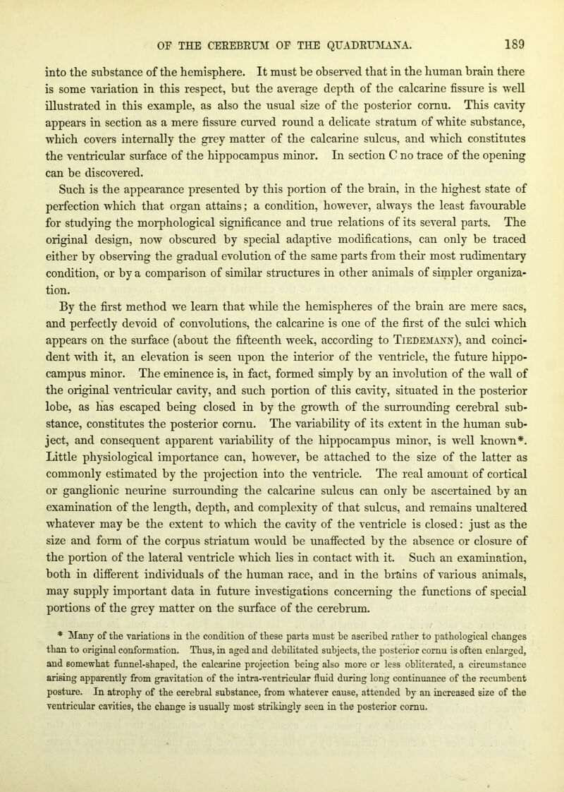 into the substance of the hemisphere. It must be observed that in the human brain there is some variation in this respect, but the average depth of the calcarine fissure is well illustrated in this example, as also the usual size of the posterior cornu. This ca\ity appears in section as a mere fissure curved round a delicate stratum of white substance, which covers internally the grey matter of the calcarine sulcus, and which constitutes the ventricular surface of the hippocampus minor. In section C no trace of the opening can be discovered. Such is the appearance presented by this portion of the brain, in the highest state of perfection which that organ attains; a condition, however, always the least favourable for studying the morphological significance and true relations of its several parts. The original design, now obscured by special adaptive modifications, can only be traced either by observing the gradual evolution of the same parts from their most rudimentary condition, or by a comparison of similar structures in other animals of simpler organiza- tion. By the first method we learn that while the hemispheres of the brain are mere sacs, and perfectly devoid of convolutions, the calcarine is one of the first of the sulci which appears on the surface (about the fifteenth week, according to Tiedemaxx), and coinci- dent with it, an elevation is seen upon the interior of the ventricle, the future hippo- campus minor. The eminence is, in fact, formed simply by an involution of the wall of the original ventricular cavity, and such portion of this cavity, situated in the posterior lobe, as has escaped being closed in by the growth of the surrounding cerebral sub- stance, constitutes the posterior cornu. The variability of its extent in the human sub- ject, and consequent apparent variability of the hippocampus minor, is well known*. Little physiological importance can, however, be attached to the size of the latter as commonly estimated by the projection into the ventricle. The real amount of cortical or ganglionic neurine surrounding the calcarine sulcus can only be ascertained by an examination of the length, depth, and complexity of that sulcus, and remains unaltered whatever may be the extent to which the cavity of the ventricle is closed: just as the size and form of the corpus striatum would be unaffected by the absence or closure of the portion of the lateral ventricle which lies in contact with it. Such an examination, both in different individuals of the human race, and in the brains of various animals, may supply important data in future investigations concerning the functions of special portions of the grey matter on the surface of the cerebrum. * Many of the variations in the condition of these parts must be ascribed rather to pathological changes than to original conformation. Thus, in aged and debilitated subjects, the posterior cornu is often enlarged, and somewhat funnel-shaped, the calcarine projection being also more or less obliterated, a circumstance arising apparently from gravitation of the intra-ventricular fluid during long continuance of the recumbent posture. In atrophy of the cerebral substance, from whatever cause, attended by an increased size of the ventricular cavities, the change is usually most strikingly seen in the posterior cornu.
