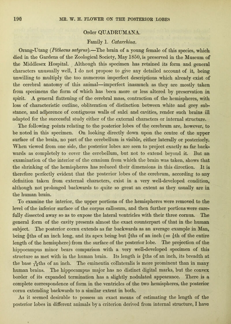 Order QUADRUMANA. Family 1. CatarrMna. Orang-Utang {Pithecus satyrus).—^The brain of a young female of this species, which died in the Gardens of the Zoological Society, May 1850, is preserved in the Museum of the ISIiddlesex Hospital. Although this specimen has retained its form and general characters unusually well, I do not propose to give any detailed account of it, being unwilling to multiply the too numerous imperfect descriptions which already exist of the cerebral anatomy of this animal—imperfect inasmuch as they are mostly taken fi-om specimens the form of which has been more or less altered by presenution in spirit. A general flattening of the cerebral mass, contraction of the hemispheres, with loss of characteristic outline, obliteration of distinction between white and grey sub- stance, and adherence of contiguous walls of sulci and carfties, render such brains ill adapted for the successful study either of the external characters or internal structure. The following points relating to the posterior lobes of the cerebrum are, however, to be noted m this specimen. On looking directly down upon the centre of the upper surface of the brain, no part of the cerebellum is rfsible, either laterally or posteriorly. AVhen rfewed from one side, the posterior lobes are seen to project exactly as far back- wards as completely to cover the cerebellum, but not to extend beyond it. But an examination of the interior of the cranium from which the brain was taken, shows that the shrinking of the hemispheres has reduced their dimensions in this dii’ection. It is therefore perfectly erfdent that the posterior lobes of the cerebrum, according to any deflnition taken from external characters, exist in a very well-developed condition, although not prolonged backwards to quite so great an extent as they usually are in the human brain. To examine the interior, the upper portions of the hemispheres were removed to the level of the inferior sm’face of the corpus callosum, and then further portions were care- fully dissected away so as to expose the lateral ventricles with their three cornua. The general form of the cavity presents almost the exact counterpart of that in the human subject. The posterior cornu extends as far backwards as an average example in Man, being f ths of an inch long, and its apex being but f ths of an inch (= |^th of the entire length of the hemisphere) from the surface of the posterior lobe. The projection of the hippocampus minor bears comparison mth a very well-developed specimen of this structm'e as met with in the human brain. Its length is -fths of an inch, its breadth at the base i^ths of an inch. The eminentia collateralis is more prominent than in many human brains. The hippocampus major has no distinct digital marks, but the convex border of its expanded termination has a slightly nodulated appearance. There is a complete correspondence of form in the ventricles of the two hemispheres, the posterior comu extending backwards to a similar extent in both. As it seemed desirable to possess an exact means of estimating the length of the