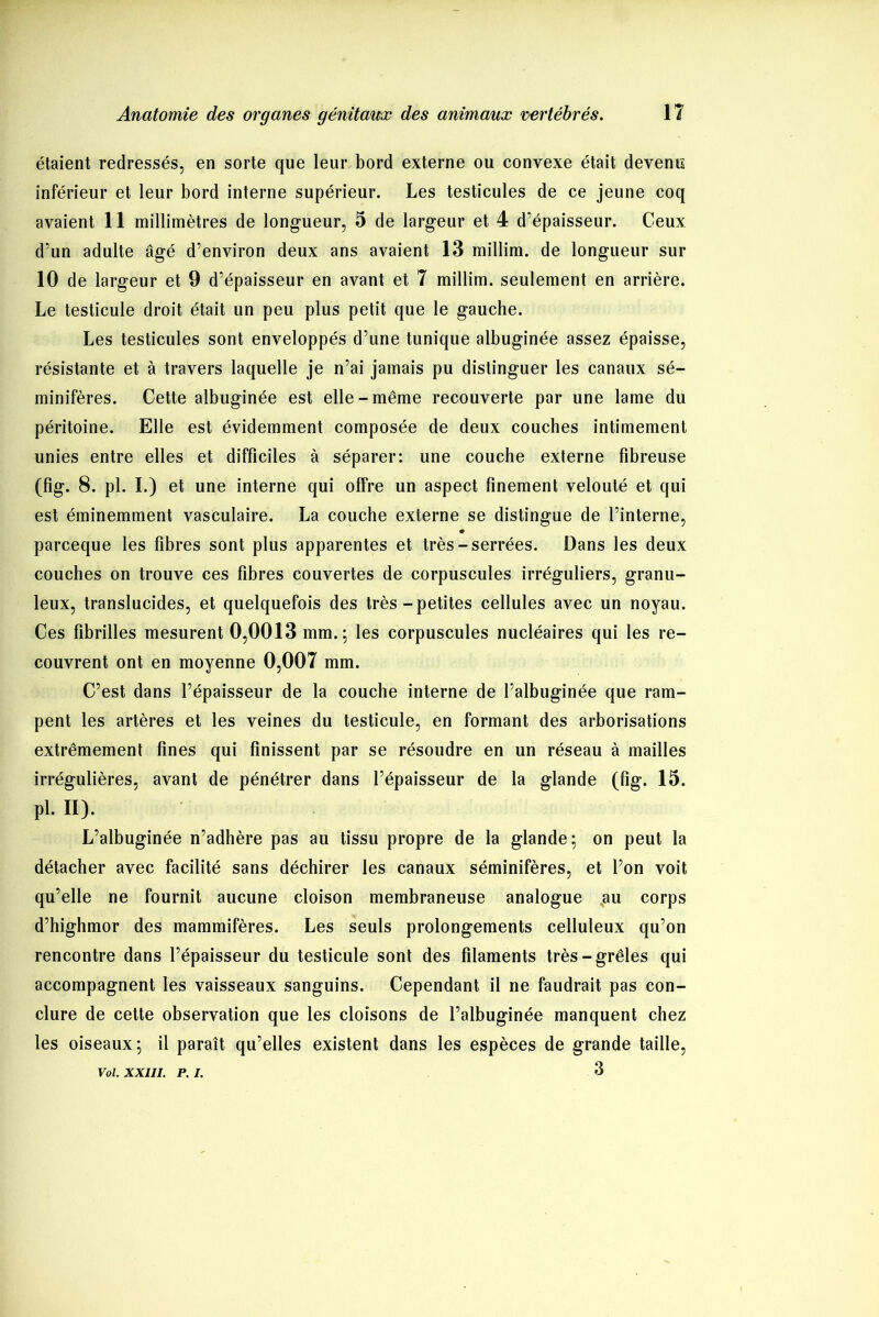 étaient redressés, en sorte que leur bord externe ou convexe était devenu inférieur et leur bord interne supérieur. Les testicules de ce jeune coq avaient 11 millimètres de longueur, 5 de largeur et 4 d’épaisseur. Ceux d’un adulte âgé d’environ deux ans avaient 13 millim. de longueur sur 10 de largeur et 9 d’épaisseur en avant et 7 millim. seulement en arrière. Le testicule droit était un peu plus petit que le gauche. Les testicules sont enveloppés d’une tunique albuginée assez épaisse, résistante et à travers laquelle je n’ai jamais pu distinguer les canaux sé- minifères. Cette albuginée est elle-même recouverte par une lame du péritoine. Elle est évidemment composée de deux couches intimement unies entre elles et difficiles à séparer: une couche externe fibreuse (fig. 8. pl. I.) et une interne qui offre un aspect finement velouté et qui est éminemment vasculaire. La couche externe se distingue de l’interne, * parceque les fibres sont plus apparentes et très-serrées. Dans les deux couches on trouve ces fibres couvertes de corpuscules irréguliers, granu- leux, translucides, et quelquefois des très-petites cellules avec un noyau. Ces fibrilles mesurent 0,0013 mm.; les corpuscules nucléaires qui les re- couvrent ont en moyenne 0,007 mm. C’est dans l’épaisseur de la couche interne de Palbuginée que ram- pent les artères et les veines du testicule, en formant des arborisations extrêmement fines qui finissent par se résoudre en un réseau à mailles irrégulières, avant de pénétrer dans l’épaisseur de la glande (fig. 15. pl. II). L’albuginée n’adhère pas au tissu propre de la glande; on peut la détacher avec facilité sans déchirer les canaux séminifères, et l’on voit qu’elle ne fournit aucune cloison membraneuse analogue au corps d’highmor des mammifères. Les seuls prolongements celluleux qu’on rencontre dans l’épaisseur du testicule sont des filaments très-grêles qui accompagnent les vaisseaux sanguins. Cependant il ne faudrait pas con- clure de cette observation que les cloisons de l’albuginée manquent chez les oiseaux; il paraît qu’elles existent dans les espèces de grande taille, 3 Vol. XXIII. P. I.