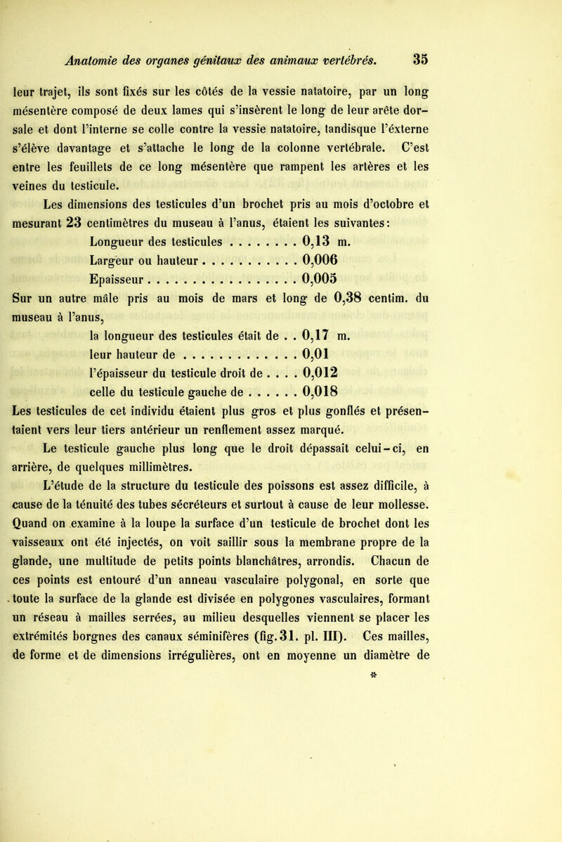 leur trajet, ils sont fixés sur les côtés de la vessie natatoire, par un long mésentère composé de deux lames qui s’insèrent le long de leur arête dor- sale et dont l’interne se colle contre la vessie natatoire, tandisque l’éxterne s’élève davantage et s’attache le long de la colonne vertébrale. C’est entre les feuillets de ce long mésentère que rampent les artères et les veines du testicule. Les dimensions des testicules d’un brochet pris au mois d’octobre et mesurant 23 centimètres du museau à l’anus, étaient les suivantes: Longueur des testicules 0,13 m. Largeur ou hauteur 0,006 Epaisseur 0,005 Sur un autre mâle pris au mois de mars et long de 0,38 centim. du museau à l’anus, la longueur des testicules était de .. 0,17 m. leur hauteur de 0,01 l’épaisseur du testicule droit de ... . 0,012 celle du testicule gauche de 0,018 Les testicules de cet individu étaient plus gros et plus gonflés et présen- taient vers leur tiers antérieur un renflement assez marqué. Le testicule gauche plus long que le droit dépassait celui-ci, en arrière, de quelques millimètres. L’étude de la structure du testicule des poissons est assez difficile, à cause de la ténuité des tubes sécréteurs et surtout à cause de leur mollesse. Quand on examine à la loupe la surface d’un testicule de brochet dont les vaisseaux ont été injectés, on voit saillir sous la membrane propre de la glande, une multitude de petits points blanchâtres, arrondis. Chacun de ces points est entouré d’un anneau vasculaire polygonal, en sorte que Joute la surface de la glande est divisée en polygones vasculaires, formant un réseau à mailles serrées, au milieu desquelles viennent se placer les extrémités borgnes des canaux séminifères (fig. 31. pl. III). Ces mailles, de forme et de dimensions irrégulières, ont en moyenne un diamètre de