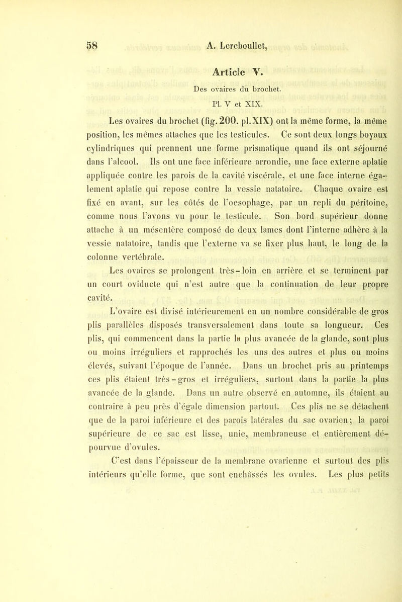 Article Y. Des ovaires du brochet. PL Y et XIX. Les ovaires du brochet (fig. 200. pl.XIX) ont la même forme, la même position, les mêmes attaches que les testicules. Ce sont deux longs boyaux cylindriques qui prennent une forme prismatique quand ils ont séjourné dans l’alcool. Ils ont une face inférieure arrondie, une face externe aplatie appliquée contre les parois de la cavité viscérale, et une face interne éga- lement aplatie qui repose contre la vessie natatoire. Chaque ovaire est fixé en avant, sur les côtés de l’oesophage, par un repli du péritoine, comme nous l’avons vu pour le testicule. Son bord supérieur donne attache à un mésentère composé de deux lames dont l’interne adhère à la vessie natatoire, tandis que l’externe va se fixer plus haut, le long de la colonne vertébrale. Les ovaires se prolongent très-loin en arrière et se terminent par un court oviducte qui n’est autre que la continuation de leur propre cavité. L’ovaire est divisé intérieurement en un nombre considérable de gros plis parallèles disposés transversalement dans toute sa longueur. Ces plis, qui commencent dans la partie la plus avancée de la glande, sont plus ou moins irréguliers et rapprochés les uns des autres et plus ou moins élevés, suivant l’époque de l’année. Dans un brochet pris au printemps ces plis étaient très-gros et irréguliers, surtout dans la partie la plus avancée de la glande. Dans un autre observé en automne, ils étaient au contraire à peu près d’égale dimension partout. Ces plis ne se détachent que de la paroi inférieure et des parois latérales du sac ovarien; la paroi supérieure de ce sac est lisse, unie, membraneuse et entièrement dé- pourvue d’ovules. C’est dans l’épaisseur de la membrane ovarienne et surtout des plis intérieurs qu’elle forme, que sont enchâssés les ovules. Les plus petits