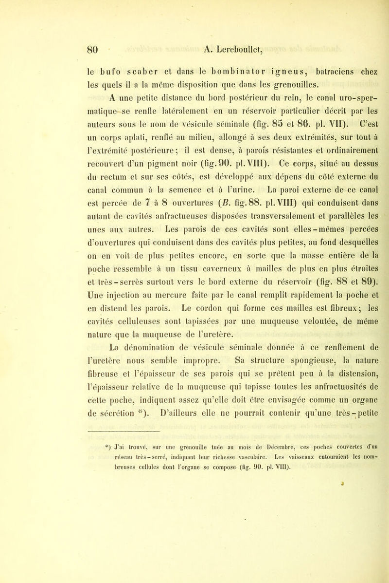 le bufo scaber et dans le bombinator igneus, batraciens chez les quels il a la même disposition que dans les grenouilles. A une petite distance du bord postérieur du rein, le canal uro-sper- matique se renfle latéralement en un réservoir particulier décrit par les auteurs sous le nom de vésicule séminale (fig. 85 et 80. pl. Vil). C’est un corps aplati, renflé au milieu, allongé à ses deux extrémités, sur tout à l’extrémité postérieure ; il est dense, à parois résistantes et ordinairement recouvert d’un pigment noir (fig. 90. pl. VIII). Ce corps, situé au dessus du rectum et sur ses côtés, est développé aux dépens du côté externe du canal commun à la semence et à l’urine. La paroi externe de ce canal est percée de 7 à 8 ouvertures (B. fig. 88. pl.VIIÏ) qui conduisent dans autant de cavités anfractueuses disposées transversalement et parallèles les unes aux autres. Les parois de ces cavités sont elles-mêmes percées d’ouvertures qui conduisent dans des cavités plus petites, au fond desquelles on en voit de plus petites encore, en sorte que la masse entière de la poche ressemble à un tissu caverneux à mailles de plus en plus étroites et très-serrés surtout vers le bord externe du réservoir (fig. 88 et 89). Une injection au mercure faite par le canal remplit rapidement la poche et en distend les parois. Le cordon qui forme ces mailles est fibreux; les cavités celluleuses sont tapissées par une muqueuse veloutée, de même nature que la muqueuse de l’uretère. La dénomination de vésicule séminale donnée à ce renflement de l’uretère nous semble impropre. Sa structure spongieuse, la nature fibreuse et l’épaisseur de ses parois qui se prêtent peu à la distension, l’épaisseur relative de la muqueuse qui tapisse toutes les anfractuosités de cette poche, indiquent assez qu’elle doit être envisagée comme un organe de sécrétion *)• D’ailleurs elle ne pourrait contenir qu’une très-petite *) J’ai trouvé, sur une grenouille tuée au mois de Décembre, ces poches couvertes d’un réseau très-serré, indiquant leur richesse vasculaire. Les vaisseaux entouraient les nom- breuses cellules dont l'organe se compose (fig. 90. pl. VIII). i