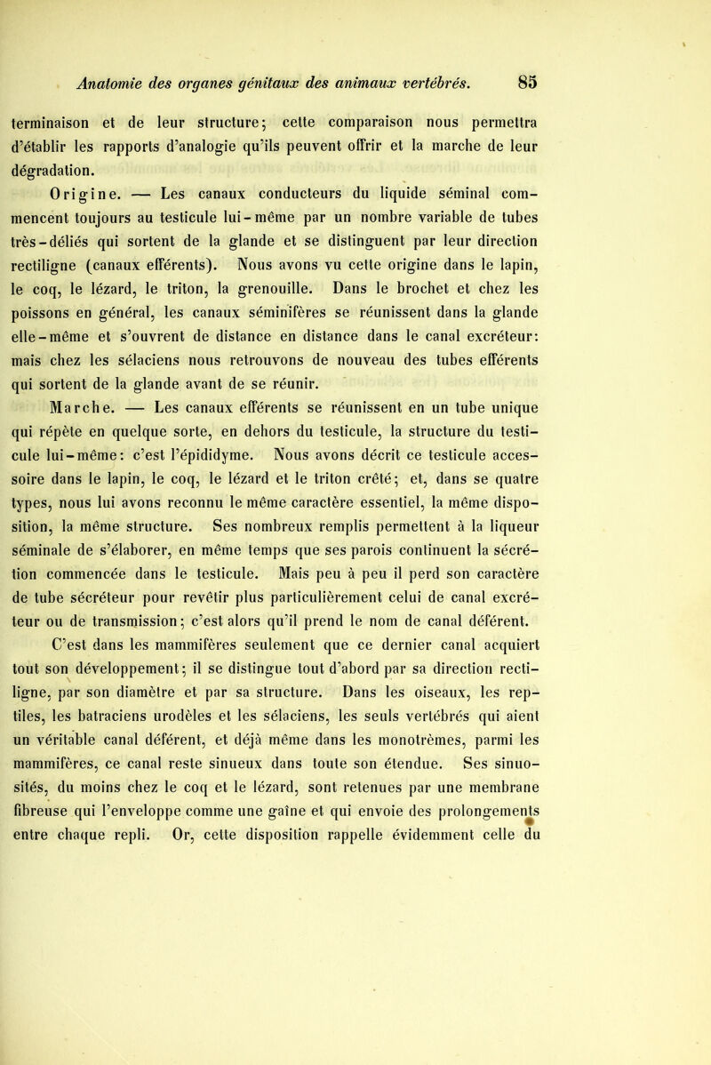 terminaison et de leur structure; cette comparaison nous permettra d’établir les rapports d’analogie qu’ils peuvent offrir et la marche de leur dégradation. Origine. — Les canaux conducteurs du liquide séminal com- mencent toujours au testicule lui-même par un nombre variable de tubes très-déliés qui sortent de la glande et se distinguent par leur direction rectiligne (canaux efférents). Nous avons vu cette origine dans le lapin, le coq, le lézard, le triton, la grenouille. Dans le brochet et chez les poissons en général, les canaux séminifères se réunissent dans la glande elle-même et s’ouvrent de distance en distance dans le canal excréteur: mais chez les sélaciens nous retrouvons de nouveau des tubes efférents qui sortent de la glande avant de se réunir. Marche. — Les canaux efférents se réunissent en un tube unique qui répète en quelque sorte, en dehors du testicule, la structure du testi- cule lui-même: c’est l’épididyme. Nous avons décrit ce testicule acces- soire dans le lapin, le coq, le lézard et le triton crêté; et, dans se quatre types, nous lui avons reconnu le même caractère essentiel, la même dispo- sition, la même structure. Ses nombreux remplis permettent à la liqueur séminale de s’élaborer, en même temps que ses parois continuent la sécré- tion commencée dans le testicule. Mais peu à peu il perd son caractère de tube sécréteur pour revêtir plus particulièrement celui de canal excré- teur ou de transmission; c’est alors qu’il prend le nom de canal déférent. C’est dans les mammifères seulement que ce dernier canal acquiert tout son développement; il se distingue tout d’abord par sa direction recti- ligne, par son diamètre et par sa structure. Dans les oiseaux, les rep- tiles, les batraciens urodèles et les sélaciens, les seuls vertébrés qui aient un véritable canal déférent, et déjà même dans les monotrèmes, parmi les mammifères, ce canal reste sinueux dans toute son étendue. Ses sinuo- sités, du moins chez le coq et le lézard, sont retenues par une membrane fibreuse qui l’enveloppe comme une gaîne et qui envoie des prolongements entre chaque repli. Or, cette disposition rappelle évidemment celle du