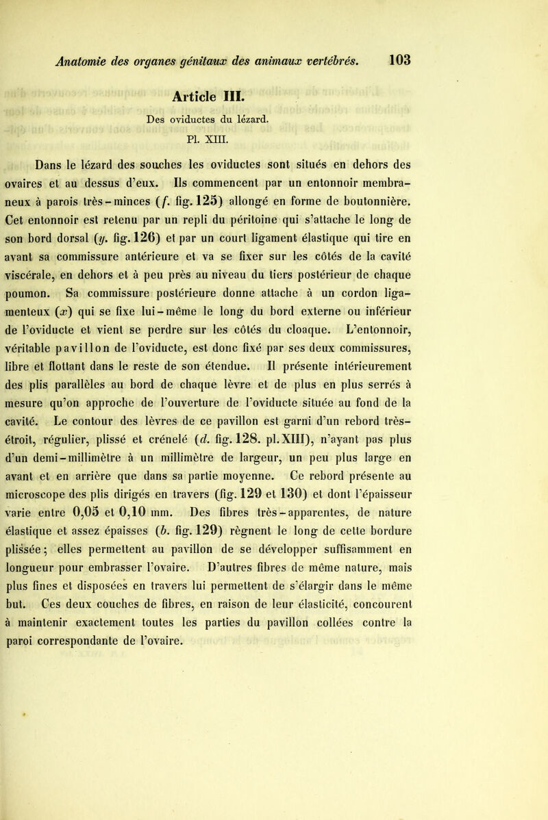Article III. Des oviductes du lézard. PI. XIII. Dans le lézard des souches les oviductes sont situés en dehors des ovaires et au dessus d’eux. Ils commencent par un entonnoir membra- neux à parois très-minces (f. fig. 125) allongé en forme de boutonnière. Cet entonnoir est retenu par un repli du péritoine qui s’attache le long de son bord dorsal (y. fig. 126) et par un court ligament élastique qui tire en avant sa commissure antérieure et va se fixer sur les côtés de la cavité viscérale, en dehors et à peu près au niveau du tiers postérieur de chaque poumon. Sa commissure postérieure donne attache à un cordon liga- menteux (a?) qui se fixe lui-même le long du bord externe ou inférieur de l’oviducte et vient se perdre sur les côtés du cloaque. L’entonnoir, véritable pavillon de l’oviducte, est donc fixé par ses deux commissures, libre et flottant dans le reste de son étendue. Il présente intérieurement des plis parallèles au bord de chaque lèvre et de plus en plus serrés à mesure qu’on approche de l’ouverture de l’oviducte située au fond de la cavité. Le contour des lèvres de ce pavillon est garni d’un rebord très- étroit, régulier, plissé et crénelé (d. fig. 128. pl. XIII), n’ayant pas plus d’un demi-millimètre à un millimètre de largeur, un peu plus large en avant et en arrière que dans sa partie moyenne. Ce rebord présente au microscope des plis dirigés en travers (fig. 129 et 130) et dont l’épaisseur varie entre 0,05 et 0,10 mm. Des fibres très— apparentes, de nature élastique et assez épaisses (b. fig. 129) régnent le long de cette bordure plissée ; elles permettent au pavillon de se développer suffisamment en longueur pour embrasser l’ovaire. D’autres fibres de même nature, mais plus fines et disposées en travers lui permettent de s’élargir dans le même but. Ces deux couches de fibres, en raison de leur élasticité, concourent à maintenir exactement toutes les parties du pavillon collées contre la paroi correspondante de l’ovaire.